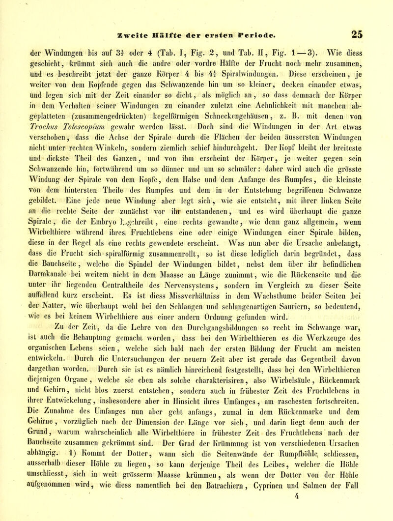 der Windungen his auf 34- oder 4 (Tab. I, Fig. 2, und Tab. II, Fig. 1—3). Wie diess geschieht, krümmt sich auch die andre oder vordre Hälfte der Frucht noch mehr zusammen, und es beschreibt jetzt der ganze Körper 4 bis 4t Spirahvindungen. Diese erscheinen, je weiter von dem Kopfende gegen das Schwanzende hin um so kleiner, decken einander etwas, und legen sicli mit der Zeit einander so dicht, als möglich an, so dass demnach der Körper in dem Verhalten seiner Windungen zu einander zuletzt eine Aehnlichkeit mit manchen ab- geplatteten (zusammengedrückten) kegelförmigen Schneckengehäusen, z. B. mit denen von Trochus Telescopiuni gewahr werden lässt. Doch sind die Windungen in der Art etwas verschoben, dass die Achse der Spirale durch die Flächen der beiden äusscrsten Windungen nicht unter rechten Winkeln, sondern ziemlich schief hindurchgeht. Der Kopf bleibt der breiteste und dickste Theil des Ganzen, und von ihm erscheint der Körper, je weiter gegen sein Schwanzende bin, fortwährend um so dünner und um so schmäler: daher wird auch die grösste Windung der Spirale von dem Kopfe, dem Halse und dem Anfange des Rumpfes, die kleinste von dem hintersten Thcile des Rumpfes und dem in der Entstehung begriffenen Schwänze gebildet. Eine jede neue Windung aber legt sich, wie sie entsteht, mit ihrer linken Seite an die rechte Seite der zunächst vor ihr entstandenen, und es wird überhaupt die ganze Spirale, die der Embryo r.^^chreibt, eine rechts gewandte, wie denn ganz allgemein, wenn Wirbellhiere während ihres Fruchtlebens eine oder einige Windungen einer Spirale bilden, diese in der Regel als eine rechts gewendete erscheint. Was nun aber die Ursache anbelangt, dass die Frucht sichi spiralförmig zusammenrollt, so ist diese lediglich darin begründet, dass die Bauchseite, welche die Spindel der Windungen bildet, nebst dem über ihr befindlichen Darmkanale bei weitem nicht in dem Maasse an Länge zunimmt, wie die Rückenseite und die unter ihr liegenden Centrallheile des Nervensystems, sondern im Vergleich zu dieser Seite auffallend kurz erscheint. Es ist diess Missverbältniss in dem Wachsthume beider Seiten bei der Natter, wie überhaupt wohl bei den Schlangen und schlangenartigen Sauriern, so bedeutend, wie es bei keinem Wirbellhiere aus einer andern Ordnung gefunden wird. Zu der Zeit, da die Lehre von den Durchgangsbildungen so recht im Schwange war, ist auch die Behauptung gemacht worden, dass bei den Wirbelthieren es die Werkzeuge des organischen Lebens seien, welche sich bald nach der ersten Bildung der Frucht am meisten entwickeln. Durch die Untersuchungen der neuern Zeit aber ist gerade das Gegentheil davon dargethan worden. Durch sie ist es nämlich hinreichend festgestellt, dass bei den Wirbeltbieren diejenigen Org ane , welche sie eben als solche charakterisiren, also Wirbelsäule, Rückenmark und Gehirn, nicht blos zuerst entstehen, sondern auch in frühester Zeit des Fruchtlebens in ihrer Entwickelung, insbesondere aber in Hinsicht ihres Umfanges, am raschesten fortschreiten. Die Zunahme des Umfanges nun aber geht anftings, zumal in dem Rückenmarke und dem Gehirne , vorzüglich nach der Dimension der Länge vor sich , und darin liegt denn auch der Grund, warum wahrscheinlich alle Wirbeltbiere in frühester Zeit des Fruchtlebcns nach der Bauchseite zusammen gekrümmt sind. Der Grad der Krümmung ist von verschiedenen Ursachen abhängig. 1) Kommt der Dotter, wann sich die Seitenwände der Rumpfliöble schliessen, ausserhalb dieser Höhle zu liegen, so kann derjenige Theil des Leibes, welcher die Höhle umschliesst, sich in weit grösserm Maasse krümmen, als wenn der Dotter von der Höhle aufgenommen wird, wie diess namentlich bei den Batracliiern, Cyprinen und Salmen der Fall 4