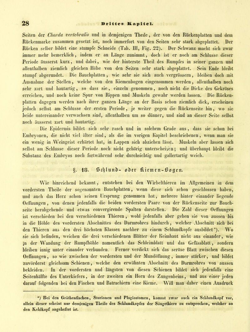 Seiten der Chorda vertehralis und in demjenigen Theile, der von den Rückenplatten und dem Rückenmarke zusammen gesetzt ist, noch immerfort von den Seiten sehr stark abgeplattet. Der Rücken seiher bildet eine stumpfe Schneide (Tab. III, Fig. 22). Der Schwanz macht sich zwar immer mehr bemerklich, indem er an Länge zunimmt, doch ist er noch am Schlüsse dieser Periode äusserst kurz, und dabei, wie der hinterste Theil des Rumpfes in seiner ganzen und allenthalben ziemlich gleichen Höhe von den Seiten sehr stark abgeplattet. Sein Ende bleibt stumpf abgerundet. Die Bauchplatten , wie sehr sie sich auch vergrössern, bleiben doch mit Ausnahme der Stellen, welche von den Kieraenbogen eingenommen werden, allenthalben noch sehr zart und hautartig, so dass sie, einzeln genommen, noch nicht die Dicke des Gekröses erreichen, und noch keine Spur von Rippen und Muskeln gewahr werden lassen. Die Rücken- platten dagegen werden nach ihrer ganzen Länge an der Basis schon ziemlich dick, erscheinen jedoch selbst am Schlüsse der ersten Periode, je weiter gegen die Rückenseite hin, wo sie beide untereinander verwachsen sind, allenthalben um so dünner, und sind an dieser Seite selbst noch äusserst zart und hautartig. Die Epidermis bildet sich sehr rasch und in solchem Grade aus , dass sie schon bei Embryonen, die nicht viel älter sind, als die im vorigen Kapitel beschriebenen, wenn man sie ein wenig in Weingeist erhärtet hat, in Lappen sich abziehen lässt. Muskeln aber lassen sich selbst am Schlüsse dieser Periode noch nicht gehörig unterscheiien; und überhaupt bleibt die Substanz des Embryos noch fortwährend sehr durchsichtig und gallertartig weich. §. 18. 6cljlunlr- oJier Ätnncn-i3o3cn. Wie hinreichend bekannt, entstehen bei den Wirbeltbieren im Allgemeinen in dem vordersten Theile der sogenannten Bauchplatten, wenn diese sich schon geschlossen haben, und auch das Herz schon seinen Ursprung genommen hat, mehrere hinter einander liegende Oelfnungen, von denen jedenfalls die beiden vordersten Paare von der Rückenseite zur Bauch- seite herabgehende und etwas convergirende Spalten darstellen. Die Zahl dieser Oeffnungen ist verschieden bei den verschiedenen Thieren, wohl jedenfalls aber gehen sie von aussen bis in die Höhle des vordersten Abschnittes des Darmrohres hindurch, welcher Abschnitt sich bei den Thieren aus den drei höchsten Klassen nachher zu einem Schlundkopfe ausbildet*). Wo sie sich befinden, weichen die drei verschiedenen Blätter der Keimhaut nicht aus einander, wie in der Wandung der Rumpfhöhle namentlich das Schleimblatt und das Gefässblatt, sondern bleiben innig unter einander verbunden. Ferner verdickt sich das seröse Blatt zwischen diesen Oeffnungen, so wie zwischen der vordersten und der Mundöffnung, immer stärker, und bildet zuvörderst gleichsam Schienen, welche den erwähnten Abschnitt des Darmrohres von aussen bekleiden. In der vordersten und längsten von diesen Schienen bildet sich jedenfalls eine Seitenhälfte des Unterkiefers, in der zweiten ein Horn des Zungenbeins, und aus einer jeden darauf folgenden bei den Fischen und Batrachiern eine Kieme. Will man daher einen Ausdruck *) Bei den Grattenfiscten, Sturionen und Plag'iostomen, kommt zwar auch ein ScLIundkopf vor, allein dieser scheint nur demjenigen Theile des Schlundkopfes der Säugethiere zu entsprechen, welcher an den Kehlkopf angeheftet ist.