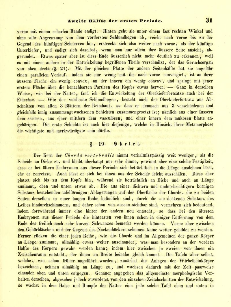 vorne mit einem scharfen Rande endigt. Hinten geht sie unter einem fast rechten Winkel und ohne alle Abgrenzung von dem vordersten Schlundbogen ab, reicht nach vorne bis zu der Gegend des künftigen Sehnerven hin, erstreckt sich also weiter nach vorne, als der künftige Unterkiefer, und endigt sich daselbst, wenn man nur allein ihre äussere Seite ansieht, ab- gerundet. Etwas später aber ist diess Ende äusserlich nicht mehr deutlich zu erkennen, weil es mit einem andern in der Entvvickelung begriffenen Theile verschmilzt, der das Geruchsorgaii von oben deckt (§. 21). Mit der gleichen Platte der andern Seitenhälfte hat sie ungefähr einen parallelen Verlauf, indem sie nur wenig mit ihr nach vorne convergirt, ist an ihrer äussern Fläche ein wenig convex, an der innern ein wenig concav, und springt mit jener erstem Fläche über die benachbarten Partieen des Kopfes etwas hervor. — Ganz in derselben Weise, wie bei der Natter, fand ich die Entwickelung der Oberkieferfortsälze auch bei der Eidechse. ■— Wie der vorderste Schlundbogen, besteht auch der Oberkieferfortsatz aus Ab- schnitten von allen 3 Blättern der Keimhaut, so dass er demnach aus 3 verschiedenen und ^ gleichfalls innig zusammengewachsenen Schichten zusammengesetzt ist; nämlich aus einer äussern dem serösen, aus ejner mittlem dem vasculösen, und einer innern dem mukösen Blatte an- gehörigen. Die erste Schichte ist auch hier diejenige, welche in Hinsicht ihrer Metamorphose die wichtigste und me^kv^ürdigste sein dürfte. §.19. ^ k ti t t Der Kern der Chorda vertebralis nimmt verhältnissmässig weit weniger, als die Scheide an Dicke zu, und bleibt überhaupt nur sehr dünne, gewinnt aber eine solche Festigkeit, dass er bei ältern Embryonen aus dieser Periode sich beträchtlich in die Länge ausdehnen lässt, ehe er zerreisst. Auch lässt er sich bei ihnen aus der Scheide leicht ausschälen. Diese aber plattet sich bis zu dem Kopfe hin, während sie beträchtlich an Dicke und auch an Länge zunimmt, oben und unten etwas ab. Die aus einer dichtem und undurchsichtigem körnigen Substanz bestehenden tafelförmigen Ablagerungen auf der Oberfläche der Chorde, die zu beiden Seiten derselben in einer langen Reihe befindlich sind, durch die sie deckende Substanz des Leibes hindurchschimmern, und daher schon von aussen sichtbar sind, vermehren sich bedeutend, indem fortwährend immer eine hinter der andern neu entsteht, so dass bei den ältesten Embryonen aus dieser Periode die hintersten von ihnen schon in einiger Entfernung von dem Ende des freilich noch sehr kurzen Schwanzes bemerkt werden können. Vorne aber zwischen den Gehörbläschen und der Gegend des Nackenhöckers scheinen keine weiter gebildet zu werden. Ferner rücken die einer jeden Reihe, wie die Chorde und im Allgemeinen der ganze Körper an Länge zunimmt, allmählig etwas weiter auseinander, was man besonders an der vordem Hälfte des Körpers gewahr werden kann; indem hier zwischen je zweien von ihnen ein Zwischenraum entsteht, der ihnen an Breite beinahe gleich kommt. Die Tafeln aber selbst, welche, wie schon früher angeführt worden, zunächst die Anlagen der Wirbelbeinkörper bezeichnen, nehmen allmählig an. Länge zu, und wachsen dadurch mit der Zeit paarweise einander oben und unten entgegen. Genauer angegeben das allgemeinste morphologische Ver- halten derselben, abgesehen jedoch zuvörderst von den einzelnen Zeitabschnitten der Entwickelung, so wächst in dem Halse und Rumpfe der Natter eine jede solche Tafel oben und unten in