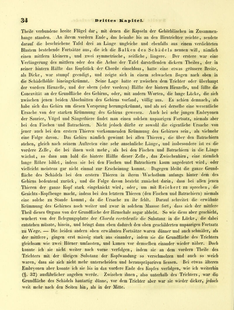 Theile verbundene breite Flügel dar, mit denen die Kapseln der Gehörbläschen im Zusammen- hange standen. An ihrem vordem Ende, das beinahe bis an den Hirntrichter reichte, sendete darauf die beschriebene Tafel drei an Länge ungleiche und ebenfalls aus einem verdichteten Blastem bestehende Fortsätze aus, die ich die Balken des Schädels nennen will, nämlich einen mittlem kleinern, und zwei symmetrische, seilliche, längere. Der erstere war eine Verlängerung des mittlem oder des die Achse der Tafel darstellenden dickern Theiles, der in seiner hintern Hälfte das Kopfstück der Chorde einschloss, hatte eine etwas grössere Breite, als Dicke, war stumpf geendigt, und zeigte sich in einem schwachen Bogen nach oben in die Schädelhöhlc hineingekrümmt. Seine Lage hatte er zwischen dem Trichter oder überhaupt der vordem Hirnzelle, und der obern (oder vordem) Hälfte der hintern Hirnzelle, und füllte die Concavität an der Grundfläche des Gehirns, oder, mit andern Worten, die lange Lücke, die sich zwischen jenen beiden Abschnitten des Gehirns vorfand, völlig aus. Es schien demnach, als habe sich das Gehirn um diesen Vorsprung herumgekrümmt, und als sei derselbe eine wesentliche Ursache von der starken Krümmung des Gehirns gewesen. Auch bei sehr jungen Embryonen der wSaurier, Vögel und Säugethiere findet man einen solchen unpaarigen Fortsatz, niemals aber bei den Fischen und Batrachiern. Nicht jedoch dürfte er sowohl die eigentliche Ursache von jener auch bei den erstem Thieren vorkommenden Krümmung des Gehirnes sein, als vielmehr eine Folge davon. Das Gehirn nämlich gewinnt bei allen Thieren, die über den Batrachiern stehen, gleich nach seinem Auftreten eine sehr ansehnliche Länge, und insbesondere ist es die vordere Zelle, die bei ihnen weit mehr, als bei den Fischen und Batrachiern in die Länge wächst, so dass nun bald die hintere Hälfte dieser Zelle, das Zwischenhirn, eine ziemlich lange Röhre bildet, indess sie bei den Fischen und Batrachiern kaum angedeutet wird, oder vielleicht meistens gar nicht einmal zur Erscheinung kommt. Dagegen bleibt die ganze Grund- fläche des Schädels bei den erstem Thieren in ihrem Wachsthum anfangs hinter dem des Gehirns bedeutend zurück, und die Folge davon besteht zunächst darin, dass bei allen jenen Thieren der ganze Kopf stark eingeknickt wird, oder, um mit Reichert zu sprechen, die Gesichts-Kopfbeuge macht, indess bei den letztern Thieren (den Fischen und Batrachiern) niemals eine solche zu Stande kommt, da die Ursache zu ihr fehlt. Darauf schreitet die erwähnte Krümmung des Gehirnes noch weiter und zwar in solchem Maasse fort, dass sich der mittlere Theil dieses Organs von der Grundfläche der Hirnschale sogar abhebt. So wie diess aber geschieht, wuchert von der Belegungsplatte der Chorda vertebralis die Substanz in die Lücke, die dabei entstehen müsste, hinein, und bringt dann eben dadurch den oben geschilderten unpaarigen Fortsatz zu Wege. — Die beiden andern oben erwähnten Fortsätze waren dünner und auch schmäler, als der mittlere, gingen erst mässig stark aus einander, indem sie die Grundfläche des Trichters gleichsam wie zwei Hörner umfassten, und kamen vor demselben einander wieder näher. Doch konnte ich sie nicht weiter nach vorne verfolgen, indem sie an dem vordem Theile des Trichters mit der übrigen Substanz der Kopfwandung so verschmolzen und auch so weich waren, dass sie sich nicht mehr unterscheiden und herauspräpariren Hessen. Bei etwas älteren Embryonen aber konnte ich sie bis in das vordere Ende des Kopfes verfolgen, wie ich weiterhin (§. 32) ausführlicher angeben werde. Zwischen ihnen, also unterhalb des Trichters, war dip^ Grundfläche des Schädels hautartig dünne, vor dem Trichter aber war sie wieder dicker, jedoch weit mehr nach den Seiten hin, als in der Mitte.