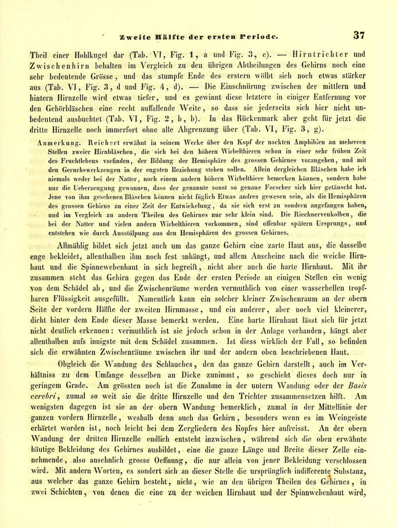 Theil einer Holilkugcl dar (Tab. VI, Fig. 1, a und Fig. 3, e). — Hirntricliter und Zvvischenhirn behalten im Vergleich zu den übrigen Abibeilungen des Gehirns noch eine sehr bedeutende Grösse, und das stumpfe Ende des erstem wölbt sich noch etwas stärker aus (Tab. VI, Fig. 3, d und Fig. 4, d). — Die Einschnürung zwischen der mittlem und hintern Hirnzelle wird etwas tiefer, und es gewinnt diese letztere in einiger Entfernung vor den Gebörbläschen eine recht auffallende Weite, so dass sie jederseits sich hier nicht un- bedeutend ausbuchtet (Tab. VI, Fig. 2, b, b). In das Rückenmark aber gebt für jetzt die dritte Hirnzelle noch immerfort ohne alle Abgrenzung über (Tab. VI, Fig. 3, g). Anmerkung'. Reichert erwähnt in seinem Werke über den Kopf der nackten Amphibien an mehreren Stellen zweier Hirnbliischen, die s'n-h bei den höhern Wirbellhieren schon in einer sehr frühen Zeit des Fruchtlebens vorfinden, der Bildung der Hemisphäre des grossen Geliirnes vorangehen, und mit den Geruchswerkzeugen in der engsten Beziehung stehen sollen. Allein dergleichen Bläschen habe ich niemals weder bei der Natter, noch einem andern hiihern Wirbelthiere bemerken können, sondern habe nur die Ueberzeugung gewonnen, dass der genannte sonst so genaue Forscher sich hier getäuscht hat. Jene von ihm gesehenen Bläschen können nicht füglich Etwas andres gewesen sein, als die Hemisphären des grossen Gehirns zu einer Zeit der Entwickelung, da sie sich erst zu sondern angefangen haben, und im Vergleich zu andern Theilen des Gehirnes nur sehr klein sind. Die Riechnervenkolben, die bei der N.itter und vielen andern Wirbelthiercn vorkommen, sind offenbar spätem Ursprungs, und entstehen wie durch Ausstülpung aus den Hemisphären des grossen Geliirnes. AUmählig bildet sich jetzt auch um das ganze Gehirn eine zarte Haut aus, die dasselbe enge bekleidet, allenthalben ihm noch fest anhängt, und allem Anscheine nach die weiche Hirn- haut und die Spinnewebenhaut in sich begreift, nicht aber auch die harte Hirnbaut. Mit ihr zusammen steht das Gehirn gegen das Ende der ersten Periode an einigen Stellen ein wenig von dem Schädel ab, und die Zwischenräume werden vermutblich von einer wasserhellen tropf- baren Flüssigkeit ausgefüllt. Namentlich kann ein solcher kleiner Zwischenraum an der obern Seite der vordem Hälfte der zweiten Hirnmasse, und ein anderer, aber noch viel kleinerer, dicht hinter dem Ende dieser Masse bemerkt werden. Eine harte Hirnhaut lässt sich für jetzt nicht deutlich erkennen: vermuthHcb ist sie jedoch schon in der Anlage vorhanden, hängt aber allenthalben aufs innigste mit dem Schädel zusammen. Ist diess wirklich der Fall, so befinden sich die erwähnten Zwischenräume zwischen ihr und der andern oben beschriebenen Haut. Obgleich die Wandung des Schlauches, den das ganze Gehirn darstellt, auch im Ver- hältniss zu dem Umfange desselben an Dicke zunimmt, so geschieht dieses doch nur in geringem Grade. Am grössten noch ist die Zunahme in der untern Wandung oder der Basis cerebri, zumal so weit sie die dritte Hirnzelle und den Trichter zusammensetzen hilft. Am wenigsten dagegen ist sie an der obern Wandung bemerklich, zumal in der Mittellinie der ganzen vordem Hirnzelle, weshalb denn auch das Gehirn , besonders wenn es im Weingeiste erhärtet worden ist, noch leicht bei dem Zergliedern des Kopfes hier aufreisst. An der obern Wandung der dritten Hirnzelle endlich entsteht inzwischen, während sich die oben erwähnte häutige Bekleidung des Gehirnes ausbildet, eine die ganze Länge und Breite dieser Zelle ein- nehmende, also ansehnlich grosse Oeffnung, die nur allein von jener Bekleidung verschlossen wird. Mit andern Worten, es sondert sich an dieser Stelle die ursprünglich indifferente Substanz, aus welcher das ganze Gehirn besteht, nicht, wie an den übrigen Theilen des Gehirnes, in zwei Schichten, von denen die eine zu der weichen Hirnhaut und der Spinnw ebenhaut wird,