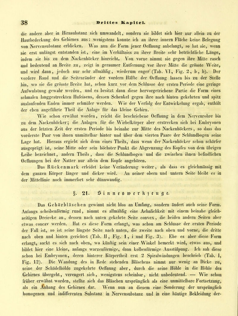 die andere aber in Hirnsubstanz sich umwandelt, sondern sie bildet sich hier nur allein zu der Hautbedeckung' des Gehirnes aus : wenigs^tens konnte ich an ihrer Innern Fläche keine Belegung von Nervensubstanz erblicken. Was nun die Form jener Oelfnung anbelangt, so hat sie, wenn sie erst unlängst entstanden ist, eine im Verhältniss zu ihrer Breite sehr beträchtliche Länge, indem sie bis zu dem Nackenhöcker hinreicht. Von vorne nimmt sie gegen ihre Milte rasch und bedeutend an Breite zu, zeigt in geraumer Entfernung vor ihrer Mitte die grösste Weite, und wird dann, jedoch nur sehr allmählig, wiederum enger (Tab. VI, Fig. 2, b, b). Der vordere Rand und die Seitenränder der vordem Hälfte der Oelfnung lassen bis zu der Stelle hin, wo sie die grösste Breite hat, schon kurz vor dem Schlüsse der ersten Periode eine geringe Aufvvulstung gewahr werden, und es besitzt dann diese hervorgelriebene Partie die Form eines schmalen langgestreckten Hufeisens, dessen Schenkel gegen ihre nach hinten gekehrten und spitz auslaufenden Enden immer schmäler werden. Wie der Verfolg der Entwickelung ergab, enthält der eben angeführte Theil die Anlage für das kleine Gehirn. Wie schon erwähnt worden, reicht die beschriebene Oeffnung in dem Nervenrohre bis zu dem Nackenhöcker; die Anlagen für die Wirbelkörper aber erstrecken sich bei Embryonen aus der letzten Zeit der ersten Periode bis beinahe zur Mitte des Nackenhöckers , so dass das vorderste Paar von ihnen unmittelbar hinter und über dem vierten Paare der Schlundbogen seine Lage hat. Hieraus ergiebt sich denn eines Theils, dass wenn der Nackenhöcker schon schärfer ausgeprägt ist, seine Mitte oder sein höchster Punkt die Abgrenzung des Kopfes von dem übrigen Leibe bezeichnet, andern Theils , dass die Schlundbogen und die zwischen ihnen befindlichen Oelfnungen bei der Natter nur allein dem Kopfe angehören. Das Rückenmark erleidet keine Veränderung weiter, als dass es gleichmässig mit dem ganzen Körper länger und dicker wird. An seiner obern und untern Seite bleibt es in der Mittellinie noch immerfort sehr dünnwandig. §. 21. ^innt$xvtrk\tu$t. Das Gehörbläschen gewinnt nicht blos an Umfang, sondern ändert auch seine Form. Anfangs scheibenförmig rund, nimmt es allmählig eine Aehnlichkeit mit einem beinahe gleich- seitigen Dreiecke an, dessen nach unten gekehrte Seite convex, die beiden andern Seiten aber etwas concav werden. Hat es diese Form erlangt, was schon am Schlüsse der ersten Periode der Fall ist, so ist seine längste Seite nach unten, die zweite nach oben und vorne, die dritte nach oben und hinten gerichtet (Tab. H, Fig. 1, i und Fig. 3). Ehe es aber diese Form erlangt, sackt es sich nach oben, wo künftig sein einer Winkel bemerkt wird, etwas aus, und bildet hier eine kleine, anfangs warzenförmige, dann kolbenförmige Ausstülpung. Ich sah diese schon bei Embryonen, deren hinterer Körperthcil erst 2 Spiralwindungen beschrieb (Tab. I, Fig. 12). Die Wandung des in Rede stehenden Bläschens nimmt nur wenig an Dicke zu, seine der Schädelhöhle zugekehrte Oeffnung aber, durch die seine Höhle in die Höhle des Gehirnes übergeht, verengert sich, wenigstens scheinbar, nicht unbedeutend. — Wie schon früher erwähnt worden, stellte sich das Bläschen ursprünglich als eine unmittelbare Fortsetzung, als ein Anhang des Gehirnes dar. Wenn nun an diesem eine Sonderung der ursprünglich homogenen und indifferenten Substanz in Nervensubstanz und in eine häutige Bekleidung der-