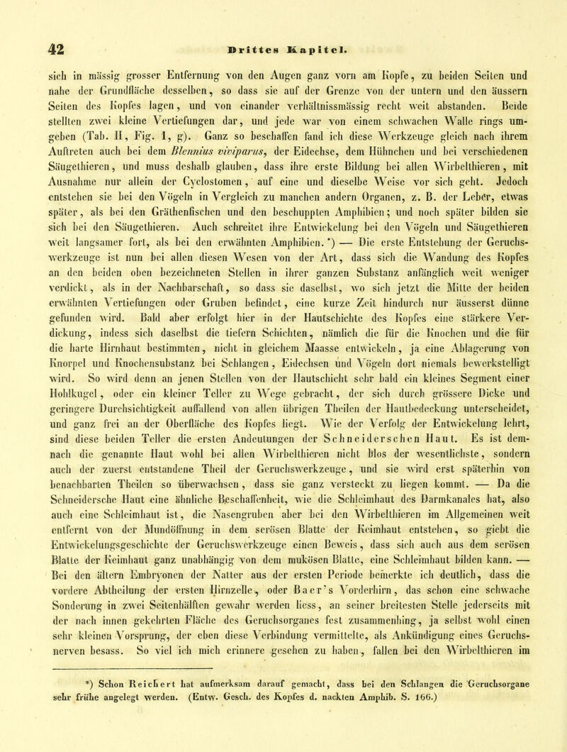 sich in massig grosser Entfernung von den Augen ganz vorn am Kopfe, zu beiden Seiten und nahe der Grundfläche desselben, so dass sie auf der Grenze von der untern und den äussern Seiten des Kopfes lagen, und von einander verhältnissmässig recht weit abstanden. Beide stellten zwei kleine Verliefungen dar, und jede war von einem schwachen Wafle rings um- geben (Tab. II, Fig. 1, g). Ganz so beschaffen fand ich diese Werkzeuge gleich nach ihrem Auftreten auch bei dem Blennius viviparus, der Eidechse, dem Hühnchen und bei verschiedenen Säugethieren, und muss deshalb glauben, dass ihre erste Bildung bei allen Wirbelthieren, mit Ausnahme nur allein der Cyclostomen, auf eine und dieselbe Weise vor sich geht. Jedoch entstehen sie bei den Vögeln in Vergleich zu manchen andern Organen, z.B. der Leber, etwas später, als bei den Grälhenfischen und den beschuppten Amphibien; und noch später bilden sie sich bei den Säugethieren. Auch schreitet ihre Entwickelung bei den Vögeln und Säugethieren weit langsamer fort, als bei den erwähnten Amphibien. *) — Die erste Entstehung der Geruchs- werkzeuge ist nun bei allen diesen Wesen von der Art, dass sich die Wandung des Kopfes an den beiden oben bezeichneten Stellen in ihrer ganzen Substanz anfänglich weit weniger verdickt, als in der Nachbarschaft, so dass sie daselbst, wo sich jetzt die Milte der beiden erwähnten Vertiefungen oder Gruben befindet, eine kurze Zeit hindurch nur äusserst dünne gefunden wird. Bald aber erfolgt hier in der Hautschichte des Kopfes eine stärkere Ver- dickung, indess sich daselbst die tiefern Schichten, nämhch die für die Knochen und die für die harte Hirnhaut bestimmten, nicht in gleichem Maasse entwickeln, ja eine Ablagerung von Knorpel und Knochensubstanz bei Schlangen, Eidechsen und Vögein dort niemals bewerkstelligt wird. So wird denn an jenen Stellen von der Hautschicht sehr bald ein kleines Segment einer Hohlkugel, oder ein kleiner Teller zu Wege gebracht, der sich durch grössere Dicke und geringere Durchsichtigkeit auffallend von allen übrigen Theilen der Hautbedeckung unterscheidet, und ganz frei an der Oberfläche des Kopfes liegt. Wie der Verfolg der Entwickelung lehrt, sind diese beiden Teller die ersten Andeutungen der Sehn ei der sehen Haut. Es ist dem- nach die genannte Haut wohl bei allen Wirbelthieren nicht Mos der wesentlichste, sondern auch der zuerst entstandene Theil der Geruchswerkzeuge, und sie Avird erst späterhin von benachbarten Theilen so überwachsen , dass sie ganz versteckt zu liegen kommt. — Da die Schneidersche Haut eine ähnliche Beschaffenheit, wie die Schleimhaut des Darmkanales hat, also auch eine Schleimhaut ist, die Nasengruben aber bei den Wirbelthieren im Allgemeinen weit entfernt von der Mundölfnung in dem serösen Blatte' der Keimhaut entstehen, so giebt die Entwickelungsgeschichte der Geruchswerkzeuge einen Beweis, dass sich auch aus dem serösen Bialte der Keimliaut ganz unabhängig von dem mukösen Blatte, eine Schleimhaut bilden kann. — Bei den ällcrn Embryonen der Natter aus der ersten Periode bernerkte ich deutlich, dass die vordere Abtheilung der ersten'Hirnzelle, oder Baer's Vorderhirn, das schon eine schwache Sonderutig in zwei Seilenhälften gewahr werden liess, an seiner breitesten Stelle jederseits mit der nach innen gekehrten Fläche des Geruchsorganes fest zusammenhing, ja selbst wohl einen sehr kleinen Vorsprung, der eben diese Verbindung vermitlelle, als Ankündigung eines Geruchs- nerven besass. So viel ich mich erinnere gesehen zu haben, fallen bei den Wirbelthieren im *) Schon ReicEiert Lat aufmerksam darauf gemacht, dass bei den Schlangen die Geruchsorgane setr frühe angelegt werden. (Entw- Gesch. des Roj)fes d. nackten Amphib. S. 166.)