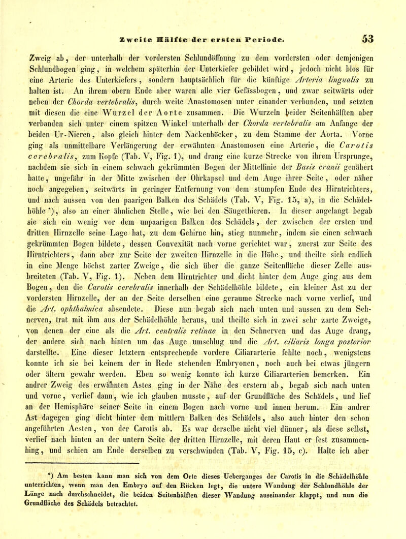 Zweig ab, der unterhalb der vordersten SchlundöfTnung zu dem vordersten oder demjenigen Schlundbogen ging, in welchem späterhin der Unterkiefer ge])ildet wird , jedoch nicht blos für eine Arterie des Unterkiefers , sondern hauptsächlich für die künftige Arteria lingualis zu halten ist. An ihrem obern Ende aber waren alle vier Gefässbogen, und zwar seitwärts oder neben der Chorda vertebralis, durch weite Anastomosen unter einander verbunden, und setzten mit diesen die eine Wurzel der Aorte zusammen. Die Wurzeln i?eider Seitenhälften aber verbanden sich unter einem spitzen Winkel unterhalb der Chorda vertehralis am Anfange der beiden Ur-Nieren, also gleich hinler dem Nackenhöcker, zu dem Stamme der Aorta. Vorne ging als unmittelbare Verlängerung der erwähnten Anastomosen eine Arterie, die Carotis cerebralis, zum Kopfe (Tab. V, Fig. 1), und drang eine kurze Strecke von ihrem Ursprünge, nachdem sie sich in einem schwach gekrümmten Bogen der Mittellinie der Basis cranii genähert halte, ungefähr in der Mitte zwischen der Ohrkapsel und dem Auge ihrer Seile , oder näher noch angegeben, seitwärts in geringer Entfernung von dem stumpfen Ende des Hirntrichters, und nach aussen von den paarigen Balken des Schädels (Tab. V, Fig. 1.5, a), in die Schädel- höhle*), also an einer ähnlichen Stelle, wie bei den Säugelhieren. In dieser angelangt begab sie sich ein wenig vor dem unpaarigen Balken des Schädels, der zwischen der ersten und dritten Hirnzelle seine Lage hat, zu dem Gehirne hin, stieg nunmehr, indem sie einen schwach gekrümmten Bogen bildete, dessen Convexität nach vorne gerichtet war, zuerst zur Seite des Hirntrichlers, dann aber zur Seile der zweiten Hirnzelle in die Hohe , und thcilte sich endlich in eine Menge höchst zarter Zweige, die sich über die ganze Seitenfläche dieser Zelle aus- breiteten (Tab. V, Fig. 1). Neben dem Hirntrichler und dicht hinter dem Auge ging aus dem Bogen, den die Carotis cerebralis innerhalb der Schädclhöhle bildete, ein kleiner Ast zu der vordersten Hirnzelle, der an der Seite derselben eine geraume Strecke nach vorne verlief, und die Art. ophthalmica absendete. Diese nun begab sich nach unten und aussen zu dem Seh- nerven_, trat mit ihm aus der Schädelhöhle heraus, und theilte sich in zwei sehr zarte Zweige, von denen der eine als die Art. centralis retinae in den Sehnerven und das Auge drang, der andere sich nach hinten um das Auge umschlug und die Art. ciliaris longa posterior darstellte. Eine dieser letztern entsprechende vordere Ciliararterie fehlte noch, wenigstens konnte ich sie bei keinem der in Rede stehenden Embryonen, noch auch bei etwas jüngcrn oder ältern gewahr werden. Eben so wenig konnte idi kurze Ciliararterien bemerken. Ein andrer Zweig des erwähnten Astes ging in der Nähe des erstem ab, begab sich nach unten und vorne, verlief dann, wie ich glauben musste, auf der Grundfläche des Schädels, und lief an der Hemisphäre seiner Seite in einem Bogen nach vorne und innen herum. Ein andrer Ast dagegen ging dicht hinter dem mittlem Balken des Schädels, also auch hinter den schon angeführten Aesten, von der Carotis ab. Es war derselbe nicht viel dünner, als diese selbst, verlief nach hinten an der untern Seile der dritten Hirnzelle, mit deren Haut er fest zusammen- hing, und schien am Ende derselben zu verschwinden (Tab. V, Fig. 15, c). Halte ich aber *) Am besten kann man sich von dem Orte dieses Ueberganges der Carotis in die Schädelhöhle unterricLten, wenn man den Embryo auf den Rücken legt, die untere Wandung der ScLIundliö'Lle der Länge nach durcLscbneidet, die beiden Seitenhälften dieser Wandung auseinander klappt, und nun die Grundfläche des Schädels betrachtet.