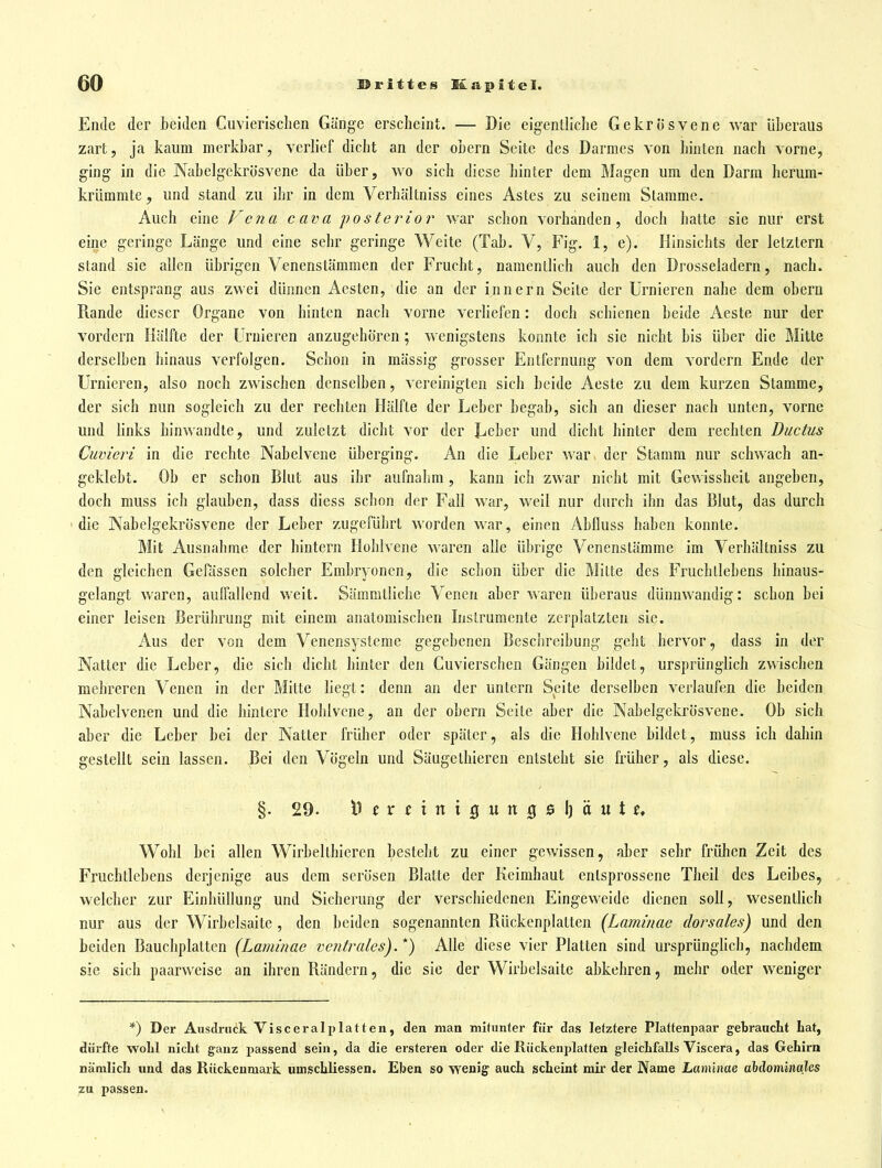 Ende der beiden Cuvierischen Gänge erscheint. — Die eigentliche Gekrösvene war überaus zart, ja kaum merkbar, verlief dicht an der obern Seite des Darmes von hinten nach vorne, ging in die Nabelgekrösvene da über, wo sich diese hinter dem Magen um den Darm herum- krümmte, und stand zu ihr in dem Verhältniss eines Astes zu seinem Stamme. Auch eine Vena c ava posterior war schon vorhanden, doch hatte sie nur erst eine geringe Länge und eine sehr geringe Weite (Tab. V, Fig. 1, e). Hinsichts der letztern stand sie allen übrigen Venenstämmen der Frucht, namentlich auch den Drosseiadern, nach. Sie entsprang aus zwei dünnen Aesten, die an der innern Seite der Urnieren nahe dem obern Piande dieser Organe von hinten nach vorne verliefen: doch schienen beide Aeste nur der vordem Hälfte der Urnieren anzugehören; wenigstens konnte ich sie nicht bis über die Mitte derselben hinaus verfolgen. Schon in massig grosser Entfernung von dem vordem Ende der Urnieren, also noch zwischen denselben, vereinigten sich beide Aeste zu dem kurzen Stamme, der sich nun sogleich zu der rechten Hälfte der Leber begab, sich an dieser nach unten, vorne und links hinwandte, und zuletzt dicht vor der Leber und dicht hinter dem rechten Ductus Cuvieri in die rechte Nabelvene überging. An die Leber war der Stamm nur schwach an- geklebt. Ob er schon Blut aus ihr aufnahm, kann ich zwar nicht mit Gewissheit angeben, doch muss ich glauben, dass diess schon der Fall war, weil nur durch ihn das Blut, das durch die Nabelgekrösvene der Leber zugeführt worden war, einen AbQuss haben konnte. Mit Ausnahme der hintern Hohlvene waren alle übrige Venenstämme im Verhältniss zu den gleichen Gefössen solcher Embryonen, die schon über die Mitte des Fruchtlebens hinaus- gelangt waren, aulfallend weit. Sämmtliche Venen aber waren überaus dünnwandig: schon bei einer leisen Berührung mit einem anatomischen Instrumente zerplatzten sie. Aus der von dem Venensysteme gegebenen Beschreibung geht hervor, dass in der Natter die Leber, die sich dicht hinter den Cuvierschen Gängen bildet, ursprünglich zwischen mehreren Venen in der Mitte liegt: denn an der untern Seite derselben verlaufen die beiden Nabelvenen und die hintere Hohivcne, an der obern Seite aber die Nabelgekrösvene. Ob sich aber die Leber bei der Natter früher oder später, als die Hohlvene bildet, müss ich dahin gestellt sein lassen. Bei den Vögeln und Säugethieren entsteht sie früher, als diese. §.29. H ( r f t n t 3 u n 0 0 I) ä u t Wohl bei allen Wirbelthicren besteht zu einer gewissen, aber sehr frühen Zeit des Fruchtlebens derjenige aus dem serösen Blatte der Keimhaut entsprossene Theil des Leibes, welcher zur Einhüllung und Sicherung der verschiedenen Eingeweide dienen soll, wesentlich nur aus der Wirbelsaitc , den beiden sogenannten Rückenplatten [Laminae dorsales) und den beiden Bauchplatten (Laminae ventrales).*) Alle diese vier Platten sind ursprüngKch, nachdem sie sich paarweise an ihren Rändern, die sie der Wirbelsaitc abkehren, mehr oder weniger *) Der Ausdruck Visceral platten, den man mitunter für das letztere Plattenpaar getrauctt Lat, dürfte woLl niclit ganz passend sein, da die ersteren oder die Rückenplatten gleichfalls Viscera, das Gehirn nämlicli und das Rückenmark. uuiscLliessen. Eben so wenig auch scheint mir der Name Laminae abdominales zu passen.