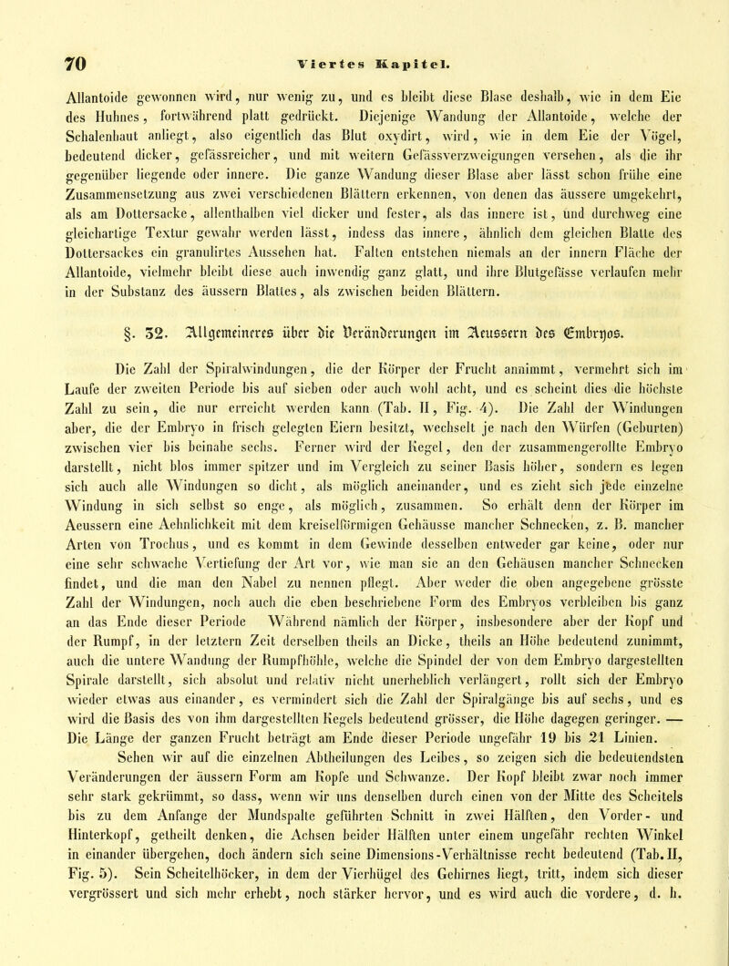 AUantoide gewonnen wird, nur wenig zu, und es bleibt diese Blase desbalb, wie in dem Eie des Hubnes, fortwährend platt gedrückt. Diejenige Wandung der AUantoide, welcbe der Scbalenbaut anliegt, also eigentlicb das Blut oxydirt, wird, wie in dem Eie der Vögel, bedeutend dicker, gefässreicber, und mit weitern Gefässverzweigungen verseben, als die ibr gegenüber liegende oder innere. Die ganze Wandung dieser Blase aber lässt scbon frübe eine Zusammensetzung aus zwei verscbiedcnen Blättern erkennen, von denen das äussere umgekebrt, als am Dottersacke, allenlbalben viel dicker und fester, als das innere ist, und durchweg eine gleicbarlige Textur gewähr werden lässt, indess das innere, ähnlich dem gleichen Blatte des Dottersackes ein granulirtes Aussehen hat. Falten entstehen niemals an der Innern Fläche der AUantoide, vielmehr bleibt diese auch inwendig ganz glatt, und ihre Blutgefässe verlaufen mehr in der Substanz des äussern Blattes, als zwischen beiden Blättern. §. 52. 2ill0emeinfrf6 über öie l^crüntJerungcit im Jicussern öc6 €mbrt)os. Die Zahl der Spiralwindungen, die der Körper der Frucht annimmt, vermehrt sich im Laufe der zweiten Periode bis auf sieben oder auch wohl acht, und es scheint dies die höchste Zahl zu sein, die nur erreicht werden kann, (Tab. II, Fig. 4). Die Zahl der Windungen aber, die der Embryo in frisch gelegten Eiern besitzt, wechselt je nach den Würfen (Geburten) zwischen vier bis beinahe sechs. Ferner wird der Kegel, den der zusammengerollte Embryo darstellt, nicht blos immer spitzer und im Vergleich zu seiner Basis höher, sondern es legen sich auch alle Windungen so dicht, als möglich aneinander, und es zieht sich jfede einzelne Windung in sich selbst so enge, als möglich, zusammen. So erhält denn der Körper im Aeussern eine Aelmlicbkeit mit dem kreiseirörmigen Gehäusse mancher Schnecken, z. B. mancher Arten von Trochus, und es kommt in dem Gewinde desselben entweder gar keine, oder nur eine sehr schwache Vertiefung der Art vor, wie man sie an den Gehäusen mancher Schnecken findet, und die man den Nabel zu nennen pflegt. Aber weder die oben angegebene grösste Zahl der Windungen, noch auch die eben beschriebene Form des Embryos verbleiben bis ganz an das Ende dieser Periode Während nämlich der Körper, insbesondere aber der Kopf und der Rumpf, in der letztern Zeit derselben theils an Dicke, theils an Höhe bedeutend zunimmt, auch die untere Wandung der Rumpfhöhle, welche die Spindel der von dem Embryo dargestellten Spirale darstellt, sich absolut und relativ nicht unerheblich verlängert, rollt sich der Embryo wieder etwas aus einander, es vermindert sich die Zahl der Spiralgänge bis auf sechs, und es wird die Basis des von ihm dargestellten Kegels bedeutend grösser, die Höhe dagegen geringer. — Die Länge der ganzen Frucht beträgt am Ende dieser Periode ungefähr 19 bis 21 Linien. Sehen wir auf die einzelnen Abtheilungen des Leibes, so zeigen sich die bedeutendsten Veränderungen der äussern Form am Kopfe und Schwänze. Der Kopf bleibt zwar noch immer sehr stark gekrümmt, so dass, wenn wir uns denselben durch einen von der Mitte des Scheitels bis zu dem Anfange der Mundspalte geführten Schnitt in zwei Hälften, den Vorder- und Hinterkopf, gelheilt denken, die Achsen beider Hälften unter einem ungefähr rechten Winkel in einander übergehen, doch ändern sich seine Dimensions-Verhältnisse recht bedeutend (Tab. II, Fig. 5). Sein Scheitelhöcker, in dem der Vierhügel des Gehirnes liegt, tritt, indem sich dieser vergrössert und sich mehr erbebt, noch stärker hervor, und es wird auch die vordere, d. h.