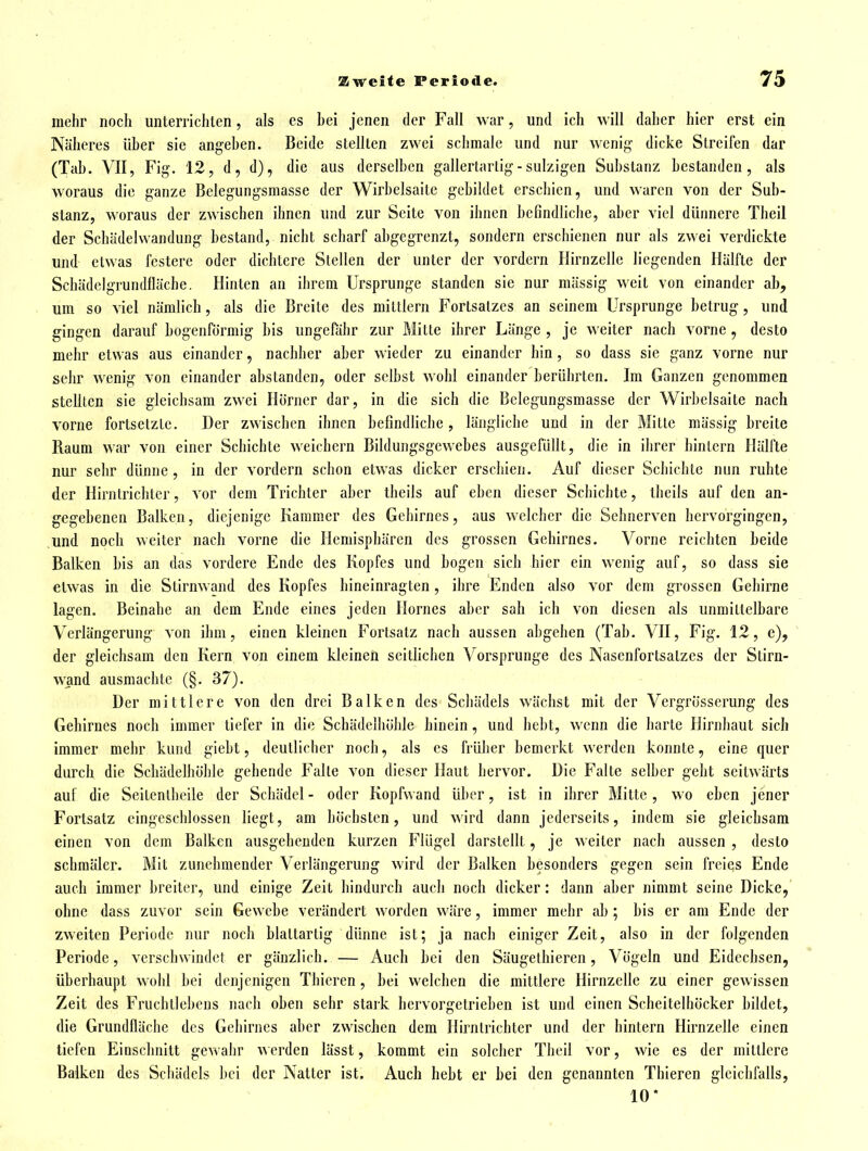 mehr noch unterrichten, als es bei jenen der Fall war, und ich will daher hier erst ein Näheres über sie angeben. Beide stellten zwei schmale und nur wenig- dicke Streifen dar (Tab. VII, Fig. 12, d, d), die aus derselben gallertartig-sulzigen Substanz bestanden, als woraus die ganze Belegungsmasse der Wirbelsaitc gebildet erschien, und waren von der Sub- stanz, woraus der zwischen ihnen und zur Seite von ihnen befindliche, aber viel dünnere Theil der Schädelwandung bestand, nicht scharf abgegrenzt, sondern erschienen nur als zwei verdickte und etwas festere oder dichtere Slellen der unter der vordem Hirnzelle liegenden Hälfte der Scbädelgrundfläche. Hinten an ihrem Ursprünge standen sie nur massig weit von einander ab, um so viel nämlich, als die Breite des mittlem Fortsatzes an seinem Ursprünge betrug, und gingen darauf bogenförmig bis ungefiihr zur Mitte ihrer Länge , je weiter nach vorne , desto mehr etwas aus einander, nachher aber wieder zu einander hin, so dass sie ganz vorne nur sehr wenig von einander abstanden, oder selbst wohl einander berührten. Im Ganzen genommen stellten sie gleichsam zwei Horner dar, in die sich die Bclegungsmasse der Wirbelsaite nach vorne fortsetzte. Der zwischen ihnen befindliche, längliche und in der Mitte mässig breite Raum war von einer Schichte weichern Bildungsgewebes ausgefüllt, die in ihrer hintern Hälfte nur sehr dünne, in der vordem schon etwas dicker erschien. Auf dieser Schichte nun ruhte der Hirntrichter, vor dem Trichter aber theils auf eben dieser Schichte, tbeils auf den an- gegebenen Balken, diejenige Kammer des Gehirnes, aus welcher die Sehnerven hervorgingen, und noch weiter nach vorne die Hemisphären des grossen Gehirnes. Vorne reichten beide Balken bis an das vordere Ende des Kopfes und bogen sich hier ein wenig auf, so dass sie etwas in die Stirnwand des Kopfes hineinragten, ihre Enden also vor dem grossen Gehirne lagen. Beinahe an dem Ende eines jeden Ilornes aber sah ich von diesen als unmittelbare Verlängerung von ihm, einen kleinen Fortsatz nach aussen abgehen (Tab. VII, Fig. 12, e), der gleichsam den Kern von einem kleinen seitlichen Vorsprunge des Nasenfortsatzes der Stirn- wand ausmachte (§. 37). Der mittlere von den drei Balken des Schädels wächst mit der Vergrösserung des Gehirnes noch immer tiefer in die Schädelhölile hinein , und bebt, wenn die harte Hirnhaut sich immer mehr kund giebt, deutlicher noch, als es früher bemerkt werden konnte, eine quer durch die Schädelhöhle gehende Falte von dieser Haut hervor. Die Falte selber geht seitwärts auf die Seitcntheile der Schädel - oder Kopfwand über, ist in ihrer Mitte, wo eben jener Fortsatz eingeschlossen liegt, am höchsten, und wird dann jederseits, indem sie gleichsam einen von dem Balken ausgehenden kurzen Flügel darstellt, je weiter nach aussen , desto schmäler. Mit zunehmender Verlängerung wird der Balken besonders gegen sein freies Ende auch immer breiter, und einige Zeit hindurch auch noch dicker: dann aber nimmt seine Dicke, ohne dass zuvor sein Gewebe verändert worden w.äre, immer mehr ab ; bis er am Ende der zweiten Periode nur noch blaltartig dünne ist; ja nach einiger Zeit, also in der folgenden Periode, verschwindet er gänzlich. — Auch bei den Säugethicren, Vögeln und Eidechsen, überhaupt wohl bei denjenigen Thieren , bei welchen die mittlere Hirnzelle zu einer gewissen Zeit des Fi^uchtlebens nach oben sehr stark bervorgetrieben ist und einen Scheitelhöcker bildet, die Grundfläche des Gehirnes aber zwischen dem Hirntrichter und der hintern Hirnzelle einen tiefen Einschnitt gewahr werden lässt, kommt ein solcher Theil vor, wie es der mittlere Balken des Schädels bei der Natter ist. Auch hebt er bei den genannten Thieren gleichfalls, 10*