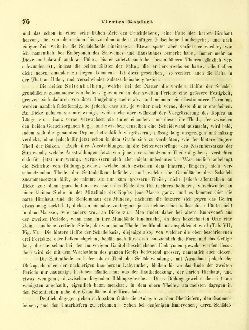 und (las schon in einer sehr frühen Zeit des Fruchtlehens, eine Falte der harten Hirnhaut hervor, die von dem einen his zu dem andern künftigen Felsenheine hinühergeht, und nach einiger Zeit weit in die Schädelhöhle hineinragt. Etwas später aher verliert er wieder, wie ich namentlich bei Embryonen des Schweines und Haushuhnes bemerkt habe, immer mehr an Dicke und darauf auch an Hohe , bis er zuletzt auch hei diesen höhern Thieren gänzhch ver- schwunden ist, indess die beiden Blätter der Falte, die er hervorgehoben hatte, allenthalben dicht neben einander zu liegen kommen. Ist diess geschehen, so verliert auch die Falte in der That an Höhe, und verschwindet zuletzt beinahe gänzlich. Die beiden Scitenbalken, welche bei der Natter die vordere Hälfte der Schädel- grundfläche zusammensetzen helfen, gewinnen in der zweiten Periode eine grössere Festigkeit, grenzen sich dadurch von ihrer Umgebung mehr ab, und nehmen eine bestimmtere Form an, werden nämlich fadenförmig, so jedoch, dass sie, je weiter nach vorne, desto dünner erscheinen. An Dicke nehmen sie nur wenig, weit mehr aber während der Vergrösserung des Kopfes an Länge zu. Ganz vorne verwachsen sie unter einander, und dieser ihr Theil, der zwischen den beiden Gcrucbsorganen liegt, und zwischen denselben eine Scheidewand ausmacht, wird bald, indem sich die genannten Organe beträchtlich vergrössern, mässig lang ausgezogen und mässig verdickt, ohne jedoch für jetzt schon in dem Grade sich zu verdichten, wie der hintere längere Theil der Balken. Auch ihre Ausstrahlungen in die Seitenvorsprünge des Nasenfortsatzes der Stirnwand, welche Ausstrahlungen jetzt von jenem verschmolzenen Theile abgehen, verdichten sich für jetzt nur wenig, vergrössern sich aber nicht unbedeutend. Was endlich anbelangt die Schichte von Bildungsgewebe , welche sich zwischen dem hintern, längern, nicht ver- schmelzenden Thcile der Seitenbalken befindet, und welche die Grundfläche des Schädels zusammensetzen hilft, so nimmt sie nur zum grössern Theile, nicht jedoch allenthalben an Dicke zu: denn ganz hinten, wo sich das Ende des Hirntrichters befindet, verschwindet an einer kleinen Stelle in der Mittellinie des Kopfes jene Masse ganz, und es kommen hier die harte Hirnhaut und die Schleimhaut des Mundes, nachdem die letztere sich gegen das Gehirn etwas ausgesackt hat, dicht an einander zu liegen: ja es nehmen hier selbst diese Häute nicht in dem Maasse , wie anders wo, an Dicke zu. Man findet daher bei ältern Embryonen aus der zweiten Periode, wenn man in ihre Mundhöhle hineinsieht, an dem bezeichneten Orte eine kleine rundliche vertiefte Stelle, die von einem Theile der Mundhaut ausgekleidet wird (Tab, VH, Fig. 7). Die hintere Hälfte der Schädelbasis, diejenige also, von welcher die oben beschriebenen drei Fortsätze oder Balken abgehen, behält noch fürs erste so ziemlich die Form und das Gefüge bei, die sie schon bei den im vorigen Kapitel beschriebenen Embryonen gewahr werden Hess: doch wird sie mit dem Wachsthum des ganzen Kopfes bedeutend grösser, namentlich auch dicker. Die Seitentheile und der obere Theil der Schädelwandung, mit Ausnahrae jedoch der Ohrkapseln oder der nachherigen knöchernen Labyrinthe, bleiben bis an das Ende der zweiten Periode nur hautartig, bestehen nämlich nur aus der Hautbedeckung, der harten Hirnhaut, und etwas wenigem, dazwischen liegenden Bildungsgewebe. Diess Bildungsgewebe aber ist am wenigsten angehäuft, eigentlich kaum merkbar, in dem obern Theile, am meisten dagegen in den Seitentheilen nahe der Grundfläche der Hirnschale. Deutlich dagegen geben sich schon frühe die Anlagen zu den Oberkiefern, den Gaumen- beinen, und den Unterkiefern zu erkennen. Schon bei denjenigen Embryonen, deren Schädel-