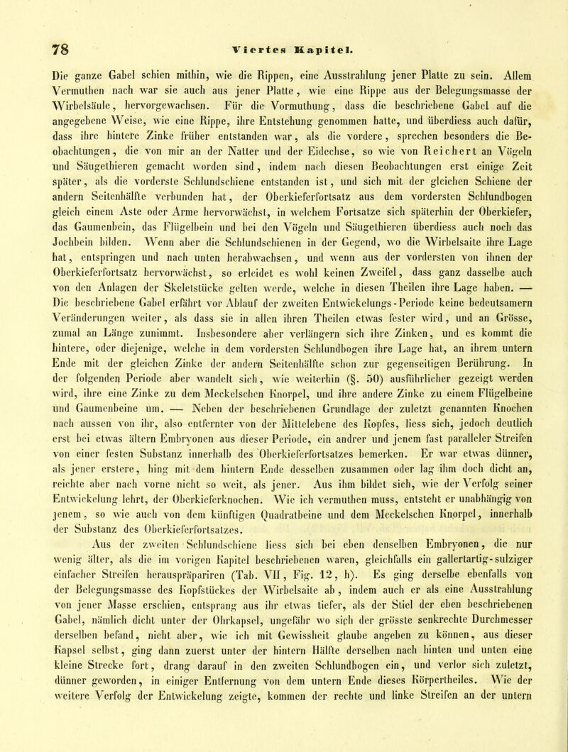 Die ganze Gabel schien mithin, wie die Rippen, eine Ausstrahlung jener Platte zu sein. Allem Vermuthen nach war sie auch aus jener Platte , wie eine Rippe aus der Belegungsmasse der Wirbelsäule, hervorgewachsen. Für die Vormuthung, dass die beschriebene Gabel auf die angegebene Weise, wie eine Rippe, ihre Entstehung genommen hatte, und überdiess auch dafür, dass ihre hintere Zinke früher entstanden war, als die vordere, sprechen besonders die Be- obachtungen, die von mir an der Natter und der Eidechse, so wie von Reichert an Vögeln und Säugethieren gemacht worden sind, indem nach diesen Beobachtungen erst einige Zeit später, als die vorderste Schlundschiene entstanden ist, und sich mit der gleichen Schiene der andern Seitenhälfte verbunden hat, der Oberkieferfortsatz aus dem vordersten Schlundbogen gleich einem Aste oder Arme hervorwächst, in welchem Fortsatze sich späterhin der Oberkiefer, das Gaumenbein, das Flügelbein und bei den Vögeln und Säugethieren überdiess auch noch das Jochbein bilden. Wenn aber die Schlundschienen in der Gegend, wo die Wirbelsaite ihre Lage hat, entspringen und nach unten herabwachsen, und wenn aus der vordersten von ihnen der Oberkieferfortsatz hervorwächst, so erleidet es wohl keinen Zweifel, dass ganz dasselbe auch von den Anlagen der Skeletstücke gelten werde, welche in diesen Theilen ihre Lage haben. —■ Die beschriebene Gabel erfährt vor Ablauf der zweiten Entwickelungs-Periode keine bedeutsamem Veränderungen weiter, als dass sie in allen ihren Theilen etwas fester wird, und an Grösse, zumal an Länge zunimmt. Insbesondere aber verlängern sich ihre Zinken, und es kommt die hintere, oder diejenige, welche in dem vordersten Schlundbogen ihre Lage hat, an ihrem untern Ende mit der gleichen Zinke der andern Seitenhälfte schon zur gegenseitigen Berührung. In der folgenden Periode aber wandelt sich, wie weitOThin (§. 50) ausführlicher gezeigt werden wird, ihre eine Zinke zu dem Meckelschcn Knorpel, und ihre andere Zinke zu einem Flügelbeine und Gaumenbeine um. — Neben der beschriebenen Grundlage der zuletzt genannten Knochen nach aussen von ihr, also entfernter von der Miltelebcne des Kopfes, liess sich, jedoch deutlich erst bei etwas altern Embryonen aus dieser Periode, ein andrer und jenem fast paralleler Streifen von einer festen Substanz innerhalb des Oberkieferfortsatzes bemerken. Er war etwas dünner, als jener erstere, hing mit dem hintern Ende desselben zusammen oder lag ihm doch dicht an, reichte aber nach vorne nicht so weit, als jener. Aus ihm bildet sich, wie der Verfolg seiner Entwickelung lehrt, der Oberkieferknochen. Wie ich vermuthen muss, entsteht er unabhängig von jenem, so wie auch von dem künftigen Quadratbeine und dem Meckelschcn Knorpel, innerhalb der Substanz des Oberkieferfortsatzes. Aus der zweiten Schlundschiene liess sich bei eben denselben Embryonen, die nur wenig älter, als die im vorigen Kapitel beschriebenen waren, gleichfalls ein gallertartig-sulziger einfacher Streifen herauspräpariren (Tab. VII, Fig. 12, h). Es ging derselbe ebenfalls von der Belegungsmasse des Kopfstückes der Wirbelsaite ab , indem auch er als eine Ausstrahlung von jener Magse erschien, entsprang aus ihr etwas tiefer, als der Stiel der eben beschriebenen Gabel, nämlich dicht unter der Ohrkapsel, ungefähr wo siph der grösste senkrechte Durchmesser derselben befand, nicht aber, wie ich mit Gewissheit glaube angeben zu können, aus dieser Kapsel selbst, ging dann zuerst unter der hintern Hälfte derselben nach hinten und unten eine kleine Strecke fort, drang darauf in den zweiten Schlundbogen ein, und verlor sich zuletzt, dünner geworden, in einiger Entlernung von dem untern Ende dieses Körpertheiles. Wie der weitere Verfolg der Entwickelung zeigte, kommen der rechte und linke Streifen an der untern