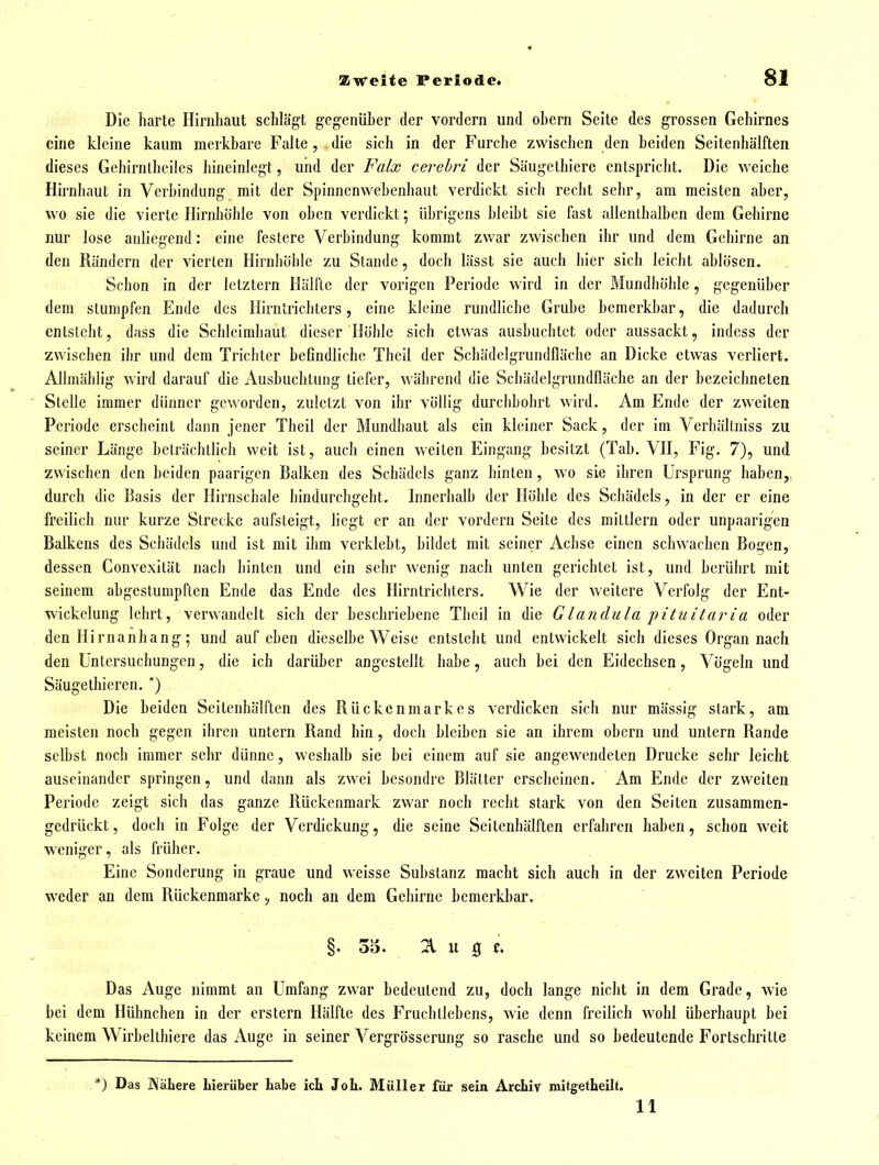 Die harte Hirnhaut schlägt gegenüher der vordem und ohern Seite des grossen Gehirnes eine kleine kaum merkbare Falte , die sich in der Furche zwischen den beiden Seitenhälften dieses Gehirntheilcs hineinlegt, und der Falx ccrehri der Säugcthiere entspricht. Die weiche Hirnhaut in Verbindung mit der Spinnenwebenhaut verdickt sich recht sehr, am meisten aber, wo sie die vierte Hirnhöhle von oben verdickt; übrigens bleibt sie fast allenthalben dem Gehirne nur lose anliegend: eine festere Verbindung kommt zwar zwischen ihr und dem Gehirne an den Rändern der vierten Hirnhöhle zu Stande, doch lässt sie auch hier sich leicht ablösen. Schon in der letztern Hälfte der vorigen Periode wird in der Mundhöhle, gegenüber dem stumpfen Ende des Hirntrichters, eine kleine rundliche Grube bemerkbar, die dadurch entsteht, dass die Schleimhaut dieser Höhle sich etwas ausbuchtet oder aussackt, indess der zwischen ihr und dem Trichter befindliche Theil der Schädclgrundlläche an Dicke etwas verliert. Allmählig Avird darauf die Ausbuchtung tiefer, während die Schädclgrundlläche an der bezeichneten Stelle immer dünner geworden, zuletzt von ihr völlig durchbohrt wird. Am Ende der zweiten Periode erscheint dann jener Theil der Mundhaut als ein kleiner Sack, der im Verhältniss zu seiner Länge beträchtlich weit ist, auch einen weiten Eingang besitzt (Tab. VH, Fig. 7), und zwischen den beiden paarigen Balken des Schädels ganz hinten, wo sie ihren Ursprung haben, durch die Basis der Hirnschale hindurchgeht. Innerhalb der Höhle des Schädels, in der er eine freilich nur kurze Strecke aufsteigt, liegt er an der vordem Seite des mittlem oder unpaarigen Balkens des Schädels und ist mit ihm verklebt, bildet mit seiner Achse einen schwachen Bogen, dessen Convexität nach hinten und ein sehr wenig nach unten gerichtet ist, und berührt mit seinem abgestumpften Ende das Ende des Hirntrichters. Wie der weitere Verfolg der Ent- wickelung lehrt, verwandelt sich der beschriebene Theil in die Glandula pitiiitaria oder den Hirnanhang; und auf eben dieselbe Weise entsteht und entwickelt sich dieses Organ nach den Untersuchungen, die ich darüber angestellt habe, auch bei den Eidechsen, Vögeln und Säugethieren. *) Die beiden Seitenhälften des Rückenmarkes verdicken sich nur mässig stark, am meisten noch gegen ihren untern Rand hin, doch bleiben sie an ihrem obern und untern Rande selbst noch immer sehr dünne, weshalb sie bei einem auf sie angewendeten Drucke sehr leicht auseinander springen, und dann als zwei besondre Blätter erscheinen. Am Ende der zweiten Periode zeigt sich das ganze Rückenmark zwar noch recht stark von den Seiten zusammen- gedrückt , doch in Folge der Verdickung, die seine Seitenhälften erfahren haben, schon weit weniger, als früher. Eine Sonderung in graue und weisse Substanz macht sich auch in der zweiten Periode weder an dem Rückenmarke ^ noch an dem Gehirne bemerkbar. §. 35. 21 u 9 f. Das Auge nimmt an Umfang zwar bedeutend zu, doch lange nicht in dem Grade, wie bei dem Hühnchen in der erstem Hälfte des Fruchtlebens, wie denn freilich wohl überhaupt bei keinem Wirbelthiere das Auge in seiner Vergrösserung so rasche und so bedeutende Fortschritte *) Das Nähere hierüber habe ich Joh. Müller für $ein Archiv mitgetheilt. 11