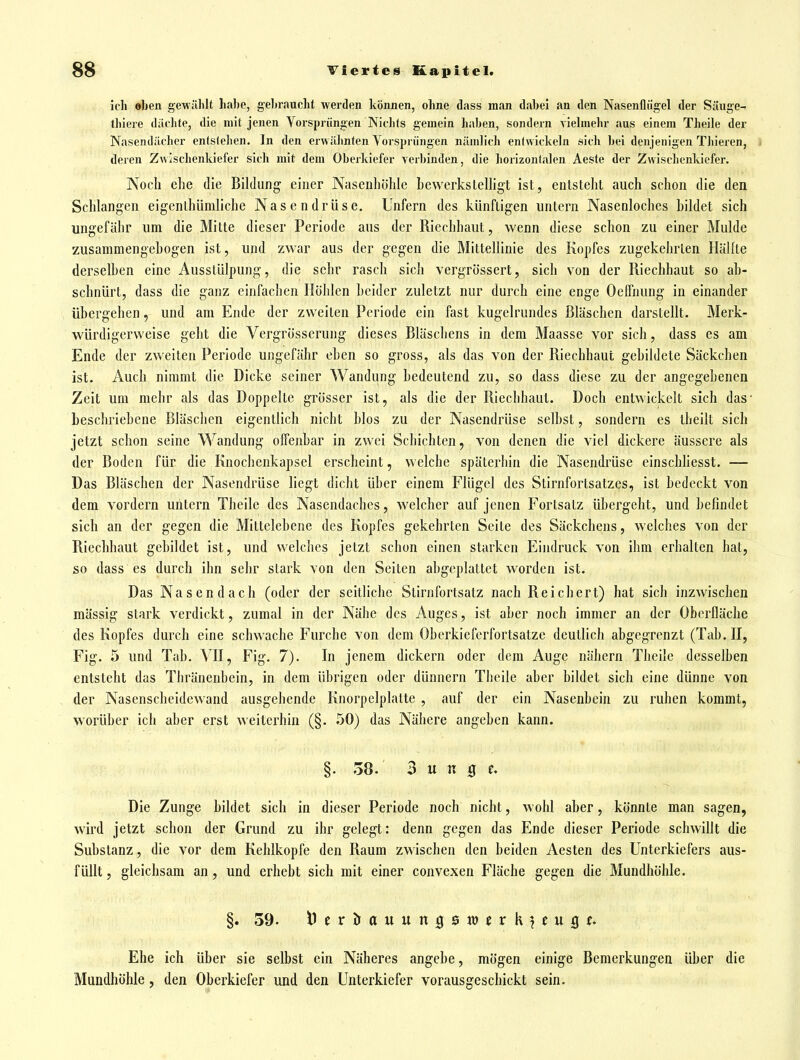 ich »ben gewählt habe, gebraucht werden können, ohne dass man dabei an den Nasenflügel der Säuge- tliiere dächte, die mit jenen Vorsprüngen Nichts gemein haben, sondern vielmehr aus einem Theile der Nasendächcr entstellen. In den erwähnten Vorsprüngen nämlich entwickeln sich bei denjenigen Thieren, deren Zwischenkiefer sich mit dem Oberkiefer verbinden, die liorizontalen Aeste der Zwischenkiefer. Noch ehe die Bildung einer Nasenhöhle Lewerkslelligt ist , entsteht auch schon die den Schlangen eigenthümliche Nasendrüse. Unfern des künftigen untern Nasenloches bildet sich ungefähr um die Mitte dieser Periode aus der Riechhaut, wenn diese schon zu einer Mulde zusammengebogen ist, und zwar aus der gegen die Mittellinie des Kopfes zugekehrlen Hälfte derselben eine Ausstülpung, die sehr rasch sich vergrössert, sich von der Riechhaut so ab- schnürt, dass die ganz einfachen Höhlen beider zuletzt nur durch eine enge OcCfnung in einander übergehen, und am Ende der zweiten Periode ein fast kugelrundes Bläschen darstellt. Merk- würdigerweise geht die Vergrösserung dieses Bläschens in dem Maasse vor sich, dass es am Ende der zweiten Periode ungefähr eben so gross, als das von der Riechhaut gebildete Säckchen ist. Auch nimmt die Dicke seiner Wandung bedeutend zu, so dass diese zu der angegebenen Zeit um mehr als das Doppelle grösser ist, als die der Riechhaut. Doch entwickelt sich das- beschriebene Bläsclien eigentlich nicht blos zu der Nasendrüse selbst, sondern es theilt sich jetzt schon seine Wandung offenbar in zwei Schichten, von denen die viel dickere äussere als der Boden für die Knochenkapsel erscheint, welche späterhin die Nasendrüse cinschhesst. — Das Bläschen der Nasendrüse liegt dicht über einem Flügel des Stirnfortsatzes, ist bedeckt von dem vordem untern Theile des Nasendaches, welcher auf jenen Fortsatz übergeht, und befindet sich an der gegen die Mittelebene des Kopfes gekehrten Seite des Säckchens, welches von der Riechhaut gebildet ist, und welches jetzt schon einen starken Eindruck von ihm erhalten hat, so dass es durch ihn sehr stark von den Seiten abgeplattet worden ist. Das Nasendach (oder der seitliche Slirnfortsatz nach Reichert) hat sich inzwischen massig stark verdickt, zumal in der Nähe des Auges, ist aber noch immer an der Oberfläche des Kopfes durch eine schwache Furche von dem Oberkieferfortsatze deutlich abgegrenzt (Tab.H, Fig. 5 und Tab. VH, Fig. 7). In jenem dickern oder dem Auge nähern Theile desselben entsteht das Thränenbein, in dem übrigen oder dünnern Theile aber bildet sich eine dünne von der Nasenscheidewand ausgehende Knorpelplalte , auf der ein Nasenbein zu ruhen kommt, worüber ich aber erst Aveiterhin (§. 50) das Nähere angeben kann. §. 38. 3 u n g t* Die Zunge bildet sich in dieser Periode noch nicht, wohl aber, könnte man sagen, wird jetzt schon der Grund zu ihr gelegt: denn gegen das Ende dieser Periode schwillt die Substanz, die vor dem Kehlkopfe den Raum zwischen den beiden Aesten des Unterkiefers aus- füllt , gleichsam an, und erhebt sich mit einer convexen Fläche gegen die Mundhöhle. §. 59. Deröauungöwcrh^jugc. Ehe ich über sie selbst ein Näheres angebe, mögen einige Bemerkungen über die Mundhöhle, den Oberkiefer und den Unterkiefer vorausgeschickt sein.