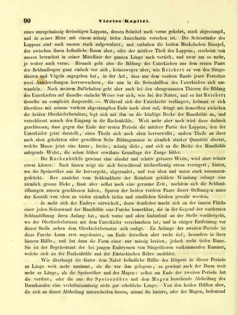 eines unregelmässig dreiseitigen Lappens, dessen Scheitel nach vorne gekehrt, stark abgesturopft, und in seiner Mitte mit einem massig liefen Ausschnitte versehen ist. Die Seitenränder des Lappens sind nach aussen stark aufgevvulstet, und enthalten die beiden Meckelschen Knorpel, der zwischen ihnen befindliche Raum aber, oder der mittlere Theil des Lappens, erscheint von aussen betrachtet in seiner Mittellinie der ganzen Länge nach vertieft, und zwar um so mehr, je weiter nach vorne. Hienach geht also die Bildung des Unterkiefers aus dem ersten Paare der Schlundbogen ganz einfach vor sich, keinesweges aber, wie Reichert es von den Säuge- ihieren und Vögeln angegeben hat, in der Art, dass aus dem vordem Rande jener Fortsätze zwei Anschwellungen hervorwachsen, die nun in die Seitenhälften des Unterkiefers sich um- wandeln. Nach meinem Dafürhalten geht aber auch bei den obengenannten Thieren die Bildung des Unterkiefers auf dieselbe einfache Weise vor sich, wie bei der Natter, und es hat Reichert dieselbe zu complicirt dargestellt. — Während sich der Unterkiefer verlängert, krümmt er sich überdiess mit seinem vordem abgestumpften Ende nach oben auf, dringt mit demselben zwischen die beiden Oberkieferfortsätze, legt sich mit ihm an die künftige Decke der Mundhöhle an, und verschliesst sonach den Eingang in die Rachenhöhle. Weit mehr aber noch wird diese dadurch geschlossen, dass gegen das Ende der ersten Periode die mittlere Partie des Lappens, den der Unterkiefer jetzt darstellt, eines Theils sich nach oben hervorwölbt, andern Theils an ihrer nach oben gekehrten oder gewölbten Seite Bildungsmasse in ziemlich starker Quantität absetzt, welche Masse jetzt eine kurze , breite, mässig dicke, und sich an die Decke der Mundhöhle anlegende Wulst, die schon früher erwähnte Grundlage der Zunge bildet. Die RachenhöhL'e gewinnt eine absolut und relativ grössere Weite, wird aber relativ etwas kürzer. Nach hinten zeigt sie sich fortwährend trichterförmig etwas verengert, hinten, wo die Speiseröhre aus ihr hervorgeht, abgerundet, und von oben und unten stark zusammen- gedrückt. Ihre zunächst vom Schleirablatte der Keimhaut gebildete Wandung erlangt eine ziemlich grosse Dicke , lässt aber selbst noch eine geraume Zeit, nachdem sich die Schlund- Öffnungen aussen geschlossen haben, Spuren der beiden vordem Paare dieser Oelfnungcn unter der Gestalt von eben so vielen ziemlich tiefen und rundlichen Gruben gewahr werden. Je mehr sich der Embryo entwickelt, desto deutlicher macht sich an der Innern Fläche einer jeden Seitenwand der Mundhöhle eine Furche bemerkbar, die in der Gegend der vordersten Schlundölfnung ihren Anfang hat, nach vorne und oben hinlaufend an der Stelle vorübergeht, wo der Oberkieferfortsatz mit dem Unterkiefer verschmolzen ist, und in einiger Entfernung vor dieser Stelle neben dem Oberkieferfortsatze sich endigt. Zu Anfange der zweiten Periode ist diese Furche kaum erst angedeutet, am Ende derselben aber recht tief, besonders in ihrer hintern Hälfte, und hat dann die Form einer nur mässig breiten, jedoch recht tiefen Rinne. Sie ist der Repräsentant der bei jungen Embryonen von Säugethieren vorkommenden Kammer, welche sich zu der Paukenhöhle und der Eustachischen Röhre ausbildet. Wie überhaupt die hinter dem Nabel befindliche Hälfte des Körpers in dieser Periode an Länge weit mehr zunimmt, als die vor ihm gelegene, so gewinnt auch der Darm weit mehr an Länge, als die Speiseröhre und der Magen: selbst am Ende der zweiten Periode hat die vordere, oder die aus der Speiseröhre und dem Magen bestehende Abiheilung des Darmkanales eine verhältnissmässig nicht gar erhebliche Länge. Von den beiden Hälften aber, die sich an dieser Abiheilung unterscheiden lassen, nimmt die hintere, oder der Magen, bedeutend