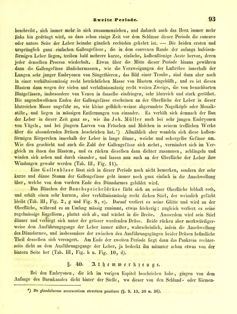 beschreibt, sich immer mehr in sich zusammenziehen, und dadurch auch das Herz immer mehr links hin gedrängt wird, so dass schon einige Zeit vor dem Schiasse dieser Periode die concave oder untere Seite der Leber beinahe gänzlich rechtshin gekehrt ist. — Die beiden ersten und ursprünglich ganz einfachen Gallengefässe, die in dem convexcn Rande der anfangs hufeisen- förmigen Leber liegen, treiben bald mehrere kurze, einfache, kolbenförmige Aeste hervor, deren jeder denselben Process wiederholt. Etwas über die Mitte dieser Periode hinaus gewähren dann die Gallengefässe ähnhchermassen, wie die Verzweigungen der Luftröhre innerhalb der Lungen sehr junger Embryonen von Säugethiercn, das Bild einer Traube, sind dann aber noch in einer verhältnissmässig recht beträchtlichen Masse von Blastem eingehüllt, und es ist dieses Blastem dann wegen der vielen und verhältnissmässig recht weilen Zweige, die von benachbarten Blutgefässen, insbesondere von Venen in dasselbe eindringen, sehr blutreich und stark geröthet. Die angeschwollenen Enden der Gallengefässe erscheinen an der Oberfläche der Leber in dieser blutreichen Masse ungefähr so, wie kleine gelblich-weisse abgerundete Nagelköpfe oder Mosaik- stifte , und liegen in mässigen Entfernungen von einander. Es verhält sich demnach der Bau der Leber in dieser Zeit ganz so, wie ihn Job. Müller auch bei sehr jungen Embryonen von Vögeln, und bei jüngern Larven von Fröschen und Molchen in seinem treffiichen Werke über die absondernden Drüsen beschrieben hat. *) Allmählich aber wandeln sich diese kolben- förmigen Körperchen innerhalb der Leber in lange dünne, weiche und ockergelbe Gcfässe um. Wie dies geschieht und auch die Zahl der Gallengefässe sich mehrt, vermindert sich im Ver- gleich zu ihnen das Blastem, und es rücken dieselben dann dichter zusammen, schlängeln und ■winden sich neben und durch einander, und lassen nun auch an der Oberfläche der Leber ihre Windungen gewahr werden (Tab. lU, Fig. 11). . i , ' , Eine Gallenblase lässt sich in dieser Periode noch nicht bemerken, sondern der sehr kurze und dünne Stamm der Gallengefässe geht immer noch ganz einfach in die Anschwellung über, welche von dem vordem Ende des Dünndarmes gebildet wird. Das Bläschen der Bauchspeicheldrüse färbt sich an seiner Oberfläche lebhaft roth, und erhält einen sehr kurzen, aber verhältnissmässig recht dicken Stiel, der w^eisslich gefärbt bleibt (Tab. III, Fig. 2, g und Fig. 8, e). Darauf verliert es seine Glätte und wird an der Oberfläche, während es an Umfang mässig zunimmt, etwas höckerig: zugleich verliert es seine regelmässige Kugelform, plattet sich ab, und wächst in die Breite. Ausserdem wird sein Stiel dünner und verbirgt sich unter der grösser werdenden Drüse. Beide rücken aber merkwürdiger- weise dem Ausführungsgange der Leber immer näher, wahrscheinlich, indem die Anschwellung des Dünndarmes, und insbesondere der zwischen den Ausführungsgängen beider Drüsen befindliche Theil desselben sich verengert. Am Ende der zweiten Periode hegt dann das Pankreas rcchter- seits dicht an dem Ausführungsgange der Leber, ja bedeckt ihn mitunter schon etwas von der hintern Seite her (Tab. III, Fig. h u. Fig. 10, d). §. 40. 21 t Ij e m f r k ? c H 0 f. Bei den Embryonen, die ich im vorigen Kapitel beschrieben habe, gingen von dem Anfange des Darmkanales dicht hinter der Stelle, wo dieser von den Sclilund- oder Kiemen- De glandularum secernenUum structura penitiore (§. 9. 13. 20 u. 26).
