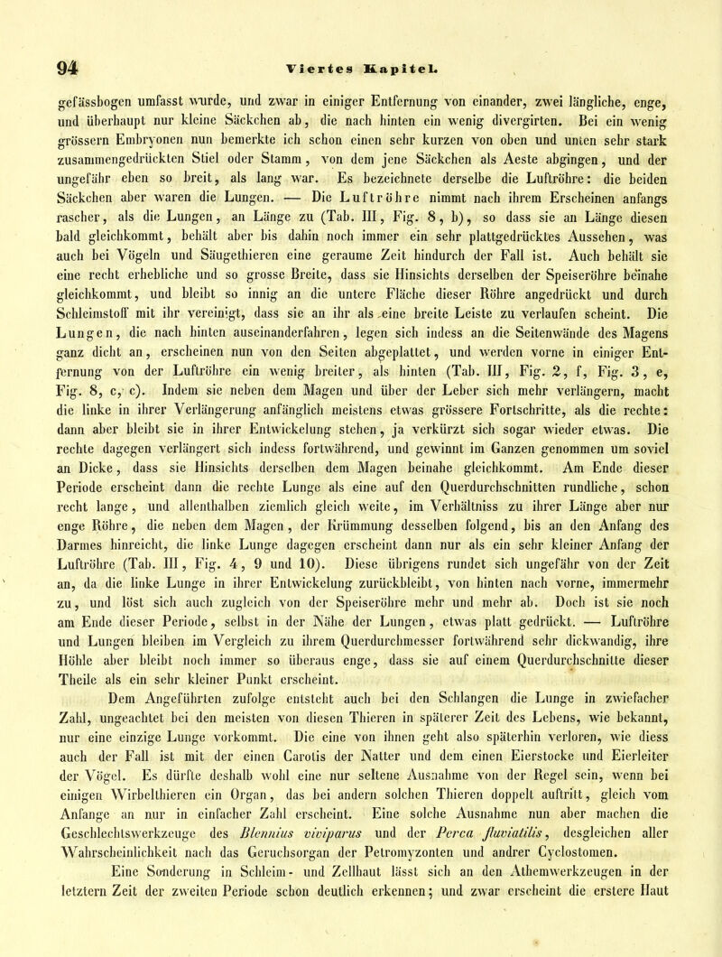 gefässbogen umfasst wurde, und zwar in einiger Entfernung von einander, zwei längliche, enge, und überhaupt nur kleine Säckchen ab, die nach hinten ein wenig divergirten. Bei ein wenig grössern Embryonen nun bemerkte ich schon einen sehr kurzen von oben und unten sehr stark zusammengedrückten Stiel oder Stamm, von dem jene Säckchen als Aeste abgingen, und der ungefähr eben so breit, als lang war. Es bezeichnete derselbe die Luftröhre: die beiden Säckchen aber waren die Lungen. — Die Luftröhre nimmt nach ihrem Erscheinen anfangs rascher, als die Lungen, an Länge zu (Tab. III, Fig. 8, b), so dass sie an Länge diesen bald gleichkommt, behält aber bis dahin noch immer ein sehr plattgedrücktes Aussehen, was auch bei Vögeln und Säugethieren eine geraume Zeit hindurch der Fall ist. Auch beblilt sie eine recht erhebliche und so grosse Breite, dass sie Hinsichts derselben der Speiseröhre bemahe gleichkommt, und bleibt so innig an die untere Fläche dieser Röhre angedrückt und durch Schleimstoff mit ihr vereinigt, dass sie an ihr als ,eine breite Leiste zu verlaufen scheint. Die Lungen, die nach hinten aaseinanderfahren, legen sich iudess an die Seitenwände des Magens ganz dicht an, erscheinen nun von den Seiten abgeplattet, und werden vorne in einiger Ent- fernung von der Luftröhre ein wenig breiter, als hinten (Tab. III, Fig. 2, f, Fig. 3, e, Fig. 8, c, c). Indem sie neben dem Magen und über der Leber sich mehr verlängern, macht die linke in ihrer Verlängerung anfänglich meistens etwas grössere Fortschritte, als die rechte: dann aber bleibt sie in ihrer Entwickelung stehen, ja verkürzt sich sogar wieder etwas. Die rechte dagegen verlängert sich indess fortwährend, und gewinnt im Ganzen genommen Um soviel an Dicke, dass sie Hinsichts derselben dem Magen beinahe gleichkommt. Am Ende dieser Periode erscheint dann die rechte Lunge als eine auf den Querdurchschnitten rundliche, schon recht lange , und allenthalben ziemlich gleich weite, im Verhältniss zu ihrer Länge aber nur enge Röhre, die neben dem Magen , der Krümmung desselben folgend, bis an den Anfang des Darmes hinreicht, die linke Lunge dagegen erscheint dann nur als ein sehr kleiner Anfang der Luftröhre (Tab. III, Fig. 4, 9 und 10). Diese übrigens rundet sich ungefähr von der Zeit an, da die linke Lunge in ihrer Entwickelung zurückbleibt, von hinten nach vorne, immermehr zu, und löst sich auch zugleich von der Speiseröhre mehr und mehr ab. Doch ist sie noch am Ende dieser Periode, selbst in der Nähe der Lungen, etwas platt gedrückt. — Luftröhre und Lungen bleiben im Vergleich zu ihrem Querdurchmesser fortwährend sehr dickwandig, ihre Höhle aber bleibt noch immer so überaus enge, dass sie auf einem Querdurcbschnilte dieser Theile als ein sehr kleiner Punkt erscheint. Dem Angeführten zufolge entsteht auch bei den Schlangen die Lunge in zwiefacher Zahl, ungeachtet bei den meisten von diesen Thicren in späterer Zeit des Lebens, wie bekannt, nur eine einzige Lunge vorkommt. Die eine von ihnen geht also späterhin verloren, wie diess auch der Fall ist mit der einen Carotis der Natter und dem einen Eierstocke und Eierleiter der Vögel. Es dürfte deshalb wohl eine nur seltene Ausnahrae von der Regel sein, wenn bei einigen Wirbelthieren ein Organ, das bei andern solchen Thieren doppelt auftritt, gleich vom Anfange an nur in einfacher Zahl erscheint. Eine solche Ausnahme nun aber machen die Geschlechtswerkzcuge des Blennius viviparus und der Pcrca ßuviatilis, desgleichen aller W^ahrscbeinlichkeit nach das Gerucbsorgan der Petromyzonten und andrer Cyclostomen. Eine Scnderung in Schleim- und Zellhaut lässt sich an den Athemwerkzeugen in der letztern Zeit der zweiten Periode schon deutlich erkennen; und zwar erscheint die erstere Haut