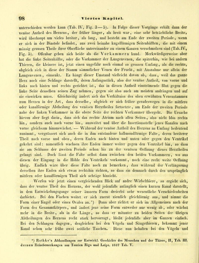 unterschieden werden kann (Tab. IV, Fi^. 3 — 5). In Folge dieser Vorgänge erhält dann der venöse Antheil des Herzens, der früher länger, als breit war, eine sehr beträchtliche Breite, wird überhaupt um vieles breiter, als lang, und besteht am Ende der zweiten Periode, wenn er sich in der Diastole befindet, aus zwei beinahe kugelförmigen Seitenhälften, die mit einem mässig grossen Theile ihrer Oberfläche untereinander zu einem Ganzen verschmolzen sind (Tab. IV, Fig. 5). Offenbar geben sich beide als die Vorkammern kund. Merkwürdigerweise aber hat die linke Seitenliälfte, oder die Vorkammer der Lungenvenen, die späterhin, wie bei andern Thieren, die kleinere ist, jetzt einen ungefähr noch einmal so grossen Umfang, als die rechte, obgleich sich in diese der Stamm sämmtlicher Venen der Frucht, mit Ausnahme nur allein der Lungenvenen, einsenkt. Es hängt dieser Umstand vielleicht davon ab, dass, weil das ganze Herz noch eine Schlinge darstellt, deren Anfangsstück, also der venöse Antheil, von vorne und links nach hinten und rechts gerichtet ist, das in diesen Antheil einströmende Blut gegen die linke Seite desselben seinen Zug nehmen, gegen sie also auch am meisten andrängen und auf sie einwirken muss. Gleichzeitig ändert sich das Verhältniss des oben erwähnten Venenstammes zum Herzen in der Art, dass derselbe , obgleich er sich früher geradesweges in die mittlere oder kanalförmige Abtheilung des venösen Herztheiles fortsetzte, am Ende der zweiten Periode nahe der linken Vorkammer in die obere Seite der rechten Vorkammer übergeht. Die Ursache bievon aber liegt darin, dass sich das rechte Atrium nach allen Seiten, also nicht blos rechts hin, sondern auch nach vorne hin, ausweitet und über die Insertionsstelle jenes Kanales nach vorne gleichsam hinauswächst. — Während der venöse Antheil des Herzens an Umfang bedeutend zunimmt, vergrössert sich auch die in ihm entstandene halbmondförmige Falte, deren breiterer Theil nach vorne und oben, deren Enden nach hinten und unten oder gegen den Ventrikel gekehrt sind: namentlich wachsen ihre Enden immer weiter gegen den Ventrikel hin, so dass sie am Schlüsse der zweiten Periode schon bis zu der venösen Oeffnung dieses Herztheiles gelangt sind. Doch lässt die Falte selbst dann zwischen den beiden Vorkammern, wo aus diesen der Eingang in die Höhle des Ventrikels vorkommt, noch eine recht weite Oeffnung übrig. Endlich wäre über diese Falte noch zu bemerken, dass während der Verlängerung derselben ihre Enden sich etwas rechtshin richten, so dass sie demnach durch den ursprünglich mittlem oder kanalförmigen Theil sich schräge hinzieht. Werfen wir jetzt einen vergleichenden Blick auf andre Wirbelthiere, so ergiebt sich, dass der venöse Theil des Herzens, der wohl jedenfalls anfänglich einen kurzen Kanal darstellt, in dem Entwickelungsgange seiner äussern Form dreierlei sehr wesentliche Verschiedenheiten darbietet. Bei den Fischen weitet er sich zuerst ziemlich gleichförmig aus, und nimmt die Form einer Kugel oder eines Ovales an. *) Dann aber richtet er sich im Allgemeinen nach der Form des Gesammtkörpers, und ändert jene seine Form entweder nur wenig ab , oder wächst mehr in die Breite, als in die Länge, so dass er mitunter zu beiden Seiten der übrigen Abtheilungen des Herzens recht stark hervorragt, bleibt jedenfalls aber im Ganzen einfach. Bei den Schlangen dagegen, desgleichen bei den Vögeln und Säugethieren, bekommt jener Kanal schon sehr frühe zwei seitliche Taschen. Diese nun behalten bei den Vögeln und *) Ratlike's Abhandlimg'en zur Entwickl. GescLicLte des Mensclien und der TLiere, II, Tab. III. dessen Reisebemerkungen aus Taurien Riga und Leipz, 1837 Tab. V.