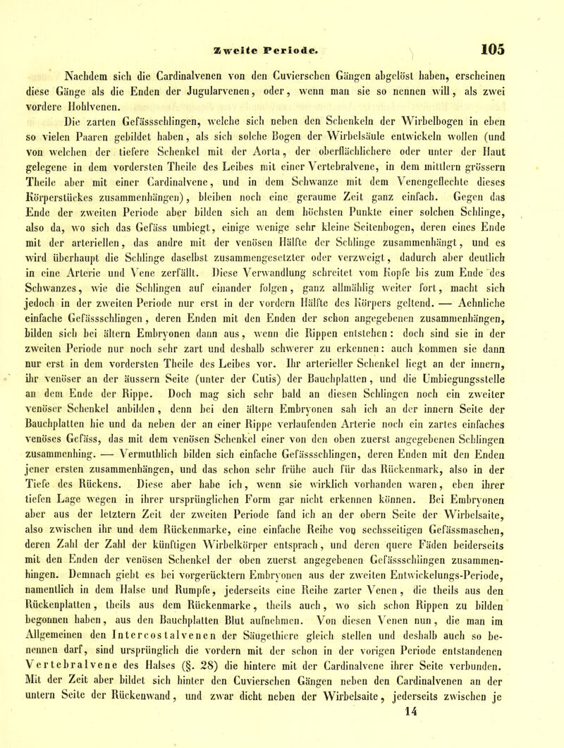 Nachdem sich die Cardinalvenen von den Cuvierschcn Gängen ahgelöst haben, erscheinen diese Gänge als die Enden der Jugularvenen, oder, wenn man sie so nennen will, als zwei vordere Hohlvenen, Die zarten Gefässschlingen, welche sich nehcn den Schenkeln der Wirbelbogen in eben so vielen Paaren gebildet haben, als sich solche Bogen der Wirbelsäule entwickeln wollen (und von welchen der tiefere Schenkel mit der Aorta, der oberflächlichere oder unter der Haut gelegene in dem vordersten Theile des Leibes mit einer Vertebralvene, in dem mittlem grössern Theile aber mit einer Cardinalvene, und in dem Schwänze mit dem Venengcllechte dieses Körperstückes zusammenhängen), bleiben noch eine geraume Zeit ganz einfach. Gegen das Ende der zweiten Periode aber bilden sich an dem höchsten Punkte einer solchen Schlinge, also da, wo sich das Gefäss umbiegt, einige wenige sehr kleine Seitenhogen, deren eines Ende mit der arteriellen, das andre mit der venösen Hälfte der Schlinge zusammenhängt, und es wird überhaupt die Schlinge daselbst zusammengesetzter oder verzweigt, dadurch aber deutlich in eine Arterie und Vene zerfällt. Diese Verwandlung schreitet vom Kopfe bis zum Ende des Schwanzes, wie die Schlingen auf einander folgen, ganz allmählig weiter fort, macht sich jedoch in der zweiten Periode nur erst in der vordem Hälfte des Körpers geltend. — Aehnlichc einfache Gefässschlingen , deren Enden mit den Enden der schon angegebenen zusammenhängen, bilden sich bei ältern Embryonen dann aus, wenn die Rippen entstehen: doch sind sie in der zweiten Periode nur noch sehr zart und deshalb schwerer zu erkennen: auch kommen sie dann nur erst in dem vordersten Theile des Leibes vor. Ihr arterieller Schenkel liegt an der Innern, ilir venöser an der äussern Seite (unter der Cutis) der Bauchplaltcn , und die Umbiegungsstelle an dem Ende der Rippe. Doch mag sich sehr bald an diesen Schlingen noch ein zweiter venöser Schenkel anbilden , denn bei den ältern Embryonen sah ich an der Innern Seite der Bauchplatten hie und da neben der an einer Rippe verlaufenden Arterie noch ein zartes einfaches venöses Gefäss, das mit dem venösen Schenkel einer von den oben zuerst angegebenen Schhngen zusammenhing. — Vermuthlich bilden sich einfache Gefässschlingen, deren Enden mit den Enden jener ersten zusammenhängen, und das schon sehr frühe auch für das Rückenmark, also in der Tiefe des Rückens. Diese aber habe ich, wenn sie wirklich vorhanden waren, eben ihrer tiefen Lage Avegen in ihrer ursprünglichen Form gar nicht erkennen können. Bei Embryonen aber aus der letztern Zeit der zweiten Periode fand ich an der obcrn Seite der Wirbelsaite, also zwischen ihr und dem Rückenmarke, eine einfache Reihe voij sechsseitigen Gefässmaschen, deren Zahl der Zahl der künftigen Wirbelkörper entsprach, und deren quere Fäden beiderseits mit den Enden der venösen Schenkel der oben zuerst angegebenen Gefässschlingen zusammen- hingen. Demnach giebt es bei vorgerücktem Embryonen aus der zweiten Entwickelungs-Pcriode, namentlich in dem Halse und Rumpfe, jederseits eine Reihe zarter Venen , die theils aus den Rückenplatten, theils aus dem Rückenmarke, theils auch, wo sich schon Rippen zu bilden begonnen haben, aus den Bauchplatten Blut aufnehmen. Von diesen Venen nun, die man im Allgemeinen den Intercos talvenen der Säugethicrc gleich stellen und deshalb auch so be- nemien darf, sind ursprünglich die vordem mit der schon in der vorigen Periode entstandenen Vertebralvene des Halses (§. 28) die hintere mit der Cardinalvene ihrer Seite verbunden. Mit der Zeit aber bildet sich hinter den Cuvierschen Gängen neben den Cardinalvenen an der untern Seite der Rückenwand, und zwar dicht neben der Wirbelsaite, jederseits zwischen je 14