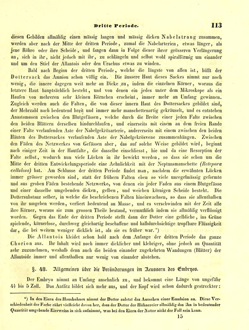diesen Gebilden allmählig einen massig langen und massig dicken Nabelstrang zusammen, werden aber nach der Mitte der dritten Periode, zumal die Nabclarterien, etwas länger, als jene Rohre oder ihre Scheide , und fangen dann in Folge dieser ihrer grösseren Verlängerung an, sich in ihr, nicht jedoch mit ihr, zu schlängeln und selbst wohl spiralförmig um einander und um den Stiel der Allantois oder den ürachus etwas zu winden. Bald nach Beginn der dritten Periode, welche die längste von allen ist, hüllt der Dottersack das Amnion schon völlig ein. Die äussere Haut dieses Sackes nimmt nur noch wenig, die innere dagegen weit mehr an Dicke zu, indem die einzelnen Körner, woraus die letztere Haut hauptsächlich bestellt, und von denen ein jedes unter dem Mikroskope als ein Haufen von mehreren sehr kleinen Körnchen erscheint, immer mehr an Umfang gewinnen. Zugleich w^erden auch die Falten, die von dieser innern Haut des Dottersackes gebildet sind, der Mehrzahl nach bedeutend breit und immer mehr manschettenartig gekräuselt, und es entstehen Anastomosen zwischen den Blulgefässen, welche durch die Breite einer jeden Falte zwischen den beiden Blattern derselben hindurchlaufen, und einerseits mit einem an dem freien Rande einer Falte verlaufenden Aste der Nabclgek'rösarterie, andererseits mit einem zwischen den beiden Häuten des Dottersackes verlaufenden Aste der Nabelgekrösvene zusammenhängen. Zwischen den Fäden des Netzwerkes von Gefässen aber, das auf solche Weise gebildet wird, beginnt nach einiger Zeit in der Hautfalle, die dasselbe einschliesst, hie und da eine Resorption der Falte selbst, wodurch nun viele Lücken in ihr bewirkt werden, so dass sie schon um die Mitte der dritten Entwickelungsperiode eine Aehnlichkcit mit der Neptunsmanschelle (Retcpora cellulosa) hat. Am Schlüsse der dritten Periode findet man, nachdem die erwähnten Lücken immer grösser geworden sind, statt der frühern Falten eben so viele unregelmässig geformte und aus groben Fäden bestehende Netzwerke, von denen ein jeder Faden auS' einem Blutgefässe und einer dasselbe umgebenden dicken, gelben, und weichen körnigen Scheide besteht. Die Dottersubstanz selber, in welche die beschriebenen Falten hineinwachsen, so dass sie allenthalben von ihr umgeben werden, verliert bedeutend an Masse, und es verschwinden mit der Zeit alle ihre Körner, woraus sie zum grossen Theile bestand, vermuthlich indem sie allmäblig verflüssigt worden. Gegen das Ende der dritten Periode stellt dann der Dotter eine gelbliche , ins Grüne spielende, körnerlose, durchweg gleichartig beschaffene und halbdurchsichlige tropfbare Flüssigkeit dar, die bei weitem weniger dicklich ist, als sie es früher war.*) Die Allantois kleidet schon bald nach dem Anfange der dritten Periode das ganze Chorion aus. Ihr Inhalt wird noch immer dicklicher und klebriger, ohne jedoch an Quantität sehr zuzunehmen, weshalb denn auch die beiden einander zugekehrten Wandungen (Blätter) der Allantoide immer und allenthalben nur wenig von einander absieben. §. 48. 2lUiCjcmcinf5 über öie Dernntierungm im 2leu0sern öes (Ümbrgos. Der Embryo nimmt an Umfang ansehnlich zu, und bekommt eine Länge von ungefähr 4t bis 5 Zoll. Das Antlitz bildet sich mehr aus, und der Kopf wird schon dadurch gestreckter: *) In den Eiern des HausLulines nimmt der Dotter zuletzt das Aussehen einer Emulsion an. Diese Ver- scLiedenlieit der Farbe rührt vielleicLt davon Ler, dass der Dotter der Hühnereier allmählig' das ihn in bedeutender Quantität umgebende Eierweiss in sich aufnimmt, was bei den Eiern der Natter nicht der Fall sein kann. 15