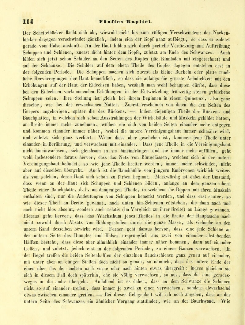 Der Scheitelliöcker flächt sich ab, wiewohl nicht bis zum voHigen Verschwinden: der Nacken- höcker dagegen verschwindet gänzlich, indem sich der Kopf ganz aufbiegt, so dass er zuletzt gerade vom Halse ausläuft. An der Haut bilden sich durch partielle Verdickung und Auftreibung Schuppen und Schienen, zuerst dicht hinter dem Kopfe, zuletzt am Ende des Schwanzes. Auch bilden sich jetzt schon Schilder an den Seiten des Kopfes (die Kinnladen mit eingerechnet) und auf der Schnauze. Die Schilder auf dem obern Theile des Kopfes dagegen entstehen erst in der folgenden Periode. Die Schuppen machen sich zuerst als kleine Buckeln oder platte rund- liche Hervorragungen der Haut bemerklich, so dass sie anfangs die grösste Aehnlichkeit mit den Erhöhungen auf der Haut der Eidechsen haben, weshalb man wohl behaupten dürfte, dass diese bei den Eidechsen vorkommenden Erhöhungen in der Enlwickelung frühzeitig stehen gebliebene Schuppen seien. Ihre Stellung ist gleich bei ihrem Beginnen in einem Quincunx, also ganz dieselbe, wie bei der erwachsenen Natter. Zuerst erscheinen von ihnen die den Seiten des Körpers angehörigen, später die des Rückens. — Indem diejenigen Theile der Rücken- und Baucliplatten, in welchen sich schon Ausstrahlungen der Wirbelsäule und Muskeln gebildet hatten, an Breite immer mehr zunehmen , wölben sie sich von beiden Seiten einander mehr entgegen und kommen einander immer näher, wobei die untere Vereinigungshaut immer schmäler wird, und zuletzt sich ganz verliert. Wenn diess aber geschehen ist, kommen jene Theile unter einander in Berührung, und verwachsen mit einander. Dass jene Theile in die Vereinigungshaut nicht hineinwachsen, sich gleichsam in sie hineindrängen und sie immer mehr anfüllen, geht wohl insbesondere daraus hervor, dass das Netz von Blutgefässen, welches sich in der untern Vereinigungshaut befindet, so wie jene Theile breiter werden, immer mehr schwindet, nicht aber auf dieselben übergeht. Auch ist die Bauchhöhle von jüngern Embryonen Avirklich weiter, als von ßolchen, deren Haut sich schon zu färben beginnt. Merkwürdig ist dabei der Umstand, dass wenn an der Haut sich Schuppen und Schienen bilden, anfangs an dem ganzen obern Theile einer Bauchplatte, d. h. an demjenigen Theile, in welchem die Rippen mit ihren Muskeln enthalten sind, nur die Andeutungen von Schuppen bemerkt werden, und dass erst später, so wie dieser Theil an Breite gewinnt, nach unten hin Schienen eitstehen, die dann nach und nach nicht blos absolut, sondern auch relativ (im Vergleich zu ihrer Breite) an Länge gewinnen. Hieraus geht hervor, dass das Wachsthum jenes Theiles in die Breite der Hauptsache nach nicht sowohl durch Absatz von Bildungsstoffen durch die ganze Masse, als vielmehr an den untern Rand desselben bewirkt wird. Ferner geht daraus hervor, dass eine jede Schiene an der untern Seite des Rumples und Halses ursprünglich aus zwei von einander abstehenden Hälften besteht, dass diese aber allmählich einander imme^' näher kommen, dann auf einander treffen, und zuletzt, jedoch erst in der folgenden Periode, zu einem Ganzen verwachsen. In der Regel treffen die beiden Seilenhälften der einzelnen Bauchschienen ganz genau auf einander, mit unter aber an einigen Stellen doch nicht so genau, so nämlich, dass das untere Ende der einen über das der andren nach vorne oder nach hinten etwas übergreift: indcss gleichen sie sich in diesem Fall doch späterhin, ehe sie völlig verwachsen, so aus, dass die eine gerades- weges in die andre übergeht. Auffallend ist es daher, dass an dem Schwänze die Schienen nicht so auf einander treifen, dass immer je zwei zu einer verwachsen, sondern abwechselnd etwas zwischen einander greifen. — Bei dieser Gelegenheit will ich noch angeben, dass an der untern Seite des Schwanzes ein ähnlicher Vorgang stattfindet, wie an der Bauchwand. Wie