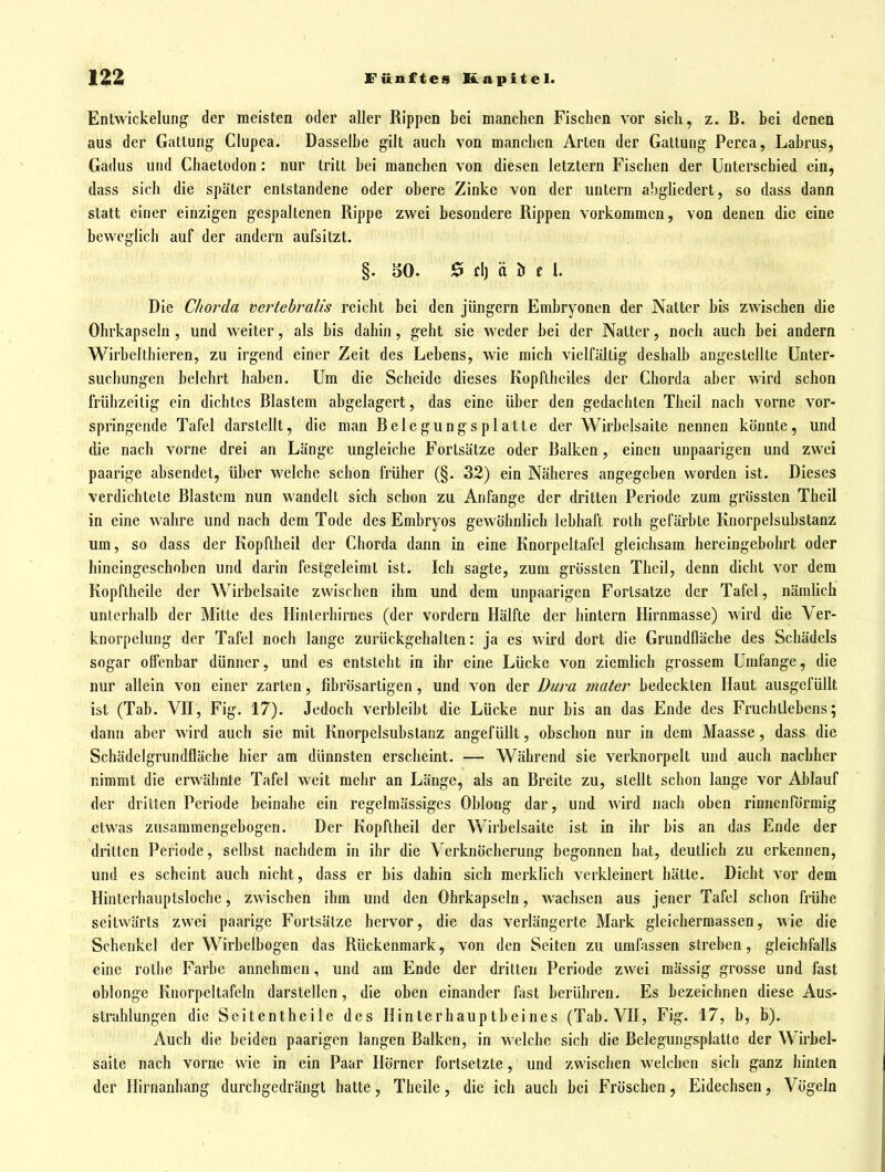 Entwickelung der meisten oder aller Rippen bei manchen Fischen vor sich, z. B. bei denen aus der Gattung Clupea. Dasselbe gilt auch von manchen Arten der Gattung Perca, Labrus, Gadus und Chaetodon: nur tritt bei manchen von diesen letztern Fischen der Unterschied ein, dass sich die später entstandene oder obere Zinke von der untern abgliedert, so dass dann statt einer einzigen gespaltenen Rippe zwei besondere Rippen vorkommen, von denen die eine beweglich auf der andern aufsitzt. §. 50. 0 Cl) ä ö f U Die Chorda vcrtehraUs reicht bei den Jüngern Embryonen der Natter bis zwischen die Ohrkapseln, und weiter, als bis dahin, geht sie weder bei der Natter, noch auch bei andern Wirbelthieren, zu irgend einer Zeit des Lebens, wie mich vielfältig deshalb angestellte Unter- suchungen belehrt haben. Um die Scheide dieses Kopflheiles der Chorda aber wird schon frühzeitig ein dichtes Blastem abgelagert, das eine über den gedachten Theil nach vorne vor- springende Tafel darstellt, die man Belegungsplatte der Wirbelsaite nennen könnte, und die nach vorne drei an Länge ungleiche Forlsätze oder Balken, einen unpaarigen und zwei paarige absendet, über welche schon früher (§. 32) ein Näheres angegeben worden ist. Dieses verdichtete Blastem nun wandelt sich schon zu Anfange der drillen Periode zum grössten Theil in eine wahre und nach dem Tode des Embryos gewöhnlich lebhaft roth gefärbte Knorpelsubstanz um, so dass der Kopflheil der Chorda dann in eine Knorpeltafel gleichsam hercingebohrt oder hineingeschoben und darin festgeleirat ist. Ich sagte, zum grössten Theil, denn dicht vor dem Kopflheile der Wirbelsaite zwischen ihm und dem unpaarigen Fortsatze der Tafel, nämlich unterhalb der Mitte des Hinterhirnes (der vordem Hälfte der hintern Hirnmasse) wird die Ver- knorpelung der Tafel noch lange zurückgehalten: Ja es wird dort die Grundfläche des Schädels sogar offenbar dünner, und es entsteht in ihr eine Lücke von ziemlich grossem Umfange, die nur allein von einer zarten, fibrösartigen, und von der Dura mater bedeckten Haut ausgefüllt ist (Tab. Vn, Fig. 17). Jedoch verbleibt die Lücke nur bis an das Ende des Fruchtlebens; dann aber wird auch sie mit Knorpelsubstanz angefüllt, obschon nur in dem Maasse, dass die Schädelgrundfläche hier am dünnsten erscheint. — Während sie verknorpelt und auch nachher nimmt die erwähnte Tafel weit mehr an Länge, als an Breite zu, steHt schon lange vor Ablauf der dritten Periode beinahe ein regelmässiges Oblong dar, und wird nach oben rinnenförmig etwas zusammengebogen. Der Kopflheil der Wirbelsaite ist in ihr bis an das Ende der dritten Periode, selbst nachdem in ihr die Verknöcherung begonnen hat, deutlich zu erkennen, und es scheint auch nicht, dass er bis dahin sich merklich verkleinert hätte. Dicht vor dem Hinterhauptsloche, zwischen ihm und den Ohrkapseln, wachsen aus Jener Tafel schon frühe seitwärts zwei paarige Fortsätze hervor, die das verlängerte Mark gleichermassen, wie die Schenkel der Wirbelbogen das Rückenmark, von den Seiten zu umfassen streben, gleichfalls eine rollie Farbe annehmen, und am Ende der drillen Periode zwei mässig grosse und fast oblonge Knorpeltafeln darstellen, die oben einander fast berühren. Es bezeichnen diese Aus- strahlungen die Seitentheile des Hinterhauptbeines (Tab.VH, Fig. 17, b, b). Auch die beiden paarigen langen Balken, in welche sich die Belegungsplatte der W^irbel- Saite nach vorne wie in ein Paar Horner fortsetzte, und zwischen welchen sich ganz hinten der Hirnanhang durchgedrängt hatte, Theile, die ich auch bei Fröschen, Eidechsen, Vögeln