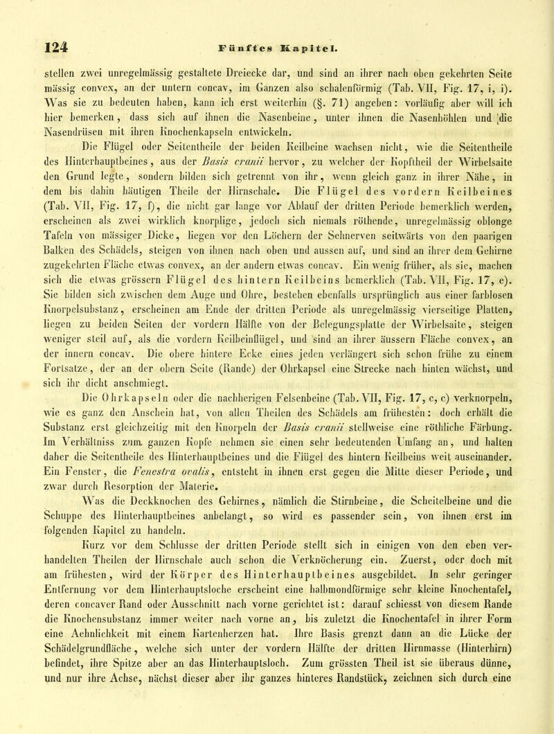 Stellen zwei unregelraässig gestaltete Dreiecke dar, und sind an ihrer nach oben gekehrten Seite massig convex, an der untern concav, im Ganzen also schalenförmig (Tab. VII, Fig. 17, i, i). Was sie zu bedeuten haben, kann ich erst weiterhin (§. 71) angeben: vorläufig aber will ich hier bemerken, dass sich auf ihnen die Nasenbeine, unter ihnen die Nasenhöhlen und [die Nasendrüsen mit ihren Knochenkapseln entwickeln. Die Flügel oder Seitentheile der beiden Keilbeine wachsen nicht, wie die Seitentheile des Hinterhauptbeines , aus der Basis cranii hervor, zu welcher der- Kopftheil der Wirbelsaite den Grund legte, sondern bilden sich getrennt von ihr, wenn gleich ganz in ihrer Nähe, in dem bis dahin häuligen Theile der Hirnschale. Die Flügel des vordem Keilbeines (Tab. VII, Fig. 17, f), die nicht gar lange vor Ablauf der dritten Periode bemerklich werden, erscheinen als zwei wirklich knorplige, jedoch sich niemals rölhende, unregelmässig oblonge Tafeln von massiger Dicke, liegen vor den Löchern der Sehnerven seitwärts von den paarigen Balken des Schädels, steigen von ihnen nach oben und aussen auf, und sind an ihrer dem Gehirne zugekehrten Fläche etwas convex, an der andern etwas concav. Ein wenig früher, als sie, machen sich die etwas grössern Flügel des hintern Keilbeins bemerklich (Tab. VI!, Fig. 17, e). Sie bilden sich zwischen dem Auge und Ohre, bestehen ebenfalls ursprünglich aus einer farblosen Knorpelsubstanz, erscheinen am Ende der dritten Periode als unregelmässig vierseitige Platten, liegen zu beiden Seiten der vordem Hälfte von der Bclegungsplatte der Wirbelsaite, steigen weniger steil auf, als die vordem Kcilbeinllügel, und sind an ihrer äussern Fläche convex, an der innern concav. Die obere hintere Ecke eines jeden verlängert sich schon frühe zu einem Fortsatze, der an der obern Seite (Piande) der Ohrkapsel eine Strecke nach hinten wächst, und sich ihr dicht anschmiegt. Die Ohrkapseln oder die nachherigen Felsenbeine (Tab. VII, Fig. 17, c, c) verknorpeln, wie es ganz den Anschein hat, von allen Theilen des Schädels am frühesten: doch erhält die Substanz erst gleichzeitig mit den Knorpeln der Basis cranii stellweise eine röthhche Färbung. Im Verhällniss zim ganzen Kopfe nehmen sie einen sehr bedeutenden Umfang an, und halten daher die Seitentheile des Hinterhauptbeines und die Flügel des hintern Keilbeins weit auseinander. Ein Fenster, die Fenestra ovalis, entsteht in ihnen erst gegen die Mitte dieser Periode, und zwar durch Resorption der Materie, Was die Deckknochen des Gehirnes, nämlich die Stirnbeine, die Scheitelbeine und die Schuppe des Hinterhauptbeines anbelangt, so wird es passender sein, von ihnen erst im folgenden Kapitel zu handeln. Kurz vor dem Schlüsse der dritten Periode stellt sich in einigen von den eben ver- handelten Theilen der Hirnschale auch schon die Verknöcherung ein. Zuerst, oder doch mit am frühesten, wird der Körper des Hinterhauptbeines ausgebildet. In sehr geringer Entfernung vor dem Hinterhauptsloche erscheint eine halbmondförmige sehr kleine Knochentafel, deren concaver Rand oder Ausschnitt nach vorne gerichtet ist: darauf schiesst von diesem Rande die Knochensubslanz immer weiter nach vorne an, bis zuletzt die Knochentafel in ihrer Form eine Aehnlichkeit mit einem Kartenherzen hat. Ihre Basis grenzt dann an die Lücke der Schädelgrundfläche, welche sich unter der vordem Hälfte der dritten Hirnmasse (Hinterhirn) befindet, ihre Spitze aber an das Hinterhauptsloch. Zum grössten Theil ist sie überaus dünne, und nur ihre Achse, nächst dieser aber ihr ganzes hinteres Randstück, zeichnen sich durch eine