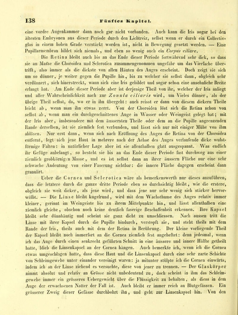 eine vordre Augenkammer dann noch gar nicht vorhanden. Auch kann die Iris sogar bei den ällesten Embryonen aus dieser Periode durch den Lichtreiz, selbst wenn er durch ein Collectiv- glas in einem hoben Grade verstärkt worden ist, nicht in Bewegung gesetzt werden. — Eine Pupillarmembran bildet sich niemals, und eben so wenig auch ein Corpus ciliare. Die Retina bleibt auch bis an das Ende dieser Periode fortwährend sehr dick, so dass sie an Mas*se die Choroidea und Sclcrotica zusammengenommen ungefähr um das Vierfache über- trifft, also immer als die dickste von allen Häuten des Auges erscheint. Doch zeigt sie sich um so dünner, je weiter gegen die Pupille hin, bis zu welcher sie selbst dann, obgleich sehr verdünnert, sich hinerstreckt, wann sich eine Iris gebildet und sogar schon eine ansehnliche Breite erlangt hat. Am Ende dieser Periode aber ist derjenige Theil von ihr, welcher der Iris anliegt und aller Wahrscheinlichkeit nach zur Zoniila ciliaris wird, um Vieles dünner, als der übrige Theil selbst, da, wo er in ihn übergeht: auch reisst er dann von diesem dickern Theile leicht ab, wenn man ihn etwas zerrt. Von der Choroidea löst sich die Retina schon von selbst ab , wenn man ein durchgeschnittenes Auge in Wasser oder Weingeist gelegt hat; mit der Iris aber, insbesondere mit dem äusscrslen Theile oder dem an die Pupille angrenzenden Rande derselben, ist sie ziemlich fest verbunden, und lässt sich nur mit einiger Mühe von ihm ablösen. Nur erst dann, wenn sich nach Eröffnung des Auges die Retina von der Choroidea entfernt, legt sich jene Haut in mehrere nach der Achse des Auges verlaufende dicke vvulst- förmigc Fallen: in natürlicher Lage aber ist sie allenlhalben glatt ausgespannt. Was endlich ihr Gefüge anbelangt, so besteht sie bis an das Ende dieser Periode fast durchweg aus einer ziemlich grobkörnigen Masse, und es ist selbst dann an ihrer äussern Fläche nur eine sehr schwache Andeutung von einer Faserung sichtbar; die innere Fläche dagegen erscheint dann granulirt. Uebcr die Cornea und Sclerotica wäre als bemerkenswerth nur dieses anzuführen, dass die letztere durch die ganze dritte Periode eben so durchsichtig bleibt, wie die erstere, obgleich sie weit dicker, als jene wird, und dass jene nur sehr wenig sich stärker hervor- wölbt. — Die Linse bleibt kugelrund, wird mit dem Wachslhunie des Auges relativ immer kleiner, gerinnt im Weingeiste bis zu ihrem Mittelpunkte hin, und lässt allenlhalben eine ziemlich gleiche, obscbon noch keine deutlich faserige Beschaffenheit erkennen. Ihre Kapsel bleibt sehr dünnhäutig und scheint sie ganz dicht zu umschliessen. Nach aussen tritt die Linse mit ihrer Kapsel durch die Pupille hindurch, verstopft sie, und steht theils mit dem Rande der Iris, theils auch mit dem der Retina in Berührung. Der kleine vorliegende Theil der Kapsel bleibt noch immerfort an die Cornea ziemlich fest angeheftet: denn jedesmal, wenn ich das Auge durch einen senkrecht geführten Schnitt in eine äussere und innere Hälfte getbeilt hatte, blieb die Linsenkapsel an der Cornea hängen. Auch bemerkte ich, wenn ich die Cornea etwas umgeschlagen hatte, dass diese Haut und die Linsenkapsel durch eine sehr zarte Schichte von Schleimgewcbe unter einander vereinigt waren: ja mitunter stülpte ich die Cornea einwärts, indem ich an der Linse ziehend es versuchte, diese von jener zu trennen. — Der Glaskörper nimmt absolut und relativ an Grösse nicht unbedeutend zu, doch scheint in ihm das Schleim- gewebe immer ein grösseres Uebergewicht über die Flüssigkeit zu behalten , als diess in dem Auge der erwachsenen Natter der Fall ist. Auch bleibt er immer reich an Blutgefässen. Ein grösserer Zweig dieser Gefässe durchbohrt ihn, und geht zur Linsenkapsel hin. Von den