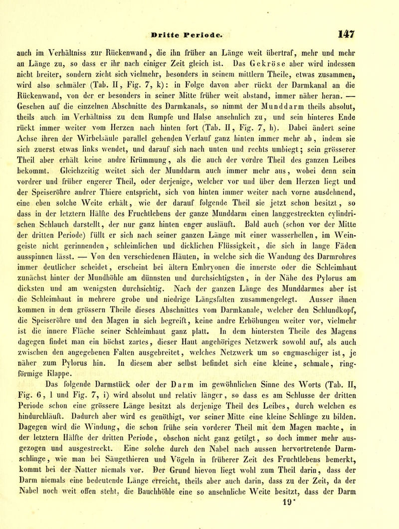 auch im Verhältniss zur Rückenwand, die ihn früher an Länge weit übertraf, mehr und mehr an Länge zu, so dass er ihr nach einiger Zeit gleich ist. Das Gekröse aber wird indessen nicht breiler, sondern zieht sich vielmehr, besonders in seinem mittlem Theile, etwas zusammen, wird also schmäler (Tab. II, Fig. 7, k): in Folge davon aber rückt der Darmkanal an die Rückenwand, von der er besonders in seiner Mitte früher weit abstand, immer näher heran. — Gesehen auf die einzelnen Abschnitte des Darmkanals, so nimmt der Munddarm theils absolut, theils auch im Verhältniss zu dem Rumpfe und Halse ansehnlich zu, und sein hinteres Ende rückt immer weiter vom Herzen nach hinten fort (Tab. II, Fig. 7, h). Dabei ändert seine Achse ihren der Wirbelsäule parallel gehenden Verlauf ganz hinten immer mehr ab, indem sie sich zuerst etwas links wendet, und darauf sich nach unten und rechts umbiegt; sein grösserer Theil aber erhält keine andre Krümmung, als die auch der vordre Theil des ganzen Leibes bekommt. Gleichzeitig weitet sich der Munddarm auch immer mehr aus, wobei denn sein vordrer und früher engerer Theil^ oder derjenige, welcher vor und über dem Herzen liegt und der Speiseröhre andrer Thiere entspricht, sich von hinten immer weiter nach vorne ausdehnend, eine eben solche Weite erhält, wie der darauf folgende Theil sie jetzt schon besitzt, so dass in der letztern Hälfte des Fruchtlebens der ganze Munddarm einen langgestreckten cylindri- schen Schlauch darstellt, der nur ganz hinten enger ausläuft. Bald auch (schon vor der Mitte der dritten Periode) füllt er sich nach seiner ganzen Länge mit einer wasserhellen, im Wein- geiste nicht gerinnenden, schleimlichen und dicklichen Flüssigkeit, die sich in lange Fäden ausspinnen lässt. — Von den verschiedenen Häuten, in welche sich die Wandung des Darmrohres immer deutlicher scheidet, erscheint bei ältern Embryonen die innerste oder die Schleimhaut zunächst hinter der Mundhöhle am dünnsten und durchsichtigsten, in der Nähe des Pylorus am dicksten und am wenigsten durchsichtig. Nach der ganzen Länge des Munddarmes aber ist die Schleimhaut in mehrere grobe und niedrige Längsfalten zusammengelegt. Ausser ihnen kommen in dem grössern Theile dieses Abschnittes vom Darmkanale, welcher den Schlundkopf, die Speiseröbre und den Magen in sich begreift, keine andre Erhöhungen weiter vor, vielmehr ist die innere Fläche seiner Schleimhaut ganz platt. In dem hintersten Theile des Magens dagegen findet man ein höchst zartes, dieser Haut angehöriges Netzwerk sowohl auf, als auch zwischen den angegebenen Falten ausgebreitet, welches Netzwerk um so engmaschiger ist, je näher zum Pylorus hin. In diesem aber selbst befindet sich eine kleine, schmale, ring- förmige Klappe. Das folgende Darmstück oder der Darm im gewöhnlichen Sinne des Worts (Tab. II, Fig. 6, 1 und Fig. 7, i) wird absolut und relativ länger, so dass es am Schlüsse der dritten Periode schon eine grössere Länge besitzt als derjenige Theil des Leibes, durch welchen es hindurchläuft. Dadurch aber wird es genöthigt, vor seiner Mitte eine kleine Schlinge zu bilden. Dagegen wird die Windung, die schon frühe sein vorderer Theil mit dem Magen machte, in der letztern Hälfte der dritten Periode, obschon nicht ganz getilgt, so doch immer mehr aus- gezogen und ausgestreckt. Eine solche durch den Nabel nach aussen hervortretende Darm- schlinge , wie man bei Säugelhieren und Vögeln in früherer Zeit des Fruchtlebens bemerkt, kommt bei der Natter niemals vor. Der Grund hievon liegt wohl zum Theil darin, dass der Darm niemals eine bedeutende Länge erreicht, theils aber auch darin, dass zu der Zeit, da der Nabel noch weit offen steht, die Bauchhöhle eine so ansehnfiche Weite besitzt, dass der Darm 10*