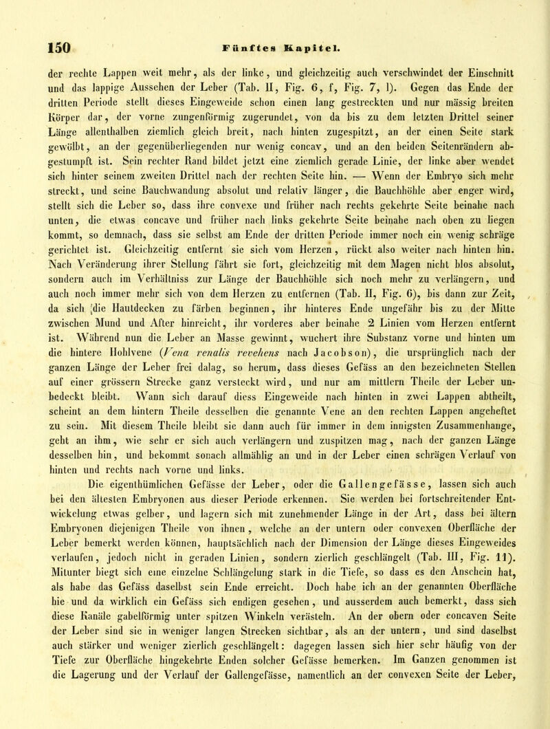 der rechte Lappen weit mehr, als der linke, und gleichzeitig auch verschwindet der Einschnitt und das lappige Aussehen der Leber (Tah. II, Fig. 6, f, Fig. 7, 1). Gegen das Ende der dritten Periode stellt dieses Eingeweide schon einen lang gestreckten und nur massig breiten Körper dar, der vorne zungenformig zugerundet, von da bis zu dem letzten Drittel seiner Länge allenthalben ziemlich gleich breit, nach hinten zugespitzt, an der einen Seite stark gewölbt, an der gegenüberliegenden nur wenig concav, und an den beiden Seitenrändern ab- gestumpft ist. Sein rechter Rand bildet jetzt eine ziemlich gerade Linie, der linke aber wendet sich hinter seinem zweiten Drittel nach der rechten Seite hin. — Wenn der Embryo sich mehr streckt, und seine Bauchwandung absolut und relativ länger, die Bauchhöhle aber enger wird, stellt sich die Leber so, dass ihre convexe und früher nach rechts gekehrte Seite beinahe nach unten, die etwas concave und früher nach links gekehrte Seite beinahe nach oben zu liegen kommt, so demnach, dass sie selbst am Ende der dritten Periode immer noch ein wenig schräge gerichtet ist. Gleichzeitig entfernt sie sich vom Herzen, rückt also weiter nach hinten hin. Nach Veränderung ihrer Stellung fährt sie fort, gleichzeitig mit dem Magen nicht blos absolut, sondern auch im Verhältniss zur Länge der Bauchhöhle sich noch mehr zu verlängern, und auch noch immer mehr sich von dem Herzen zu entfernen (Tab. H, Fig. 6), bis dann zur Zeit, da sich [die Hautdecken zu färben beginnen, ihr hinteres Ende ungefähr bis zu der Mitte zwischen Mund und After hinreicht, ihr vorderes aber beinahe 2 Linien vom Herzen entfernt ist. Während nun die Leber an Masse gewinnt, vvuchcrt ihre Substanz vorne und hinten um die hintere Hohlvene {Vena renalis revehens nach Jacobson), die ursprünglich nach der ganzen Länge der Leber frei dalag, so herum, dass dieses Gefäss an den bezeichneten Stellen auf einer grössern Strecke ganz versteckt wird, und nur am mittlem Theile der Leber un- bedeckt bleibt. Wann sich darauf diess Eingeweide nach hinten in zwei Lappen abtheilt, scheint an dem hintern Theile desselben die genannte Vene an den rechten Lappen angeheftet zu sein. Mit diesem Theile bleibt sie dann auch für immer in dem innigsten Zusammenhange, geht an ihm, wie sehr er sich auch verlängern und zuspitzen mag, nach der ganzen Länge desselben hin, und bekommt sonach allmählig an und in der Leber einen schrägen Verlauf von hinten und rechts nach vorne und links. Die eigenthümlichen Gefässe der Leber, oder die Galle n ge fä s s e , lassen sich auch bei den ältesten Embryonen aus dieser Periode erkennen. Sie werden bei fortschreitender Ent- wickelung etwas gelber, und lagern sich mit zunehmender Länge in der Art, dass bei ältern Embryonen diejenigen Theile von ihnen , welche an der untern oder convexen Oberfläche der Leber bemerkt werden können, hauptsächlich nach der Dimension der Länge dieses Eingeweides verlaufen, jedoch nicht in geraden Linien, sondern zierlich geschlängelt (Tab. HI, Fig. 11). Mitunter biegt sich eme einzelne Schlängelung stark in die Tiefe, so dass es den Anschein hat, als habe das Gefäss daselbst sein Ende erreicht. Doch habe ich an der genannten Oberfläche hie und da wirklich ein Gefäss sich endigen gesehen , und ausserdem auch bemerkt, dass sich diese Kanäle gabelförmig unter spitzen Winkeln verästeln. An der obern oder concaven Seite der Leber sind sie in weniger langen Strecken sichtbar, als an der untern, und sind daselbst auch stärker und weniger zierlich geschlängelt: dagegen lassen sich hier sehr häufig von der Tiefe zur Oberfläche hingekehrte Enden solcher Gefässe bemerken. Im Ganzen genommen ist die Lagerung und der Verlauf der Gallengefässe, namentlich an der convexen Seite der Leber,