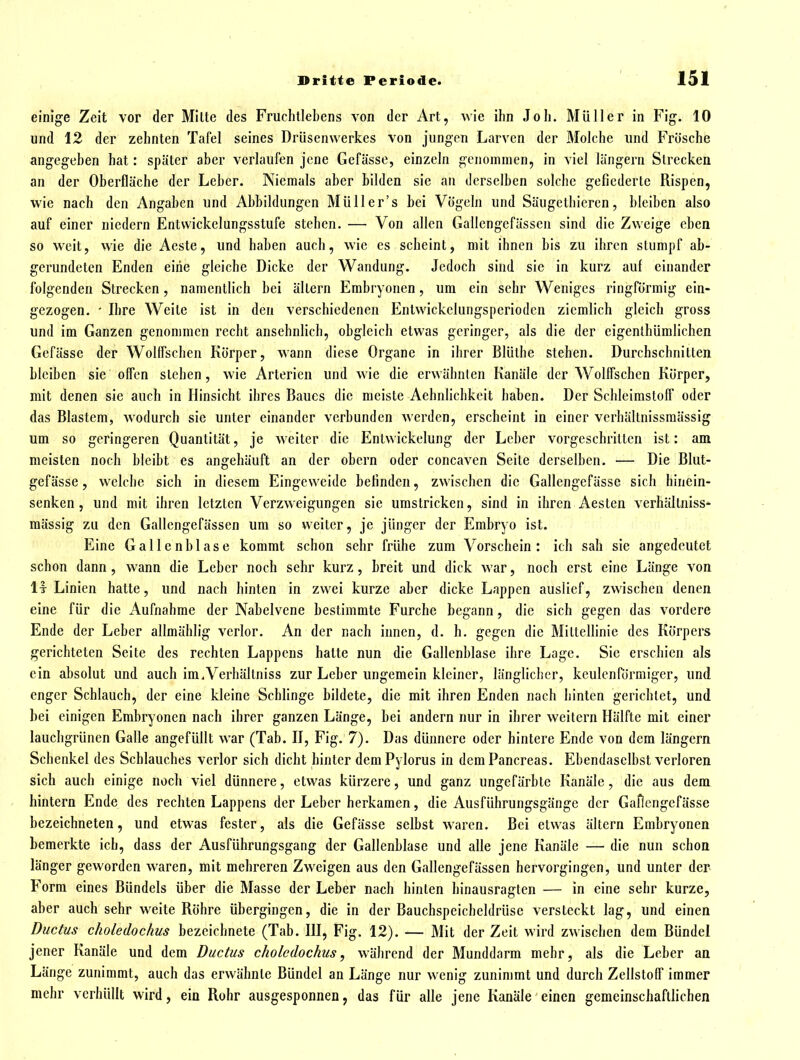 einige Zeit vor der Mitte des Fruchtlebens von der Art, wie ihn Joh. Müller in Fig. 10 und 12 der zehnten Tafel seines Drüsenwerkes von jungen Larven der Molche und Frösche angegeben hat: später aber verlaufen jene Gefässe, einzeln genommen, in viel längern Strecken an der Oberfläche der Leber. Niemals aber bilden sie an derselben solche gefiederte Rispen, wie nach den Angaben und Abbildungen Müller's bei Vögeln und Säugethicren, bleiben also auf einer niedern Entvvickelungsstufe stehen. — Von allen Gallengefässen sind die Zweige eben so w^eit, wie die Aeste, und haben auch, wie es scheint, mit ihnen bis zu ihren stumpf ab- gerundeten Enden eine gleiche Dicke der Wandung. Jedoch sind sie in kurz auf einander folgenden Strecken, namentlich bei altern Embryonen, um ein sehr Weniges ringförmig ein- gezogen. - Ihre Weite ist in den verschiedenen Entwickelungsperioden ziemlich gleich gross und im Ganzen genommen recht ansehnlich, obgleich etwas geringer, als die der eigenthümlichen Gefässe der Wollfschen Körper, wann diese Organe in ihrer Blülhe stehen. Durchschnitten bleiben sie offen stehen, wie Arterien und wie die erwähnten Kanäle der Wollfschen Körper, mit denen sie auch in Hinsicht ihres Baues die meiste Aehnlichkeit haben. Der Schleimstoff oder das Blastem, wodurch sie unter einander verbunden werden, erscheint in einer verhältnissmässig um so geringeren Quantität, je weiter die Entwickelung der Leber vorgeschritten ist: am meisten noch bleibt es angehäuft an der obern oder concaven Seite derselben. — Die Blut- gefässe , welche sich in diesem Eingeweide befinden, zwischen die Gallengefässe sich hinein- senken, und mit ihren letzten Verzweigungen sie umstricken, sind in ihren Aesten verhältniss- mässig zu den Gallengefässen um so weiter, je jünger der Embryo ist. Eine Gallenblase kommt schon sehr frühe zum Vorschein: ich sah sie angedeutet schon dann, wann die Leber noch sehr kurz, breit und dick war, noch erst eine Länge von 1t Linien hatte, und nach hinten in zwei kurze aber dicke Lappen auslief, zwischen denen eine für die Aufnahme der Nabelvene bestimmte Furche begann, die sich gegen das vordere Ende der Leber allmählig verlor. An der nach innen, d. h. gegen die Mittellinie des Körpers gerichteten Seite des rechten Lappens hatte nun die Gallenblase ihre Lage. Sie erschien als ein absolut und auch im.Verhältniss zur Leber ungemein kleiner, länglicher, keulenförmiger, und enger Schlauch, der eine kleine Schlinge bildete, die mit ihren Enden nach hinten gerichtet, und hei einigen Embryonen nach ihrer ganzen Länge, bei andern nur in ihrer weitern Hälfte mit einer lauchgrünen Galle angefüllt war (Tab. H, Fig. 7). Das dünnere oder hintere Ende von dem längern Schenkel des Schlauches verlor sich dicht hinter demPylorus in demPancreas. Ebendaselbst verloren sich auch einige noch viel dünnere, etwas kürzere, und ganz ungefärbte Kanäle, die aus dem hintern Ende des rechten Lappens der Leber herkamen, die Ausführungsgänge der Gaflengcfässe bezeichneten, und etwas fester, als die Gefässe selbst waren. Bei etwas ältern Embryonen bemerkte ich, dass der Ausführungsgang der Gallenblase und alle jene Kanäle — die nun schon länger geworden waren, mit mehreren Zweigen aus den Gallengefässen hervorgingen, und unter der Form eines Bündels über die Masse der Leber nach hinten hinausragten — in eine sehr kurze, aber auch sehr weite Röhre übergingen, die in der Bauchspeicheldrüse versteckt lag, und einen Ductus choledochus bezeichnete (Tab. HI, Fig. 12). — Mit der Zeit wird zwischen dem Bündel jener Kanäle und dem Ductus choledochus, während der Munddarm mehr, als die Leber an Länge zunimmt, auch das erwähnte Bündel an Länge nur wenig zunimmt und durch Zellstoff immer mehr verhüllt wird, ein Rohr ausgesponnen, das für alle jene Kanäle einen gemeinschaftlichen