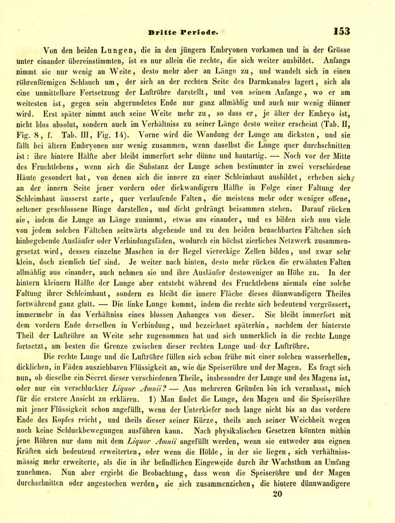 Von den beiden Lungen, die in den Jüngern Embryonen vorkamen und in der Grösse unter einander übereinstimmten, ist es nur allein die recbte, die sich weiter ausbildet. Anfangs nimmt sie nur wenig an Weite, desto mehr aber an Länge zu, und wandelt sich in einen röhrenförmigen Schlauch um, der sich an der rechten Seite des Darmkanales lagert, sich als eine unmittelbare Fortsetzung der Luftröhre darstellt, und von seinem Anfange, wo er am weitesten ist, gegen sein abgerundetes Ende nur ganz allmählig und auch nur wenig dünner wird. Erst später nimmt auch seine Weite mehr zu, so dass er, je älter der Embryo ist, nicht blos absolut, sondern auch im Verhältniss zu seiner Länge desto weiter erscheint (Tab. II, Fig. 8, f. Tab. III, Fig. 14). Vorne wird die Wandung der Lunge am dicksten, und sie fällt bei altern Embryonen nur wenig zusammen, wenn daselbst die Lunge quer durchschnitten ist: ihre hintere Hälfte aber bleibt immerfort sehr dünne und hautartig. — Noch vor der Milte des Fruchtlebens , wenn sich die Substanz der Lunge schon bestimmter in zwei verschiedene Häute gesondert hat, von denen sich die innere zu einer Schleimhaut ausbildet, erheben sich an der innern Seite jener vordem oder dickwandigem Hälfte in Folge einer Faltung der Schleimhaut äusserst zarte, quer verlaufende Falten, die meistens mehr oder weniger offene, seltener geschlossene Ringe darstellen, und dicht gedrängt beisammen stehen. Daraufrücken sie, indem die Lunge an Länge zunimmt, etwas aus einander, und es bilden sich nun viele von jedem solchen Fältchen seitwärts abgehende und zu den beiden benachbarten Fältchen sich hinbegebende Ausläufer oder Verbindungsfäden, wodurch ein höchst zierliches Netzwerk zusammen- gesetzt wird, dessen einzelne Maschen in der Regel viereckige Zellen bilden, und zwar sehr klein, doch ziemlich tief sind. Je weiter nach hinten, desto mehr rücken die erwähnten Falten allmählig aus einander, auch nehmen sie und ihre Ausläufer dcstoweniger an Höhe zu. In der hintern kleinern Hälfte der Lunge aber entsteht während des Fruchtlebens niemals eine solche Faltung ihrer Schleimhaut, sondern es bleibt die innere Fläche dieses dünnwandigem Theiles fortwährend ganz glatt. — Die linke Lunge kommt, indem die rechte sich bedeutend vergrössert, immermehr in das Verhältniss eines blossen Anhanges von dieser. Sie bleibt immerfort mit dem vordem Ende derselben in Verbindung, und bezeichnet späterhin, nachdem der hinterste Theil der Luftröhre an Weite sehr zugenommen hat und sich unmerklich in die rechte Lunge fortsetzt, am besten die Grenze zwischen dieser rechten Lunge und der Luftröhre. Die rechte Lunge und die Luftröhre füllen sich schon frühe mit einer solchen wasserhellen, dicklichen, in Fäden ausziehbaren Flüssigkeit an, wie die Speiseröhre und der Magen. Es fragt sich nun, ob dieselbe ein Sccret dieser verschiedenen Theile, insbesondre der Lunge und des Magens ist, oder nur ein verschluckter Liquor Amnii? — Aus mehreren Gründen bin ich veranlasst, mich für die erstere Ansicht zu erklären. 1) Man findet die Lunge, den Magen und die Speiseröhre mit jener Flüssigkeit schon angefüllt, wenn der Unterkiefer noch lange nicht bis an das vordere Ende des Kopfes reicht, und iheils dieser seiner Kürze, theils auch seiner Weichheit wegen noch keine Schluckbewegungen ausführen kann. Nach physikahschen Gesetzen könnten mithin jene Röhren nur dann mit dem Liquor Amnii angefüllt werden, wenn sie entweder aus eignen Kräften sich bedeutend erweiterten, oder wenn die Höhle, in der sie liegen, sich verhältniss- mässig mehr erweiterte, als die in ihr befindlichen Eingeweide durch ihr Wachsthum an Umfang zunehmen. Nun aber ergiebt die Beobachtung, dass wenn die Speiseröhre und der Magen durchschnitten oder angestochen werden, sie sich zusammenziehen, die hintere dünnwandigere 20