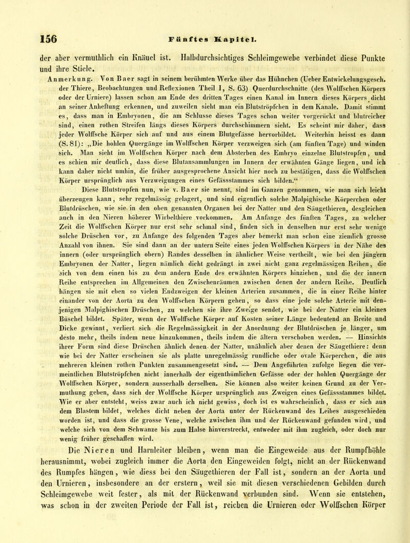 der aber vermuthlich ein Knäuel ist. Halbdurchsichtiges Schleimgewebe verbindet diese Punkte und ihre Stiele. Anmerkung-. VonBaer sngt in seinem berühmten Werke über das Hühnchen (üeber Enlwickelungsgesch. derThiere, Beobachtungen und Reflexionen Theil I, S. 63) Querdurchschnitte (des Wolffschen Körpers oder der ürniere) lassen schon am Ende des dritten Tages einen Kanal im Innern dieses Körpers dicht an seiner Anheftung erkennen, und zuweilen sieht man ein Blutströpfchen in dem Kanäle. Damit stimmt es, dass man in Embryonen, die am Schlüsse dieses Tages schon weiter vorgerückt und blutreicher sind, einen rothen Streifen längs dieses Körpers durchschimmern sieht. Es scheint mir daher, dass jeder WolfTsche Körper sich auf und aus einem Blutgefässe hervorbildet. Weiterhin heisst es dann (S. 81): „Die hohlen Quergünge im Wolffschen Körper verzweigen sich (am fünften Tage) und winden sich. Man sieht im Wolil'schen Körper nach dem Absterben des Embryo einzelne Blutstropfen, und es schien mir deutlich, dass diese Blufansammlungen im Innern der erwähnten Gänge liegen, und ich kann daher nicht umhin, die früher ausgesprochene Ansicht hier noch zu bestätigen, dass die Wolffschen Körper ursprünglich aus Verzweigungen eines Gefässstammes sich bilden. Diese Blutstropfen nun, wie v. Baer sie nennt, sind im Ganzen genommen, wie man sich leicht überzeugen kann, sehr regelmässig gelagert, und sind eigentlich solche Malpighische Körperchen oder BlutdrüscJien, wie sie in den oben genannten Organen bei der Natter und den Säugetliieren, desgleichen auch in den Nieren höherer Wirbellhiere vorkommen. Am Anfange des fünften Tages, zu welcher Zeit die Wolffschen Körper nur erst sehr schmal sind, finden sich in denselben nur erst sehr wenige solclie Drüschen vor, zu Anfange des folgenden Tages aber bemerkt man schon eine ziemlich grosse Anzahl von ihnen. Sie sind dann nn der untern Seite eines jeden Wolffschen Körpers in der Nähe des innern (oder ursprünglich obern) Randes desselben in ähnlicher Weise vertheilt, wie bei den jüngern Embryonen der Natter, liegen nämlich dicht gedrängt in zwei nicht ganz regelmässigen Reihen, die sich von dem einen bis zu dem andern Ende des erwähnten Körpers hinziehen, und die der innern Reihe entsprechen im Allgemeinen den Zwischenräumen zwischen denen der andern Reihe. Deutlich hängen sie mit eben so vielen Endzweigen der kleinen Arterien zusammen, die in einer Reihe hinter einander von der Aorta zu den Wolffschen Körpern gehen, so dass eine jede solche Arterie mit den- jenigen Malpighischen Drüschun, zu welchen sie ihre Zweige sendet, wie bei der Natter ein kleines Büschel bildet. Später, wenn der WolfTsche Körper auf Kosten seiner Länge bedeutend an Breite und Dicke gewinnt, verliert sich die Regelnlässigkeit in der Anordnung der Blutdrüschen je länger, um desto mehr, theils indem neue hinzukommen, theils indem die ältern verschoben werden. — Hinsichts ihrer Form sind diese Drüschen ähnlich denen-der Natter, unähnlich aber denen der Säugethiere: denn wie bei der Natter erscheinen sie als platte unregelmässig rundliche oder ovale Körperchen, die aus mehreren kleinen rothen Punkten zusammengesetzt sind. — Dem Angeführten zufolge liegen die ver- meintlichen Blutströpfchen nicht innerhalb der eigenthümlichen Gefässe oder der hohlen Quergänge der Wolffschen Körper, sondern ausserhalb derselben. Sie können also weiter keinen Grund zu der Ver- muthung geben, dass sich der Wolffsche Körper ursprünglich aus Zweigen eines Gefässstammes bildet. Wie er aber entsteht, weiss zwar auch ich nicht gewiss, doch ist es wahrscheinlich, dass er sich aus dem Blastem bildet, welches dicht neben der Aorta anter der Rückenwand des Leibes ausgeschieden worden ist, und dass die grosse Vene, welche zwischen ihm und der Rückenwand gefunden wird, und welche sich von dem Schwänze bis zum Halse hinverstreckt, entweder mit ihm zugleich, oder doch nur wenig früher geschaffen wird. Die Nieren und Harnleiter bleiben, wenn man die Eingeweide aus der Rurapfhöhle herausnimmt, wobei zugleich immer die Aorta den Eingeweiden folgt, nicht an der Rückenwand des Rumpfes hängen, wie diess bei den Säugethieren der Fall ist, sondern an der Aorta und den Urnieren, insbesondere an der erstem, weil sie mit diesen verschiedenen Gebilden durch Schleimgewebe weit fester, als mit der Rückenwand verbunden sind. Wenn sie entstehen, was schon in der zweiten Periode der Fall ist, reichen die Urnieren oder Wolffschen Körper