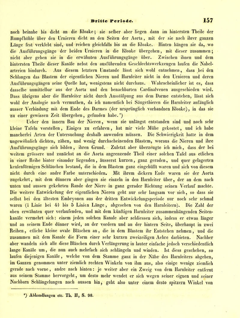 noch beinahe bis dicht an die Kloake; sie selber aber liegen dann im hintersten Theile der Rumpfhöble über den Urnieren dicht an den Seiten der Aorta, mit der sie nach ihrer ganzen Länge fest verklebt sind, und reichen gleichfalls bis an die Kloake. Hinten hängen sie da, wo die Ausführungsgänge der beiden Urnieren in die Kloake übergehen, mit dieser zusammen; nicht aber gehen sie in die erwähnten Ausführungsgänge über. Zwischen ihnen und dem hintersten Theile dieser Kanäle nebst den ausführenden Geschlechtswerkzeugen laufen die Nabel- arterien hindurch. Aus diesem letztern Umstände lässt sich wohl entnehmen, dass bei den Schlangen das Blastem der eigentlichen Nieren und Harnleiter nicht in den Urnieren und deren Ausführungsgängen seine Quelle bat, wenigstens nicht durchaus. Wahrscheinlicher ist es, dass dasselbe unmittelbar aus der Aorta und den benachbarten Cardinalvenen ausgeschieden wird. Dass übrigens aber die Harnleiter nicht durch Ausstülpung aus dem Darme entstehen, lässt sich wohl der Analogie nach verrauthen, da ich namentlich bei Säugelhiercn die Harnleiter anfänglich ausser Verbindung mit dem Ende des Darmes (der ursprünglich vorbandnen Kloake), in das sie zu einer gewissen Zeit übergehen, gefunden habe.*) Ueber den innern Bau der Nieren, wenn sie unlängst entstanden sind und noch sehr kleine Tafeln vorstellen. Einiges zu erfahren, hat mir viele Mühe gekostet, und ich habe mancherlei Arten der Untersuchung deshalb anwenden müssen. Die Schwierigkeit hatte in dem ungewöhnlich dichten, zähen, und wenig durchscheinenden Blastem, woraus die Nieren und ihre Ausführungsgänge sich bilden, ihren Grund. Zuletzt aber überzeugte ich mich, dass der bei weitem grössere und zunächst an die Aorta angrenzende Theil einer solchen Tafel aus etlichen in einer Reibe hinter einander liegenden, äusserst kurzen, ganz geraden, und quer gelagerten keulenförmigen Schläuchen bestand, die in dem Blastem ganz eingehüllt waren und sich von diesem nicht durch eine andre Farbe unterschieden. Mit ihrem dickern Ende waren sie der Aorta zugekehrt, mit dem dünnern aber gingen sie einzeln in den Harnleiter über, der an dem nach unten und aussen gekehrten Rande der Niere in ganz gerader Richtung seinen Verlauf machte. Die weitere Entwickclung der eigentlichen Nieren geht nur sehr langsam vor sich, so dass sie selbst bei den ältesten Embryonen aus der dritten Entvvickelungsperiode nur noch sehr schmal waren (I Linie bei 4t bis 5 Linien Länge, abgesehen von den Harnleitern). Die Zahl der oben erwähnten quer verlaufenden, und mit dem künftigen Harnleiter zusammenhängenden Seiten- kanäle vermehrt sich: einem jeden solchen Kanäle aber schliessen sich, indess er etwas länger und an seinem Ende dünner wird, an der vordem und an der hintern Seite, überhaupt in zwei Reihen, etliche kleine ovale Bläschen an, die in dem Blastem ihr Entstehen nehmen, und die zusammen mit dem Kanäle die Form einer sehr kurzen zweizeiligen Aehre darbieten. Nachher aber wandeln sich alle diese Bläschen durch Verlängerung in lauter einfache jedoch verschiedentlich lange Kanäle um, die nun auch mehrfach sich schlängeln und winden. Ist dicss geschehen, so laufen diejenigen Kanäle, welche von dem Stamme ganz in der Nähe des Harnleiters abgehen, im Ganzen genommen unter ziemlich rechten Winkeln von ihm aus, also einige wenige ziemlich gerade nach vorne, andre nach hinten : je weiter aber ein Zweig von dem Harnleiter entfernt aus seinem Stamme hervorgeht, um desto mehr wendet er sich wegen seiner eignen und seiner Nachbarn Schlängelungen nach aussen hin, geht also unter einem desto spitzem Winkel von *) Abhandlungen etc. TL. II, S. 98.