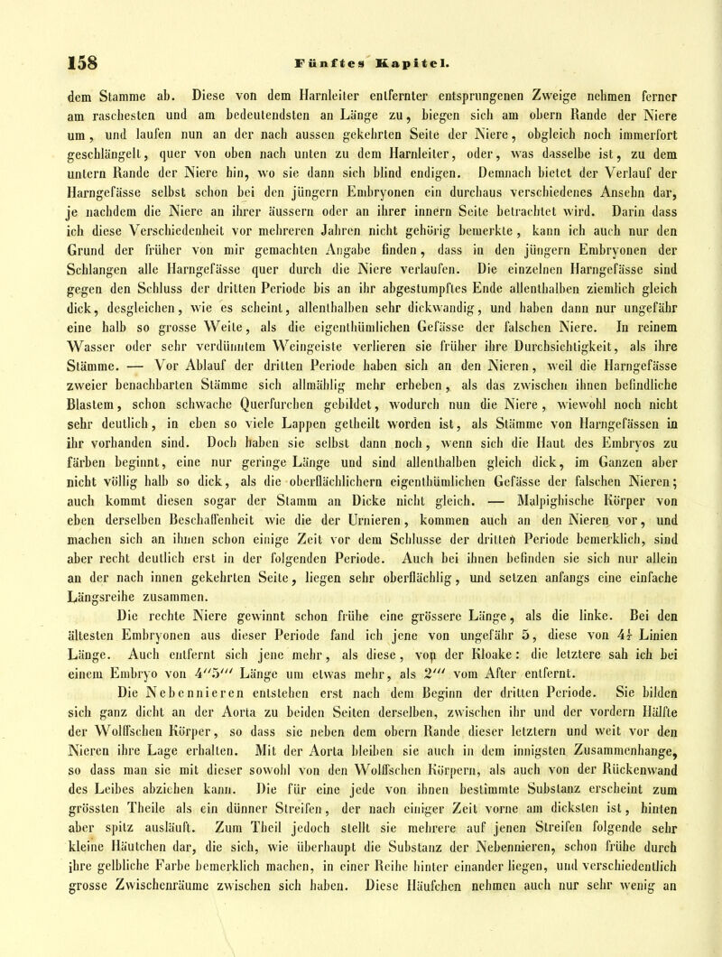 dem Stamme ab. Diese von dem Harnleiter entfernter entsprungenen Zweige nehmen ferner am raschesten und am bedeutendsten an Länge zu, biegen sich am obern Rande der Niere um , und laufen nun an der nach aussen gekehrten Seite der Niere, obgleich noch immerfort geschlängelt, quer von oben nach unten zu dem Harnleiter, oder, was dasselbe ist, zu dem untern Rande der Niere hin, wo sie dann sich blind endigen. Demnach bietet der Verlauf der Harngefässe selbst schon bei den Jüngern Embryonen ein durchaus verschiedenes Ansehn dar, je nachdem die Niere an ihrer äussern oder an ihrer innern Seite betrachtet wird. Darin dass ich diese Verschiedenheit vor mehreren Jahren nicht gehörig bemerkte , kann ich auch nur den Grund der früher von mir gemachten Angabe finden, dass in den jüngern Embryonen der Schlangen alle Harngefässe quer durch die Niere verlaufen. Die einzelnen Harngefässe sind gegen den Schluss der dritten Periode bis an ihr abgestumpftes Ende allenthalben ziemlich gleich dick, desgleichen, wie es scheint, allenthalben sehr dickwandig, und haben dann nur ungefähr eine halb so grosse Weite, als die eigenlhUmlichen Gefässe der falschen Niere. In reinem Wasser oder sehr verdünntem Weingeiste verlieren sie früher ihre Durchsichtigkeit, als ihre Stämme. — Vor Ablauf der dritten Periode haben sich an den Nieren, weil die Harngefässe zweier benachbarten Stämme sich allmählig mehr erheben, als das zwischen ihnen befindliche Blastem, schon schwache Querfurchen gebildet, wodurch nun die Niere , wiewohl noch nicht sehr deutlich, in eben so viele Lappen getheilt worden ist, als Stämme von Harngefässen in ihr vorhanden sind. Doch haben sie selbst dann noch, wenn sich die Haut des Embryos zu färben beginnt, eine nur geringe Länge und sind allenthalben gleich dick, im Ganzen aber nicht völlig halb so dick, als die oberflächlichem eigenthümlichen Gefässe der falschen Nieren; auch kommt diesen sogar der Stamm an Dicke nicht gleich. — Malpigbische Körper von eben derselben Beschaffenheit wie die der Urnieren, kommen auch an den Nieren vor, und machen sich an ihnen schon einige Zeit vor dem Schlüsse der dritten Periode bemerklich, sind aber recht deutlich erst in der folgenden Periode. Auch bei ihnen befinden sie sich nur allein an der nach innen gekehrten Seite, liegen sehr oberflächlig, und setzen anfangs eine einfache Längsreihe zusammen. Die rechte Niere gewinnt schon frühe eine grössere Länge, als die linke. Bei den ältesten Embryonen aus dieser Periode fand ich jene von ungefähr 5, diese von At Linien Länge. Auch entfernt sich jene mehr, als diese, vop der Kloake: die letztere sah ich bei einem Embryo von 4.5' Länge um etwas mehr, als 2''' vom After entfernt. Die Nebennieren entstehen erst nach dem Beginn der dritten Periode. Sie bilden sich ganz dicht an der Aorta zu beiden Seiten derselben, zwischen ihr und der vordem Hälfte der Wolffschen Körper, so dass sie neben dem obern Rande dieser letztern und weit vor den Nieren ihre Lage erhalten. Mit der Aorta bleiben sie auch in dem innigsten Zusammenhange, so dass man sie mit dieser sowohl von den Wolffschen Körpern, als auch von der Rückenwand des Leibes abziehen kann. Die für eine jede von ihnen bestimmte Substanz erscheint zum grössten Theile als ein dünner Streifen, der nach einiger Zeit vorne am dicksten ist, hinten aber spitz ausläuft. Zum Theil jedoch stellt sie mehrere auf jenen Streifen folgende sehr kleine Häutchen dar, die sich, wie überhaupt die Substanz der Nebennieren, schon frühe durch ihre gelbliche Farbe bemerklich machen, in einer Reihe hinter einander liegen, und verschiedentlich grosse Zwischenräume zwischen sich haben. Diese Häufchen nehmen auch nur sehr wenig an