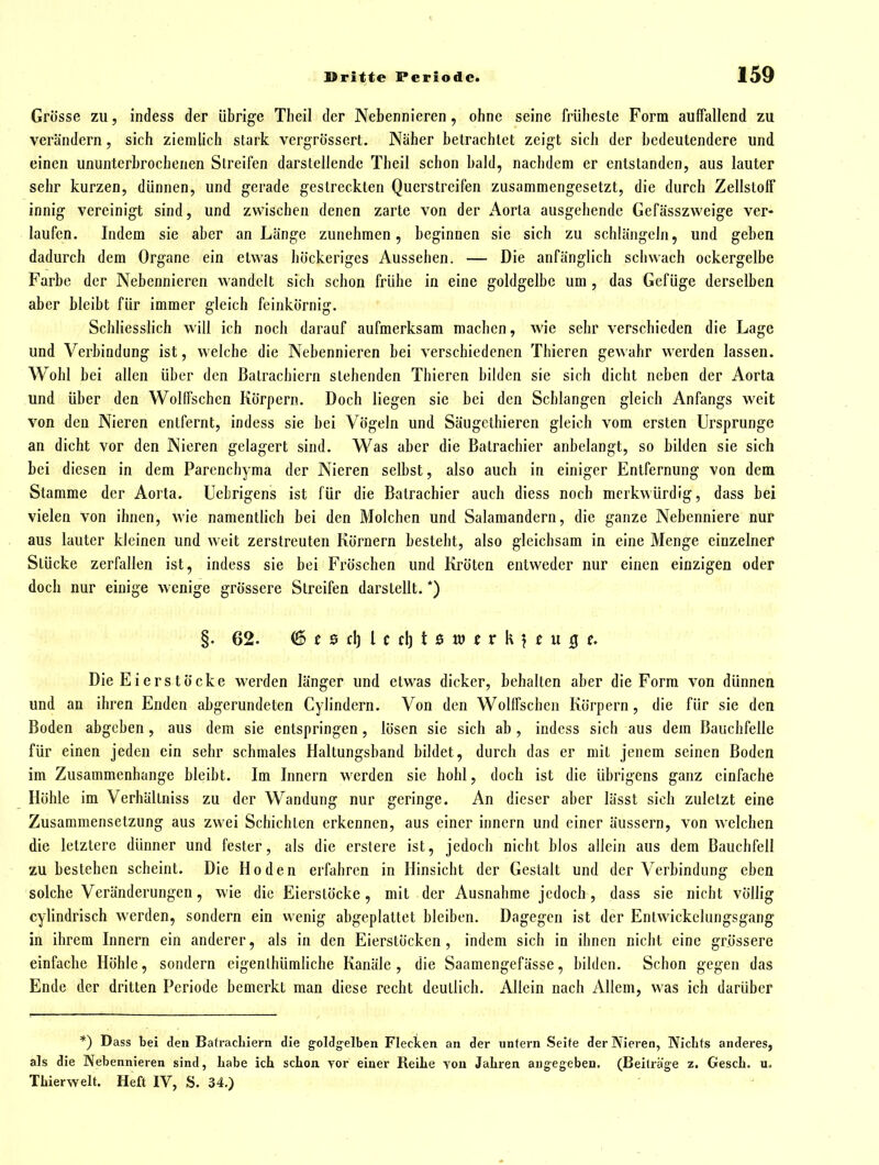 Grösse zu, indess der übrige Tlieil der Nebennieren, ohne seine früheste Form auffallend zu verändern, sich ziemlich stark vergrösscrl. Naher betrachtet zeigt sich der bedeutendere und einen ununterbrochenen Streifen darstellende Theil schon bald, nachdem er entstanden, aus lauter sehr kurzen, dünnen, und gerade gestreckten Querstreifen zusammengesetzt, die durch Zellstoff innig vereinigt sind, und zwischen denen zarte von der Aorta ausgeliendc Gefässzweige ver- laufen. Indem sie aber an Länge zunehmen, beginnen sie sich zu schlängeln, und geben dadurch dem Organe ein etwas höckeriges Aussehen. — Die anfänglich schwach ockergelbe Farbe der Nebennieren wandelt sich schon frühe in eine goldgelbe um , das Gefüge derselben aber bleibt für immer gleich feinkörnig. Schliesslich will ich noch darauf aufmerksam machen, wie sehr verschieden die Lage und Verbindung ist, welche die Nebennieren bei verschiedenen Thieren gewahr werden lassen. Wohl bei allen über den Batrachiern stehenden Thieren bilden sie sich dicht neben der Aorta und über den Wollfschen Körpern. Doch liegen sie bei den Schlangen gleich Anfangs weit von den Nieren entfernt, indess sie bei Vögeln und Säugethieren gleich vom ersten Ursprünge an dicht vor den Nieren gelagert sind. Was aber die Batrachier anbelangt, so bilden sie sich bei diesen in dem Parcnchyma der Nieren selbst, also auch in einiger Entfernung von dem Stamme der Aorta. Uebrigens ist für die Batrachier auch diess noch merkwürdig, dass bei vielen von ihnen, wie namentlich bei den Molchen und Salamandern, die ganze Nebenniere nur aus lauter kleinen und weit zerstreuten Körnern besteht, also gleichsam in eine Menge einzelner Stücke zerfallen ist, indess sie bei Fröschen und Kröten entweder nur einen einzigen oder doch nur einige wenige grössere Streifen darstellt. *) §. 62. ^ c 0 cl) 1 c cl) t 0 w f r k c u 3 f. Die Eierstöcke werden länger und etwas dicker, behalten aber die Form von dünnen und an ihren Enden abgerundeten Cylindern. Von den Wollfschen Körpern, die für sie den Boden abgeben, aus dem sie entspringen, lösen sie sich ab , indess sich aus dem Bauchfelle für einen jeden ein sehr schmales Haltungsband bildet, durch das er mit jenem seinen Boden im Zusammenhange bleibt. Im Innern werden sie hohl, doch ist die übrigens ganz einfache Höhle im Verhältniss zu der Wandung nur geringe. An dieser aber lässt sich zuletzt eine Zusammensetzung aus zwei Schichten erkennen, aus einer Innern und einer äussern, von welchen die letztere dünner und fester, als die erstere ist, jedoch nicht blos allein aus dem Bauchfell zu bestehen scheint. Die Hoden erfahren in Hinsicht der Gestalt und der Verbindung eben solche Veränderungen, wie die Eierstöcke, mit der Ausnahme jedoch, dass sie nicht völlig cylindrisch werden, sondern ein wenig abgeplattet bleiben. Dagegen ist der Entwickelungsgang in ihrem Innern ein anderer, als in den Eierstöcken, indem sich in ihnen nicht eine grössere einfache Höhle, sondern eigenlhümliche Kanäle, die Saamengefässe, bilden. Schon gegen das Ende der dritten Periode bemerkt man diese recht deutlich. Allein nach Allem, was ich darüber *) Dass bei den BatracLiern die goldgelben Flecken an der untern Seite der Nieren, Nichts anderes, als die Nebennieren sind, Labe ich schon vor einer ReiLe you JaLren augegeben, (Beiträge z. GescL. u. Thierwelt. Heft IV, S. 34.)