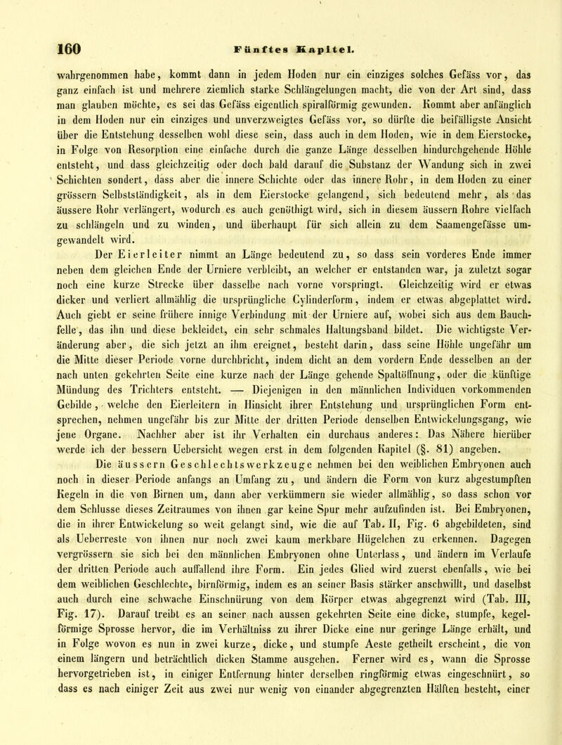 wahrgenommen habe, kommt dann in jedem Hoden nur ein einziges solches Gefäss vor, das ganz einfach ist und mehrere ziemlich starke Schlängelungen macht, die von der Art sind, dass man glauben möchte, es sei das Gefäss eigentlich spiralförmig gewunden. Kommt aber anfänglich in dem Hoden nur ein einziges und unverzweigtes Gefäss vor, so dürfte die beifälligste Ansicht über die Entstehung desselben wohl diese sein, dass auch in dem Hoden, wie in dem Eierstocke, in Folge von Resorption eine einfache durch die ganze Länge desselben hindurchgehende Höhle entsteht, und dass gleichzeitig oder doch bald darauf die Substanz der Wandung sich in zwei ' Schichten sondert, dass aber die innere Schichte oder das innere Rohr, in dem Hoden zu einer grössern Selbstständigkeit, als in dem Eierstocke gelangend, sich bedeutend mehr, als das äussere Rohr verlängert, wodurch es auch genölhigt wird, sich in diesem äussern Rohre vielfach zu schlängeln und zu winden, und überhaupt für sich allein zu dem Saamengefässe um- gewandelt wird. Der Eierleiter nimmt an Länge bedeutend zu, so dass sein vorderes Ende immer neben dem gleichen Ende der Urniere verbleibt, an welcher er entstanden war, ja zuletzt sogar noch eine kurze Strecke über dasselbe nach vorne vorspringt. Gleichzeitig wird er etwas dicker und verliert allmählig die ursprüngliche Cylinderform, indem er etwas abgeplattet wird. Auch giebt er seine frühere innige Verbindung mit der Ürniere auf, wobei sich aus dem Bauch- felle , das ihn und diese bekleidet, ein sehr schmales Haltungsband bildet. Die wichtigste Ver- änderung aber, die sich jetzt an ihm ereignet, besteht darin, dass seine Höhle ungefähr um die Mitte dieser Periode vorne durchbricht, indem dicht an dem vordem Ende desselben an der nach unten gekehrten Seite eine kurze nach der Länge gehende Spaltöffnung, oder die künftige Mündung des Trichters entsteht. — Diejenigen in den männlichen Individuen vorkommenden Gebilde, welche den Eierleitern in Hinsicht ihrer Entstehung und ursprünglichen Form ent- sprechen, nehmen ungefähr bis zur Mitte der dritten Periode denselben Entwickelungsgang, wie jene Organe. Nachher aber ist ihr Verhalten ein durchaus anderes: Das Nähere hierüber werde ich der bessern üebersicht wegen erst in dem folgenden Kapitel (§. 81) angeben. Die äussern Geschlechtswerkzeuge nehmen bei den wejbhchen Embryonen auch noch in dieser Periode anfangs an Umfang zu, und ändern die Form von kurz abgestumpften Kegeln in die von Birnen um, dann aber verkümmern sie wieder allmähhg, so dass schon vor dem Schlüsse dieses Zeitraumes von ihnen gar keine Spur mehr aufzufinden ist. Bei Embryonen, die in ihrer Entwickelung so weit gelangt sind, wie die auf Tab* H, Fig. 6 abgebildeten, sind als Ueberreste von ihnen nur noch zwei kaum merkbare Hügelchen zu erkennen. Dagegen vergrössern sie sich bei den männlichen Embryonen ohne Unterlass, und ändern im Verlaufe der dritten Periode auch aufftillend ihre Form. Ein jedes Glied wird zuerst ebenfalls, wie bei dem weiblichen Geschlechtc, birnförmig, indem es an seiner Basis stärker anschwillt, und daselbst auch durch eine schwache Einschnürung von dem Körper etwas abgegrenzt wird (Tab. HI, Fig. 17). Darauf treibt es an seiner nach aussen gekehrten Seite eine dicke, stumpfe, kegel- förmige Sprosse hervor, die im Verhältniss zu ihrer Dicke eine nur geringe Länge erhält, und in Folge wovon es nun in zwei kurze, dicke, und stumpfe Aeste getheilt erscheint, die von einem längern und beträchtlich dicken Stamme ausgehen. Ferner wird es, wann die Sprosse hervorgetrieben ist, in einiger Entfernung hinter derselben ringförmig etwas eingeschnürt, so dass es nach einiger Zeit aus zwei nur wenig von einander abgegrenzten Hälften besteht, einer