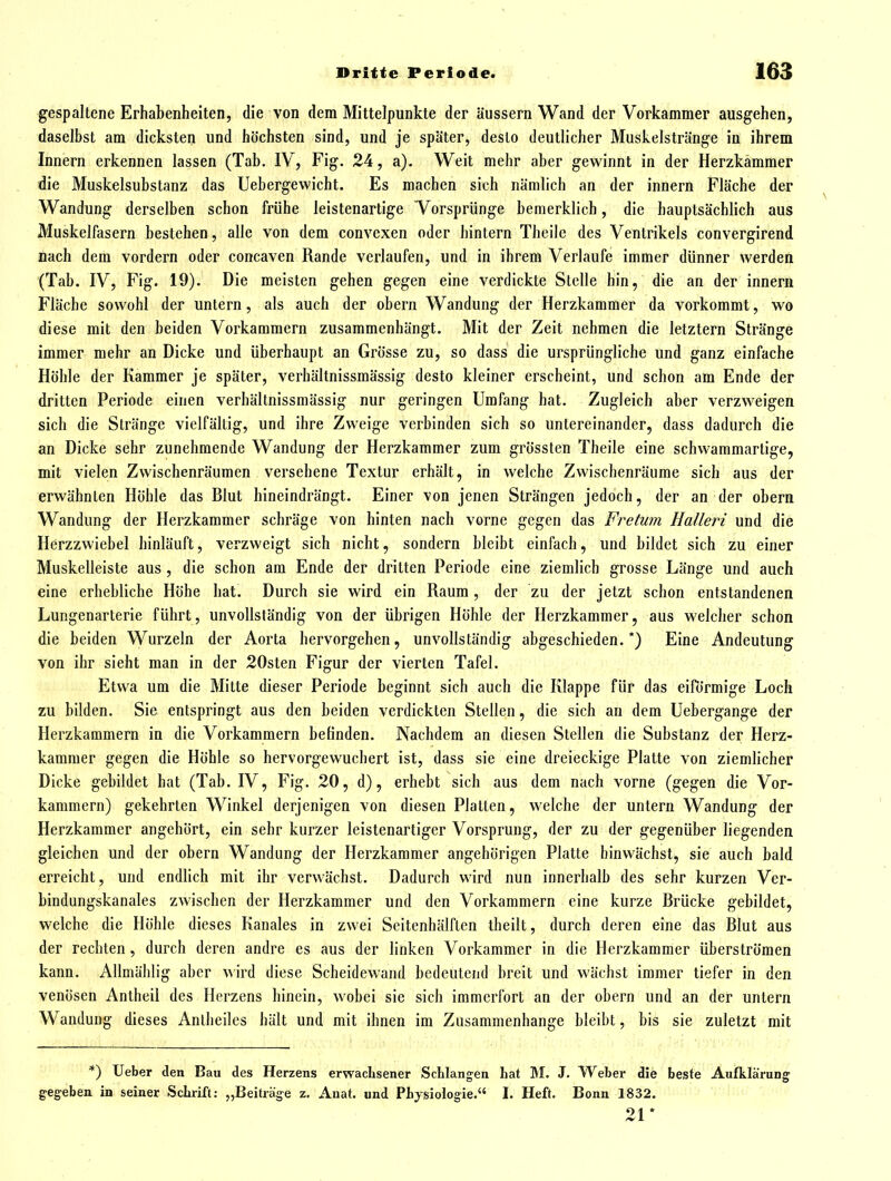 gespaltene Erhabenheiten, die von dem Mittelpunkte der äussern Wand der Vorkammer ausgehen, daselbst am dicksten und höchsten sind, und je später, desto deutlicher Muskelstränge in ihrem Innern erkennen lassen (Tab. IV, Fig. 24, a). Weit mehr aber gewinnt in der Herzkammer die Muskelsubstanz das Uebergewicht. Es machen sich nämlich an der innern Fläche der Wandung derselben schon frühe leistenartige Vorsprünge hemerklich, die hauptsächlich aus Muskelfasern bestehen, alle von dem convexen oder hintern Theile des Ventrikels convergirend nach dem vordem oder concaven Rande verlaufen, und in ihrem Verlaufe immer dünner werden (Tab. IV, Fig. 19). Die meisten gehen gegen eine verdickte Stelle hin, die an der innern Fläche sowohl der untern, als auch der obern Wandung der Herzkammer da vorkommt, wo diese mit den beiden Vorkammern zusammenhängt. Mit der Zeit nehmen die letztern Stränge immer mehr an Dicke und überhaupt an Gr()sse zu, so dass die ursprüngliche und ganz einfache Höhle der Kammer je später, verhältnissmässig desto kleiner erscheint, und schon am Ende der dritten Periode einen verhältnissmässig nur geringen Umfang hat. Zugleich aber verzweigen sich die Stränge vielfältig, und ihre Zweige verbinden sich so untereinander, dass dadurch die an Dicke sehr zunehmende Wandung der Herzkammer zum grössten Theile eine schwammartige, mit vielen Zwischenräumen versehene Textur erhält, in welche Zwischenräume sich aus der erwähnten Höhle das Blut hineindrängt. Einer von jenen Strängen jedoch, der an der obern Wandung der Herzkammer schräge von hinten nach vorne gegen das Fretum Halleri und die Herzzwiebel hinläuft, verzweigt sich nicht, sondern bleibt einfach, und bildet sich zu einer Muskelleiste aus , die schon am Ende der dritten Periode eine ziemlich grosse Länge und auch eine erhebliche Höhe hat. Durch sie wird ein Raum, der zu der jetzt schon entstandenen Lungenarterie führt, unvollständig von der übrigen Höhle der Herzkammer, aus welcher schon die beiden Wurzeln der Aorta hervorgehen, unvollständig abgeschieden.*) Eine Andeutung von ihr sieht man in der 20sten Figur der vierten Tafel. Etwa um die Mitte dieser Periode beginnt sich auch die Klappe für das eiförmige Loch zu bilden. Sie entspringt aus den beiden verdickten Stellen, die sich an dem Uebergange der Herzkammern in die Vorkammern befinden. Nachdem an diesen Stellen die Substanz der Herz- kammer gegen die Höhle so hervorgewuchert ist, dass sie eine dreieckige Platte von ziemlicher Dicke gebildet hat (Tab. IV, Fig. 20, d), erhebt sich aus dem nach vorne (gegen die Vor- kammern) gekehrten Winkel derjenigen von diesen Platten, welche der untern Wandung der Herzkammer angehört, ein sehr kurzer leistenartiger Vorsprang, der zu der gegenüber liegenden gleichen und der obern Wandung der Herzkammer angehörigen Platte hinwächst, sie auch bald erreicht, und endlich mit ihr verwächst. Dadurch wird nun innerhalb des sehr kurzen Ver- bindungskanales zwischen der Herzkammer und den Vorkammern eine kurze Brücke gebildet, welche die Höhle dieses Kanales in zwei Seitenhälften theilt, durch deren eine das Blut aus der rechten, durch deren andre es aus der linken Vorkammer in die Herzkammer überströmen kann. Allmählig aber wird diese Scheidewand bedeutend breit und wächst immer tiefer in den venösen Antheil des Herzens hinein, wobei sie sich immerfort an der obern und an der untern Wandung dieses Anlheiles hält und mit ihnen im Zusammenhange bleibt, bis sie zuletzt mit *) lieber den Bau des Herzens erwachsener Schlangen hat M. J. Weber die beste Aufklärung gegeben in seiner Schrift: „Beiträge z. Anat. und Physiologie.'' I. Heft, Bonn 1832. Ol *