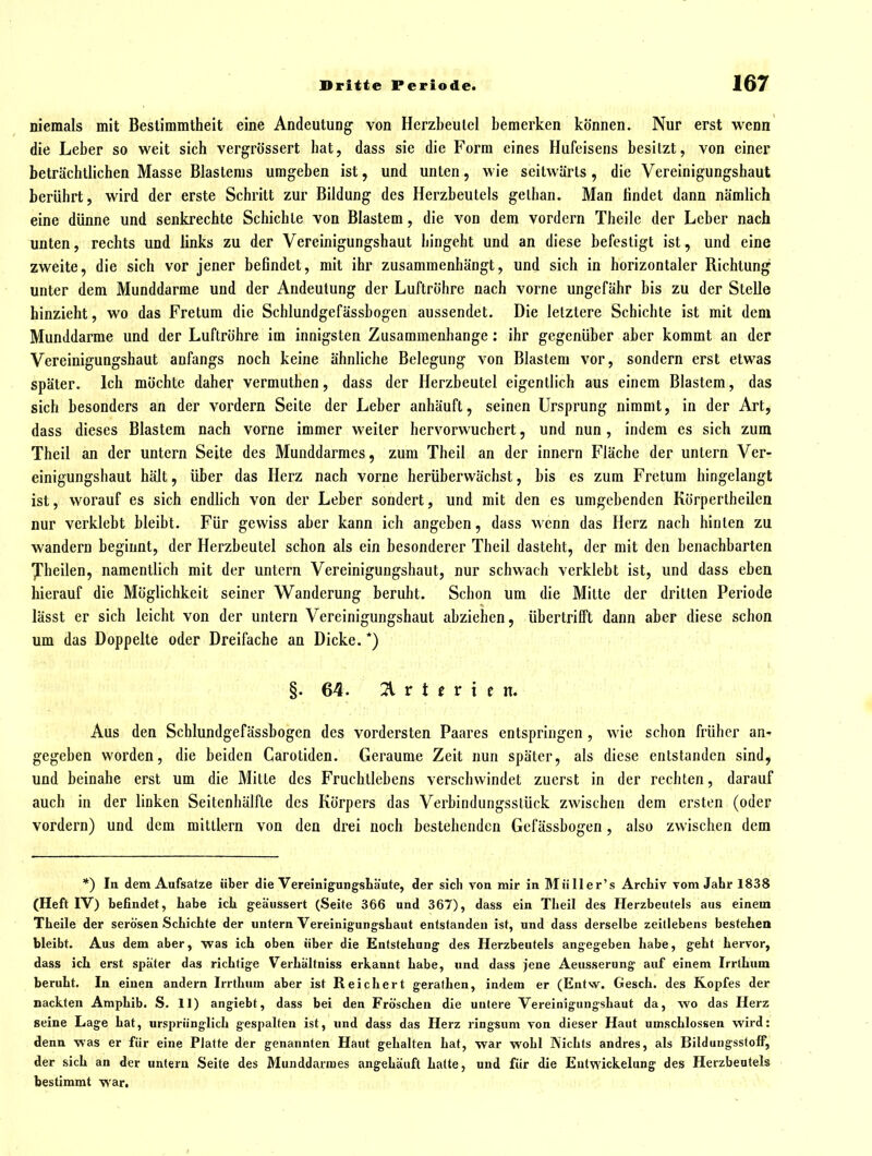 niemals mit Bestimmtheit eine Andeutung von Herzbeulel bemerken können. Nur erst wenn die Leber so weit sich vergrössert hat, dass sie die Form eines Hufeisens besitzt, von einer beträchtlichen Masse Blastems umgeben ist, und unten, wie seitwärts, die Vereinigungshaut berührt, wird der erste Schritt zur Bildung des Herzbeutels gelhan. Man findet dann nämlich eine dünne und senkrechte Schichte von Blastem, die von dem vordem Thelle der Leber nach unten, rechts und links zu der Vereinigungshaut hingeht und an diese befestigt ist, und eine zweite, die sich vor jener befindet, mit ihr zusammenhängt, und sich in horizontaler Richtung unter dem Munddarme und der Andeutung der Luftröhre nach vorne ungefähr bis zu der Stelle hinzieht, wo das Fretum die Schlundgefässbogen aussendet. Die letztere Schichte ist mit dem Munddarme und der Luftröhre im innigsten Zusammenhange; ihr gegenüber aber kommt an der Vereinigungshaut anfangs noch keine ähnliche Belegung von Blastem vor, sondern erst etwas später. Ich möchte daher vermuthen, dass der Herzbeutel eigentlich aus einem Blastem, das sich besonders an der vordem Seite der Leber anhäuft, seinen Ursprung nimmt, in der Art, dass dieses Blastem nach vorne immer weiter hervorwucbcrt, und nun, indem es sich zum Theil an der untern Seite des Munddarmes, zum Theil an der Innern Fläche der untern Ver- einigungshaut hält, über das Herz nach vorne herüberwächst, bis es zum Fretum hingelangt ist, worauf es sich endlich von der Leber sondert, und mit den es umgebenden Körperlheilen nur verklebt bleibt. Für gewiss aber kann ich angeben, dass wenn das Herz nach hinten zu wandern beginnt, der Herzbeutel schon als ein besonderer Theil dasteht, der mit den benachbarten ■JTheilen, namentlich mit der untern Vereinigungshaut, nur schwach verklebt ist, und dass eben hierauf die Möglichkeit seiner Wanderung beruht. Schon um die Mitte der drillen Periode lässt er sich leicht von der untern Vereinigungshaut abziehen, übertrifft dann aber diese schon um das Doppelte oder Dreifache an Dicke. *) §.64. 2V r t c r t c n. Aus den Schlundgefässbogen des vordersten Paares entspringen , wie schon früher an* gegeben worden, die beiden Carotiden. Geraume Zeit nun später, als diese entstanden sind, und beinahe erst um die Mitte des Fruchtlebens verschwindet zuerst in der rechten, darauf auch in der linken Seitenhälfle des Körpers das Verbindungsstück zwischen dem ersten (oder vordem) und dem mittlem von den drei noch bestehenden Gefässbogen, also zwischen dem *) In dem Aufsatze über die VereinigungsLäute, der sich von mir in Miiller's Archiv vom Jahr 1838 (Heft IV) befindet, habe ich geäussert (Seite 366 und 367), dass ein Theil des Herzbeutels aus einem Theile der serösen Schichte der untern Vereinigungshaut entstanden ist, und dass derselbe zeitlebens bestehen bleibt. Aus dem aber, was ich oben über die Entstehung des Herzbeutels angegeben habe, geht hervor, dass ich erst später das richtige Verhältniss erkannt habe, und dass jene Aeusserung auf einem Irrthum beruht. In einen andern Irrthum aber ist Reichert gerathen, indem er (Entw. Gesch. des Kopfes der nackten Amphib. S. 11) angiebt, dass bei den Fröschen die untere Vereiniguugshaut da, wo das Herz seine Lage hat, ursprünglich gespalten ist, und dass das Herz ringsum von dieser Haut umschlossen wird: denn was er für eine Platte der genannten Haut gehalten hat, war wohl Nichts andres, als BildungsstofF, der sich an der untern Seite des Munddarmes angehäuft hatte, und für die Eutwickelung des Herzbeateis bestimmt war.