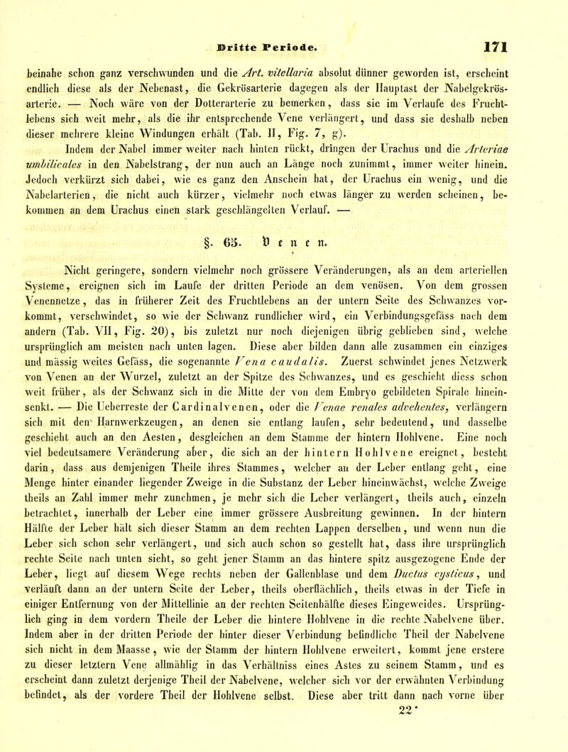beinahe schon ganz verschwunden und die Art. vitellaria absolut dünner geworden ist, erscheint endlich diese als der Nebenast, die Gekrösarterie dagegen als der Ilauptast der Nabelgckrös- arterie. — Noch wäre von der Dotterarterie zu bemerken, dass sie im Verlaufe des Frucht- lebens sich weit mehr, als die ihr entsprechende Vene verlängert, und dass sie deshalb neben dieser mehrere kleine Windungen erhält (Tab. II, Fig. 7, g). Indem der Nabel immer weiter nach hinten rückt, dringen der Urachus und die Arteriae umbilicales in den Nabelstrang, der nun auch an Länge noch zunimmt, immer weiter hinein. Jedoch verkürzt sich dabei, wie es ganz den Anschein hat, der Urachus ein wenig, und die Nabelartericn, die nicht auch kürzer, vielmehr noch etwas länger zu werden scheinen, be- kommen an dem Urachus einen stark geschlängelten Verlauf. — §. 63. i) i n e n. Nicht geringere, sondern vielmehr noch grössere Veränderungen, als an dem arteriellen Systeme, ereignen sich im Laufe der dritten Periode an dem venösen. Von dem grossen Venennetze, das in früherer Zeit des Fruchtlebens an der untern Seite des Schwanzes vor- kommt, verschwindet, so wie der Schwanz rundlicher wird, ein Verbindungsgefäss nach dem andern (Tab. VII, Fig. 20), bis zuletzt nur noch diejenigen übrig geblieben sind, welche ursprünglich am meisten nach unten lagen. Diese aber bilden dann alle zusammen ein einziges und mässig weites Gefäss, die sogenannte Vena c au da Iis. Zuerst schwindet jenes Netzwerk von Venen an der Wurzel, zuletzt an der Spitze des Schwanzes, und es geschieht diess schon weit früher, als der Schwanz sich in die Mitte der von dem Embryo gebildeten Spirale hinein- senkt. — Die Ueberreste der Cardinalvenen, oder die f enae renales advehentes, verlängern sich mit den^ Harnwerkzeugen, an denen sie entlang laufen, sehr bedeutend, und dasselbe geschieht auch an den Aesten, desgleichen an dem Stamme der hintern Hohlvene. Eine noch viel bedeutsamere Veränderung ater, die sich an der hintern Hohlvene ereignet, besteht darin, dass aus demjenigen Theile ihres Stammes, welcher an der Leber entlang geht, eine Menge hinter einander liegender Zweige in die Substanz der Leber hineinwächst, welche Zweige iheils an Zahl immer mehr zunehmen, je mehr sich die Leber verlängert, theils auch, einzeln betrachtet, innerhalb der Leber eine immer grössere Ausbreitung gewinnen. In der hintern Hälfte der Leber hält sich dieser Stamm an dem rechten Lappen derselben, und wenn nun die Leber sich schon sehr verlängert, und sich auch schon so gestellt hat, dass ihre ursprünglich rechte Seite nach unten sieht, so geht jener Stamm an das hintere spitz ausgezogene Ende der Leber, liegt auf diesem Wege rechts neben der Gallenblase und dem Ductus cysticus, und verläuft dann an der untern Seite der Leber, theils oberflächlich, theils etwas in der Tiefe in einiger Entfernung von der Mittellinie an der rechten Seitenhälfte dieses Eingeweides. Ursprüng- lich ging in dem vordem Theile der Leber die hintere Hohlvene in die rechte Nabclvene über. Indem aber in der dritten Periode der hinter dieser Verbindung befindliche Theil der Nabelvene sich nicht in dem Maasse, wie der Stamm der hintern Hohlvene erweitert, kommt jene erstere zu dieser letztern Vene allmählig in das Verhältniss eines Astes zu seinem Stamm, und es erscheint dann zuletzt derjenige Theil der Nabelvene, welcher sieb vor der erwähnten Verbindung befindet, als der vordere Theil der Hohlvene selbst. Diese aber tritt dann nach vorne über 22*