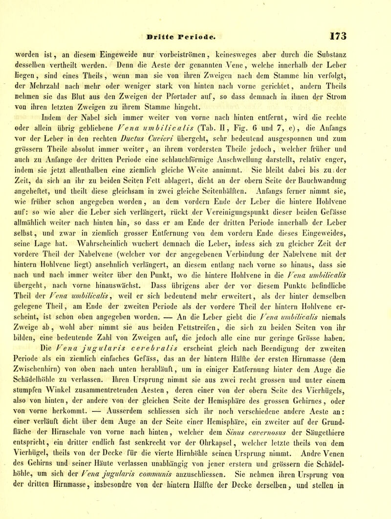worden ist, an diesem Eingeweide nur vorbeiströmen, kelnesweges aber durch die Substanz desselben verlheiit werden. Denn die Aesle der genannten Vene, welche innerhalb der Leber liegen, sind eines Theils, wenn man sie von ihren Zweigen nach dem Stamme hin verfolgt, der Mehrzahl nach mehr oder weniger stark von hinten nach vorne gerichtet, andern Theils nehmen sie das Blut aus den Zweigen der Pfortader auf, so dass demnach in ihnen der Strom von ihren letzten Zweigen zu ihrem Stamme hingeht. Indem der Nabel sich immer weiter von vorne nach hinten entfernt, wird die rechte oder allein übrig gebliebene Vena umbilicalis (Tab. II, Fig. 6 und 7, e), die Anfangs vor der Leber in den rechten Ductus Cuvieri übergeht, sehr bedeutend ausgesponnen und zum grössern Tbeile absolut immer weiter, an ihrem vordersten Tbcile jedoch, welcher früher und auch zu Anfange der dritten Periode eine schlauchförmige Anschwellung darstellt, relativ enger, indem sie jetzt allenthalben eine ziemlich gleiche Weite annimmt. Sie bleibt dabei bis zu:der Zeit, da sich an ihr zu beiden Seiten Fett ablagert, dicht an der obern Seite der Bauchwandung angeheftet, und iheilt diese gleichsam in zwei gleiche Seitenhiilften. Anfangs ferner nimmt sie, wie früher schon angegeben worden, an dem vordem Ende der Leber die hintere Hohlvene auf: so wie aber die Leber sich verlängert, rückt der Vereinigungspunkt dieser beiden Gefässe allmählich weiter nach hinten hin, so dass er am Ende der dritten Periode innerhalb der Leber selbst, und zwar in ziemlich grosser Entfernung von dem vordem Ende dieses Eingeweides, seine Lage hat. Wahrscheinlich wuchert demnach die Leber, indess sich zu gleicher Zeit der vordere Theil der Nabelvene (welcher vor der angegebenen Verbindung der Nabclvene mit der hintern Hohlvene liegt) ansehnlich verlängert, an diesem entlang nach vorne so hinaus, dass sie nach und nach immer weiter über den Punkt, wo die hintere Hohlvene in die Vena umbilicalis übergeht, nach vorne hinauswächst. Dass übrigens aber der vor diesem Punkte befindliche Theil der Vena umbilicalis ^ weil er sich bedeutend mehr erweitert, als der hinter demselben gelegene Theil, am Ende der zweiten Periode als der vordere Theil der hintern Hohlvene er- scheint, ist schon oben angegeben worden. — An die Leber giebt die J^ena umbilicalis niemals Zweige ab, wohl aber nimmt sie aus beiden Fettstreifen, die sich zu beiden Seiten von ihr bilden, eine bedeutende Zahl von Zweigen auf, die jedoch alle eine nur geringe Grösse haben. Die Vena jugularis cerebralis erscheint gleich nach Beendigung der zweiten Periode als ein ziemlich einfaches Gefäss, das an der hintern Hälfte der ersten Hirnmasse (dem Zwischenbirn) von oben nach unten herabläuft, um in einiger Entfernung hinter dem Auge die Schädclhöhle zu verlassen. Ihren Ursprung nimmt sie aus zwei recht grossen und unter einem stumpfen Winkel zusammentretenden Aesten , deren einer von der obern Seite des Vierhügels, also von hinten, der andere von der gleichen Seite der Hemisphäre des grossen Gehirnes, oder von vorne herkommt. — Ausserdem schliessen sich ihr noch verschiedene andere Aeste an: einer verläuft dicht über dem Auge an der Seite einer Hemisphäre, ein zweiter auf der Grund- fläche der Hirnschale von vorne nach hinten, welcher dem Sinus cavernosus der Säugelhiere entspricht, ein dritter endlich fast senkrecht vor der Ohrkapsel, welcher letzte theils von dem Vierhügel, theils von der Decke für die vierte Hirnhöhle seinen Ursprung nimmt. Andre Venen des Gehirns und seiner Häute verlassen unabhängig von jener erstem und grössern die Schädel- höhle, um sich ^tx Vena jugularis communis anzuschliessen. Sie nehmen ihren Ursprung von der dritten Hirnmasse, insbesondre von der hintern Hälfte der Decke derselben, und stellen in