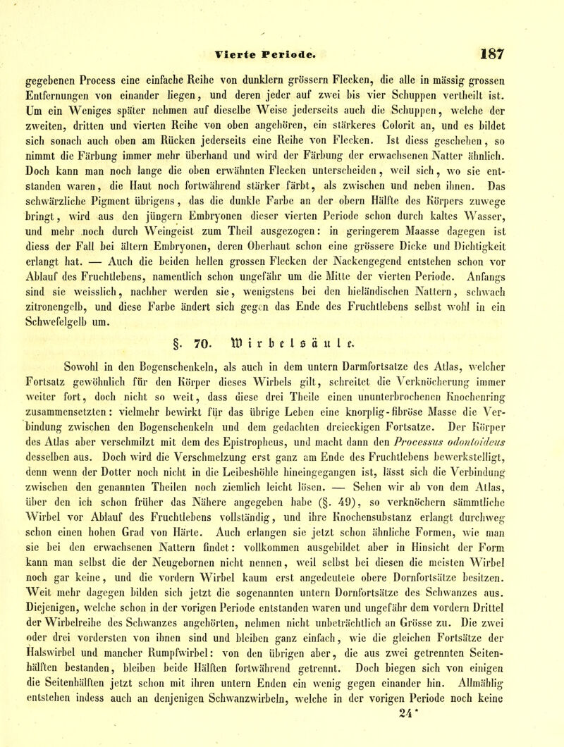 gegebenen Process eine einfache Reihe von dunklern grössern Flecken, die alle in massig grossen Entfernungen von einander liegen, und deren jeder auf zwei bis vier Schuppen vertheilt ist. Um ein Weniges später nehmen auf dieselbe Weise jederscits auch die Schuppen, welche der zweiten, dritten und vierten Reihe von oben angehören, ein stärkeres Colorit an, und es bildet sich sonach auch oben am Rücken jederseits eine Reihe von Flecken. Ist diess geschehen, so nimmt die Färbung immer mehr überhand und wird der Färbung der erwachsenen Natter ähnlich. Doch kann man noch lange die oben erwähnten Flecken unterscheiden, w^il sich, wo sie ent- standen waren, die Haut noch fortwährend stärker färbt, als zwischen und neben ihnen. Das schwärzliche Pigment übrigens, das die dunkle Farbe an der obern Hälfte des Körpers zuwege bringt, wird aus den jüngern Embryonen dieser vierten Periode schon durch kaltes Wasser, und mehr noch durch Weingeist zum Theil ausgezogen: in geringerem Maasse dagegen ist diess der Fall bei altern Embryonen, deren Oberhaut schon eine grössere Dicke und Dichtigkeit erlangt hat. — Auch die beiden hellen grossen Flecken der Nackengegend entstehen schon vor Ablauf des Fruchtlebens, namentlich schon ungefähr um die Mitte der vierten Periode. Anfangs sind sie weisslich, nachher werden sie, wenigstens bei den hieländischen Nattern, schwach zitronengelb, und diese Farbe ändert sich gegen das Ende des Fruchtlebens selbst wohl in ein Schwefelgelb um. §.70. \t) t r b c l s ä u l ^ Sowohl in den Bogenschenkeln, als auch in dem untern Darmfortsalze des Atlas, welcher Fortsatz gewöhnlich für den Körper dieses Wirbels gilt, schreitet die Verknöchcrung immer weiter fort, doch nicht so weit, dass diese drei Theile einen ununterbrochenen Knochenring zusammensetzten: vielmehr bewirkt fiir das übrige Leben eine knorplig-fibröse Masse die Ver- bindung zwischen den Bogenschenkeln und dem gedachten dreieckigen Fortsatze. Der Körper des Atlas aber verschmilzt mit dem des Epistropheus, und macht dann den Processus oclonioideus desselben aus. Doch wird die Verschoielzung erst ganz am Ende des Fruchllebens bewerkstelligt, denn wenn der Dotter noch nicht in die Leibeshöhle hineingegangen ist, lässt sich die Verbindung zwischen den genannten Theilen noch ziemlich leicht lösen. — Sehen wir ab von dem Atlas, über den ich schon früher das Nähere angegeben habe (§. 49), so verknöchern säramthche Wirbel vor Ablauf des Fruchtlebens vollständig, und ihre Knochensubstanz erlangt durchweg schon einen hohen Grad von Härte. Auch erlangen sie jetzt schon ähnliche Formen, wie man sie bei den erwachsenen Nattern findet: vollkommen ausgebildet aber in Hinsicht der Form kann man selbst die der Neugebornen nicht nennen, weil selbst bei diesen die meisten Wirbel noch gar keine, und die vordem Wirbel kaum erst angedeutete obere Dornfortsätze besitzen. Weit mehr dagegen bilden sich jetzt die sogenannten untern Dornfortsätze des Schwanzes aus. Diejenigen, welche schon in der vorigen Periode entstanden waren und ungefähr dem vordem Drittel der Wirbelreihe des Schwanzes angehörten, nehmen nicht unbeträchtlich an Grösse zu. Die zwei oder drei vordersten von ihnen sind und bleiben ganz einfach, wie die gleichen Fortsätze der Halswirbel und mancher Rumpfwirbel: von den übrigen aber, die aus zwei getrennten Seiten- hälften bestanden, bleiben beide Hälften fortwährend getrennt. Doch biegen sich von einigen die Seitenhälflen jetzt schon mit ihren untern Enden ein wenig gegen einander hin. Allmählig entstehen indess auch an denjenigen Schwanzwirbeln, welche in der vorigen Periode noch keine 24*