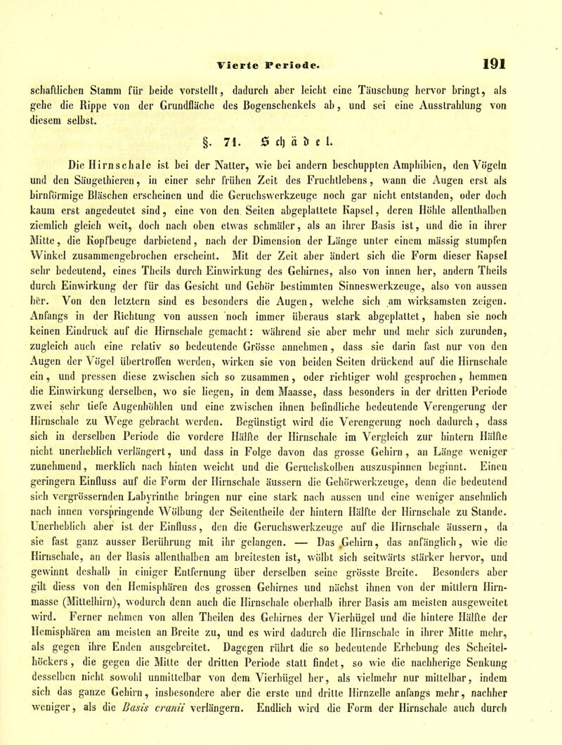 schaftlichen Stamm für beide vorstellt, dadurch aber leicht eine Täuschung hervor bringt, als gehe die Rippe von der Grundfläche des Bogenschenkels ab, und sei eine Ausstrahlung von diesem selbst. §. 71. 0 d) ä ö c U Die Hirnschale ist bei der Natter, wie bei andern beschuppten Amphibien, den Vögeln und den Säugethieren, in einer sehr frühen Zeit des Fruchtlebens, wann die Augen erst als birnförmige Bläschen erscheinen und die Gcruchsvvcrkzcuge noch gar nicht entstanden, oder doch kaum erst angedeutet sind, eine von den Seiten abgeplattete Kapsel, deren Höhle allenthalben ziemlich gleich weit, doch nach oben etwas schmäler, als an ihrer Basis ist, und die in ihrer Mitte, die Kopfbeuge darbietend, nach der Dimension der Länge unter einem mässig stumpfen Winkel zusammengebrochen erscheint. Mit der Zeit aber ändert sich die Form dieser Kapsel sehr bedeutend, eines Theils durch Einwirkung des Gehirnes, also von innen her, andern Theils durch Einwirkung der für das Gesicht und Gehör bestimmten Sinneswerkzeuge, also von aussen her. Von den letztern sind es besonders die Augen, welche sich am wirksamsten zeigen. Anfangs in der Richtung von aussen noch immer überaus stark abgeplattet, haben sie noch keinen Eindruck auf die Hirnschale gemacht: während sie aber mehr und mehr sich zurunden, zugleich auch eine relativ so bedeutende Grösse annehmen, dass sie darin fast nur von den Augen der Vögel übertrolfen werden, wirken sie von beiden Seiten drückend auf die Hirnschale ein, und pressen diese zvvischen sich so zusammen, oder richtiger wohl gesprochen, hemmen die Einwirkung derselben, wo sie liegen, in dem Maasse, dass besonders in der dritten Periode zwei sehr tiefe Augenhöhlen und eine zwischen ihnen befindliche bedeutende Verengerung der Hirnschale zu Wege gebracht werden. Begünstigt wird die Verengerung noch dadurch , dass sich in derselben Periode die vordere Hälfte der Hirnschale im Vergleich zur hintern Hälfte nicht uncrhebhch verlängert, und dass in Folge davon das grosse Gehirn , an Länge weniger zunehmend, merklich nach hinten weicht und die Gcruchskolben auszuspinncn beginnt. Einen geringem Einfluss auf die Form der Hirnschale äussern die Gehörwerkzeuge, denn die bedeutend sich vergrössernden Labyrinthe bringen nur eine stark nach aussen und eine weniger ansehnlich nach innen vorspringende Wölbung der Seilentheile der hintern Hälfte der Hirnschale zu Stande. Unerheblich aber ist der Einfluss, den die Geruchswerkzeuge auf die Hirnschale äussern, da sie fast ganz ausser Berührung mit ihr gelangen. — Das .Gehirn, das anfänglich, wie die Hirnschale, an der Basis allcnlhalbcn am breitesten ist, wölbt sich seitw^ärts stärker hervor, und gewinnt deshalb in einiger Entfernung über derselben seine grösstc Breite. Besonders aber gilt diess von den Hemisphären des grossen Gehirnes und nächst ihnen von der mittlem Hirn- masse (Mittelhirn), wodurch denn auch die Hirnschale oberhalb ihrer Basis am meisten ausgeweitet wird. Ferner nehmen von allen Theilen des Gehirnes der Vierhügel und die hintere Hälfte der Hemisphären am meisten an Breite zu, und es wird dadurch die Hirnschale in ihrer Mitte mehr, als gegen ihre Enden ausgebreitet. Dagegen rührt die so bedeutende Erhebung des Scheitel- höckers , die gegen die Mitte der dritten Periode statt findet, so wie die nachherige Senkung desselben nicht sowohl unmittelbar von dem Vierhügel her, als vielmehr nur mittelbar, indem sich das ganze Gehirn, insbesondere aber die erste und dritte Hirnzelle anfangs mehr, nachher weniger, als die Basis cranii verlängern. Endlich wird die Form der Hirnschale auch durch