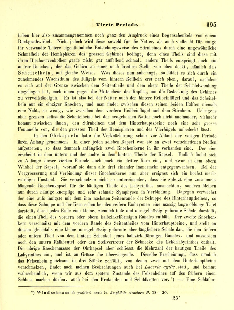 haben hier also zusammengenommen noch ganz den Aufdruck eines Bogenschenkcis von einem Rückgrathwirbel. Nicht jedoch wird diese sowohl für die Natter, als auch vielleicht für einige ihr verwandte Thiere eigenthümliche Entstehungsweise des Stirnheines durch eine ungewöhnliche Schmalheit der Hemisphären des grossen Gehirnes bedingt, denn eines Theils sind diese mit ihren Riechnervenkolben grade nicht gar aulfallend schmal, andern Theils entspringt auch ein andrer Knochen, der das Gehirn an einer noch breitern Stelle von oben deckt, nämlich das Scheitelbein, auf gleiche Weise. Was dieses nun anbelangt, so bildet es sich durch ein zunehmendes Wachsthum des Flügels vom hintern Keilbein erst nach oben, darauf, nachdem es sich auf der Grenze zwischen dem Seitentheile und dem obern Theile der Schädelwandune: umgebogen hat, nach innen gegen die Mittelebene des Kopfes, um die Bedeckung des Gehirnes zu vervollständigen. Es ist also bei der Natter auch der hintere Keilbeinflügcl und das Scheitel- bein nur ein einziger Knochen, und man findet zwischen diesen seinen beiden Hälften niemals eine Naht, so wenig, wie zwischen dem vordem Keilbeinflügel und dem Stirnbein. Uebrigens aber grenzen selbst die Scheitelbeine bei der ncugebornen Natter noch nicht aneinander, vichiiebr kommt zwischen ihnen, den Stirnbeinen und dem Hinterhauptsbeine noch eine sehr grosse Fontanelle vor, die den grössten Thcil der Hemisphären und des Vierhügels unbedeckt lässt. In den Ohrkapseln hatte die Verknücherung schon vor Ablauf der vorigen Periode ihren Anfang genommen. In einer jeden solchen Kapsel war sie an zwei verschiedenen Stellen aufgetreten, so dass demnach anfänglich zwei Knochenkerne in ihr vorhanden sind. Der eine erscheint in dem untern und der andre in dem hintern Theile der Kapsel. Endlich findet sich zu Anfange dieser vierten Periode auch noch ein dritter Kern ein, und zwar in dem obern Winkel der Kapsel, worauf sie dann alle drei einander immermehr entgegenwachsen. Bei der Vergrösserung und Verbindung dieser Knochenkerne nun aber ereignet sich ein höchst merk- würdiger Umstand. Sie verschmelzen nicht so untereinander, dass sie zuletzt eine zusammen- hängende Knochenkapsel für die häutigen Theile des Labyrinthes ausmachten, sondern bleiben nur durch häutige knorplige und sehr schmale Symphysen in Verbindung. Dagegen verwächst der eine aufs innigste mit dem ihm nächsten Seitenrande der Schuppe des Hinterhauptbeines, so dass diese Schuppe und der Kern schon bei den reifern Embryonen eine mässig lange oblonge Tafel darstellt, deren jedes Ende eine kleine, ziemlich tiefe und unregelmässig geformte Schale darstellt, die einen Theil des vordem oder obern halbzirkelPörmigcn Kanales enthält. Der zweite Knochen- kern verschmilzt mit dem vordem Rande des Seitentheiles vom Hinterhauptbeine, und stellt an diesem gleichfalls eine kleine unregelmässig geformte aber länglichere Schale dar, die den tiefern oder untern Theil von dem hintern Schenkel jenes halbzirkelfürmigen Kanales, und ausserdem noch den untern Kalkbeutel oder den Stellvertreter der Schnecke des Gehörlabyrinthes enthält. Die übrige Knochenmasse der Ohrkapsel aber schliesst die Mehrzahl der häutigen Theile des Labyrinthes ein, und ist an Grösse die überwiegende. Dieselbe Erscheinung, dass nämlich das Felsenbein gleichsam in drei Stücke zeriällt, von denen zwei mit dem Hinterhauptbeine verschmelzen, findet nach meinen Beobachtungen auch hei Laccrta agilis statt, und kommt wahrscheinlich, wenn wir aus dem spätem Zustande des Felsenbeines auf den frühern einen Schluss machen dürfen, auch bei den Krokodilen und Schildkröten vor.*) — Eine Schläfen- *) Windischmann de 'penWion aiins in AmythWiis structura P, 18 — 20. 25*