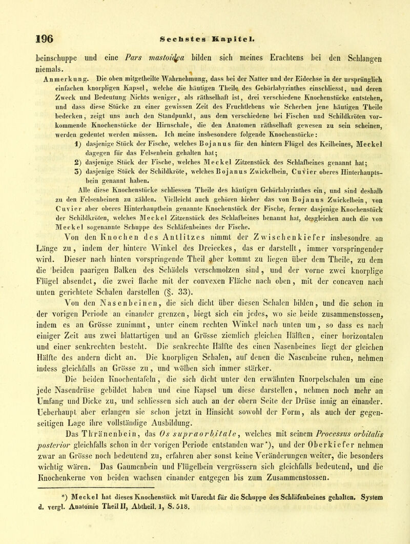 beinschuppe und eine Pars mastoiclfa bilden sich meines Erachtens bei den Schlangen niemals. ,^ Anmerkung. Die oben mitgetheilte Walirnelnnung, dass bei der Natter und der Eidechse in der ursprünglich einfachen knorpligen Kapsel, welche die häufigen Theile des Gehörlabjrinthes einschliesst, und deren Zweck und Bedeutung Nichts weniger, als räfhselhaft ist, drei verschiedene Knochenstücke entstehen, und dass diese Stücke zu einer gewissen Zeit des Fruchtlebens wie Scherb«n jene häufigen Theile bedecken, zeigt uns auch den Standpunkt, aus dem verschiedene bei Fischen und Schildkröten vor- kommende Knochenstücke der Hirnschale, die den Anatomen räthselliaft gewesen zu sein scheinen, werden gedeutet werden müssen. Ich meine insbesondere folgende Knochenstücke: 1) dasjenige Stück der Fische, welches Bojanus für den hintern Flügel des Keilbeines, Meckel dagegen für das Felsenbein gehalten hat; 2) dasjenige Stück der Fische, welches Meckel Zitzenstück des Schlafijeines genannt hat; 5) dasjenige Stück der Schildkröte, welches Bojanus Zwickelbein, Cu vi er oberes Hinterhaupts- bein genannt haben. Alle diese Knochenstücke schliessen Theile des häutigen Gehörlabjrinthes ein, und sind deshalb zu den Felsenbeinen zu zählen. Vielleiclit auch gehören hieher das von Bojanus Zwickelbein, von Cuvier aber oberes Hinterhauptbein genaiuite Knochenslück der Fisclie, ferner dasjenige Knochenstück der Schildlaöten, welches Meckel Zitzenstück des Schlafbeines benannt hat, desgleichen auch die von Meckel sogenannte Schuppe des Schläfenbeines der Fische. Von den Knochen des Antlitzes nimmt der Zvvischenkiefer insbesondre an Länge zu, indem der hintere Winkel des Dreieckes, das er darstellt, immer vorspringender wird. Dieser nach hinten vorspringende Theil ^iber kommt zu liegen über dem Theile, zu dem die 'beiden paarigen Balken des Schädels verschmolzen sind, und der vorne zwei knorplige Flügel absendet, die zwei flache mit der convexen Fläche nach oben, mit der concaven nach unten gerichtele Schalen darstellen (§. 33). Von den Nasenbeinen, die sich dicht über diesen Schalen bilden, und die schon in der vorigen Periode an einander grenzen, biegt sich ein jedes, wo sie beide zusammenstossen^ indem es an Grösse zunimmt, unter einem rechten Winkel nach unten um, so dass es nach einiger Zeit aus zwei blattartigen und an Grösse ziemlich gleichen Hälften, einer horizontalen und einer senkrechten besteht. Die senkrechte Hälfte des einen Nasenbeines liegt der gleichen Hälfte des andern dicht an. Die knorphgen Schalen, auf denen die Nasenbeine ruhen, nehmen indess gleichfalls an Grösse zu, und wölben sich immer stärker. Die beiden Knochentafeln, die sich dicht unter den erwähnten Knorpelschalen um eine jede Nasendrüse gebildet haben und eine Kapsel um diese darstellen, nehmen noch mehr an Umfang und Dicke zu, und schliessen sich auch an der obern Seite der Drüse innig an einander. Ueberhaupt aber erlangen sie schon jetzt in Hinsicht sowohl der Form, als auch der gegen- seitigen Lage ihre vollständige Ausbildung. Das Thränenbein, das Os supraoi^bitale, welches mit seinem Processus orbäalis posterior gleichfalls schon in der vorigen Periode entstanden war*), und der Oberkiefer nehmen zwar an Grösse noch bedeutend zu, erfahren aber sonst keine Veränderungen weiter, die besonders wichtig wären. Das Gaumenbein und Flügelbein vergrössern sich gleichfalls bedeutend, und die Knochenkerne von beiden wachsen einander entgegen bis zum Zusammenstossen. *) Meckel hat dieses Knochenstück mit Unrecht für die Schuppe des Schläfenbeines gehalten, System d, vergl. Anatomie Theil II, Abtheil. 1, S. 518.