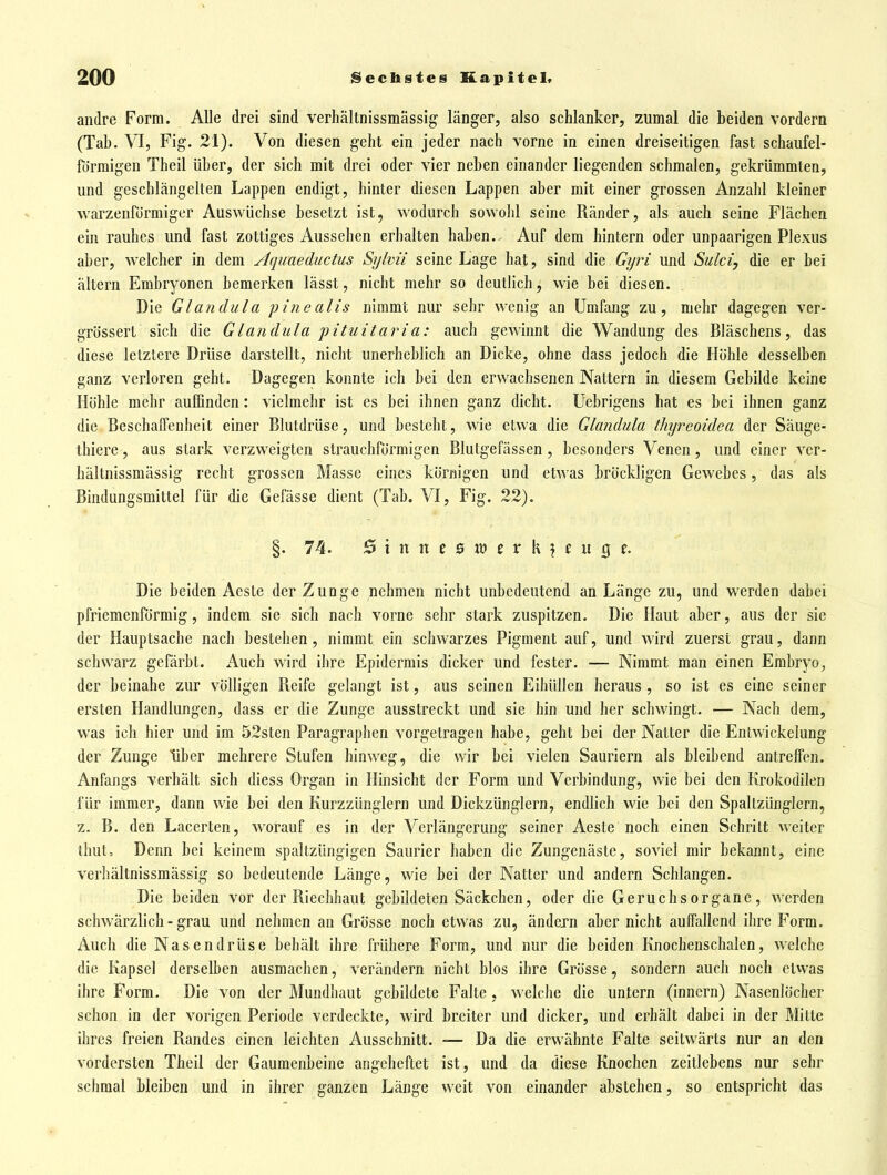 andre Form. Alle drei sind verhältnissmässig länger, also schlanker, zumal die beiden vordem (Tab. VI, Fig. 21). Von diesen geht ein jeder nach vorne in einen dreiseitigen fast schaufel- fdrmigen Theil über, der sich mit drei oder vier neben einander liegenden schmalen, gekrümmten, und geschlängelten Lappen endigt, hinter diesen Lappen aber mit einer grossen Anzahl kleiner warzenförmiger Auswüchse besetzt ist, wodurch sowohl seine Ränder, als auch seine Flächen ein rauhes und fast zottiges Aussehen erhalten haben. Auf dem hintern oder unpaarigen Plexus aber, welcher in dem Aquaeductus Sylvü seine Lage hat, sind die Gyi^i und Sulciy die er bei altern Embryonen bemerken lässt, nicht mehr so deutlich, wie bei diesen. . Die Glandula pinealis nimmt nur sehr wenig an Umfang zu, mehr dagegen ver- grössert sich die Glandula pituitaria: auch gewinnt die Wandung des Bläschens, das diese letztere Drüse darstellt, nicht unerheblich an Dicke, ohne dass jedoch die Höhle desselben ganz verloren geht. Dagegen konnte ich bei den erwachsenen Nattern in diesem Gebilde keine Höhle mehr auffinden: vielmehr ist es bei ihnen ganz dicht, üebrigens hat es bei ihnen ganz die Beschaffenheit einer Blutdrüse, und besteht, wie etwa die Glandula thyreoidea der Säuge- thiere, aus stark verzweigten strauchfürmigen Blutgefässen , besonders Venen, und einer ver- hältnissmässig recht grossen Masse eines körnigen und etwas bröckligen Gewebes, das als Bindungsmittel für die Gefässe dient (Tab. VI, Fig. 22). §. 74. 6 i n n e 0 «) c r k ? c u g ^ Die beiden Aeste der Zunge nehmen nicht unbedeutend an Länge zu, und werden dabei pfriemenförmig, indem sie sich nach vorne sehr stark zuspitzen. Die Haut aber, aus der sie der Hauptsache nach bestehen, nimmt ein schwarzes Pigment auf, und wird zuerst grau, dann schwarz gefärbt. Auch wird ihre Epidermis dicker und fester. — Nimmt man einen Embryo, der beinahe zur völligen Reife gelangt ist, aus seinen Eihüllcn heraus , so ist es eine seiner ersten Handlungen, dass er die Zunge ausstreckt und sie hin und her schwingt. — Nach dem, was ich hier und im 52sten Paragraphen vorgetragen habe, geht bei der Natter die Entwickelung der Zunge über mehrere Stufen hinweg, die wir bei vielen Sauriern als bleibend antreffen. Anfangs verhält sich diess Organ in Hinsicht der Form und Verbindung, wie bei den Krokodilen für immer, dann wie bei den Kurzzünglern und Dickzünglern, endlich wie bei den Spaltzünglern, z. B. den Lacerten, worauf es in der Verlängerung seiner Aeste noch einen Schritt weiter thut. Denn bei keinem spaltzüngigen Saurier haben die Zungenäste, soviel mir bekannt, eine verhältnissmässig so bedeutende Länge, wie bei der Natter und andern Schlangen. Die beiden vor der Riechhaut gebildeten Säckchen, oder die Geruchsorgane, werden schwärzlich - grau und nehmen an Grösse noch etwas zu, ändern aber nicht auffallend ihre Form. Auch die Nasendrüse behält ihre frühere Form, und nur die beiden Knochenschalcn, welche die Kapsel derselben ausmachen, verändern nicht blos ihre Grösse, sondern auch noch etwas ihre Form. Die von der Mundhaut gebildete Falte, welche die untern (Innern) Nasenlöcher schon in der vorigen Periode verdeckte, wird breiter und dicker, und erhält dabei in der Mitte ihres freien Randes einen leichten Ausschnitt. -— Da die erwähnte Falte seitwärts nur an den vordersten Theil der Gaumenbeine angeheftet ist, und da diese Knochen zeitlebens nur sehr schmal bleiben und in ihrer ganzen Länge weit von einander abstehen, so entspricht das