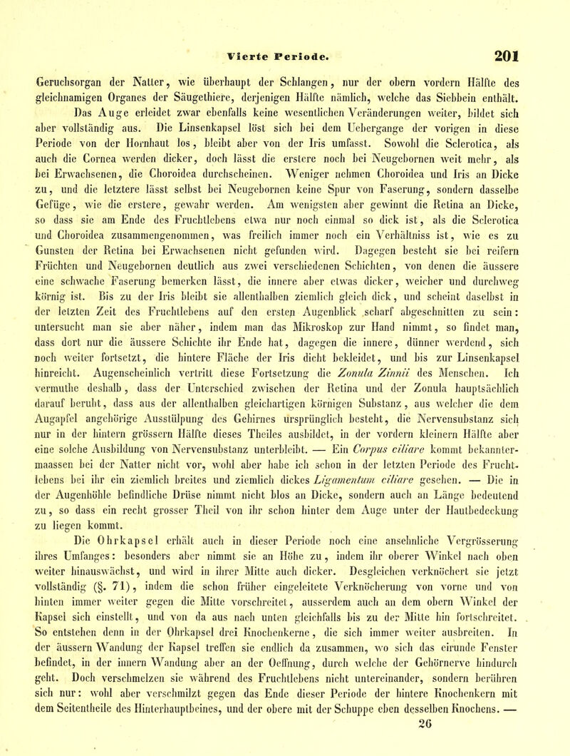 Geruchsorgan der Natter, wie überhaupt der Schlangen, nur der obern vordem Hälfte des gleichnamigen Organes der Säugelhiere, derjenigen Hälfte nämlich, welche das Siebhein enthält. Das Auge erleidet zwar ebenfalls keine wesentlichen Veränderungen weiter, bildet sich aber vollständig aus. Die Linsenkapsel löst sich bei dem Uehergange der vorigen in diese Periode von der Hornhaut los, bleibt aber von der Iris umfasst. Sowohl die Sclerotica, als auch die Cornea werden dicker, doch lässt die erstcre noch bei Neugebornen weit mehr, als bei Erwachsenen, die Choroidea durchscheinen. Weniger nehmen Choroidea und Iris an Dicke zu, und die letztere lässt selbst bei Neugebornen keine Spur von Faserung, sondern dasselbe Gefiige, wie die erstere, gewahr werden. Am wenigsten aber gewinnt die Retina an Dicke, so dass sie am Ende des Fruchtlebens etwa nur noch einmal so dick ist, als die Sclerotica und Choroidea zusammengenommen, was freilich immer noch ein Verhältniss ist, wie es zu Gunsten der Retina bei Erwachsenen nicht gefunden wird. Dagegen besteht sie bei reifern Früchten und Neugebornen deutlich aus zwei verschiedenen Schichten, von denen die äussere eine schwache Faserung bemerken lässt, die innere aber etwas dicker, weicher und durchweg körnig ist. Bis zu der Iris bleibt sie allenthalben ziemlich gleich dick, und scheint daselbst in der letzten Zeit des Fruchtlebens auf den ersteji Augenblick scharf abgeschnitten zu sein: untersucht man sie aber näher, indem man das Mikroskop zur Hand nimmt, so findet man, dass dort nur die äussere Schichte ihr Ende hat, dagegen die innere, dünner werdend, sich Doch weiter fortsetzt, die hintere Fläche der Iris dicht bekleidet, und bis zur Linsenkapsel hinreicht. Augenscheinlich vertritt diese Fortsetzung die Zonula Ziiinii des Menschen. Ich verrauthe deshalb, dass der Unterschied zwischen der Retina und der Zonula hauptsächlich darauf beruht, dass aus der allenthalben gleichartigen körnigen Substanz , aus welcher die dem Augapfel angehörige Ausstülpung des Gehirnes ursprünglich besteht, die Nervensubstanz sich nur in der hintern grössern Hälfte dieses Theiles ausbildet, in der vordem kleinern Hälfte aber eine solche Ausbildung von Nervensubstanz unterbleibt. — Ein Corpus ciliare kommt bekannter- maassen bei der Natter nicht vor, wohl aber habe ich schon in der letzten Periode des Frucht- Icbens bei ihr ein ziemlich breites und ziemlich dickes Ligame7itum ciliare gesehen. — Die in der Augenhöhle befindliche Drüse nimmt nicht blos an Dicke, sondern auch an Länge bedeutend zu, so dass ein recht grosser Theil von ihr schon hinter dem Auge unter der Hautbedeckung zu liegen kommt. Die Ohrkapsel erhält auch in dieser Periode noch eine ansehnliche Vergrösserung ihres ümfanges: besonders aber nimmt sie an Höhe zu, indem ihr oberer Winkel nach oben weiter hinauswächst, und wird in ihrer Mitte auch dicker. Desgleichen verknöchert sie jetzt vollständig (§. 71), indem die schon früher eingeleitete Verknöcherung von vorne und von hinten immer weiter gegen die Mitte vorschreitet, ausserdem auch an dem obern Winkel der Kapsel sich einstellt, und von da aus nach unten gleichfalls bis zu der Mitte hin fortschreitet. So entstehen denn in der Ohrkapsel drei Knochenkerne , die sich immer weiter ausbreiten. In der äussern Wandung der Kapsel treffen sie endlich da zusammen, wo sich das eirunde Fenster befindet, in der Innern Wandung aber an der Oelfnung, durch welche der Gehörnerve hindurch geht. Doch verschmelzen sie während des Fruchtlebens nicht untereinander, sondern berühren sich nur: wohl aber verschmilzt gegen das Ende dieser Periode der hintere Knochenkern mit dem Seitentheile des Hinterhauptbeines, und der obere mit der Schuppe eben desselben Knochens. — 26