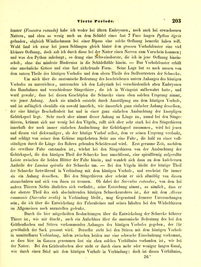 fenster (Feitestra rotunila) habe ich weder bei altern Embryonen, noch auch bei erwachsenen Nattern, und eben so wenig auch an dem Schädel eines fast 7 Fuss langen Python tigris gefunden, obgleich Windischmann bei einer Dipsas eine solche Oelfnung bemerkt haben will. Wohl fand ich zwar bei jenen Schlangen gleich hinter dem grossen Vorhofsfenster eine viel kleinere Oeffnung, doch sah ich durch diese bei der Natter einen Nerven zum Vorschein kommen; und was den Python anbelangt, so drang eine Schweinsborste, die ich in jene Oeffnung hinein- schob, ohne das mindeste Hinderniss in die Schädelhöhle hinein. — Das Vorhofsfenster erhält eine ansehnliche Grösse und eine fast zirkclrunde Form. Seine Lage hat es nach aussen von dem untern Theile des häutigen Vorhofes und dem obcrn Theile des Stellvertreters der Schnecke. Um mich über die anatomische Bedeutung des beschriebenen untern Anhanges des häutigen Vorhofes zu unterrichten, untersuchte ich den Labyrinth bei verschiedentlich alten Embryonen des Haushuhnes und verschiedener Säugethiere, die ich in Weingeist aufbewahrt hatte, und ward gewahr, dass bei diesen Gescliöpfen die Schnecke einen eben solchen Ursprung nimmt, wie jener Anhang. Auch sie nämlich entsteht durch Ausstülpung aus dem häutigen Vorhofe, und ist anfänglich ebenfalls ein sowohl innerlich, wie äusserlicb ganz einfacher Anhang desselben, der eine häutige Beschaffenheit hat und in einer ganz einfachen Ausbuclitung der knorpligen Gehörkapscl liegt. Sehr rasch aber nimmt dieser Anbang an Länge zu, zumal bei den Säuge- thieren, krümmt sich nur wenig bei den Vögeln, rollt sich aber sehr stark bei den Säugethieren innerhalb der noch immer einfachen Ausbuchtung der Gehörkapscl zusammen, wird bei jenen und diesen viel dickwandiger, als der häutige Vorhof selbst, dem er seinen Ursprung verdankt, und schlägt von seiner dem Gehirne zugekehrten Seite aus eine Falte, die bald zu einer voll- ständigen durch die Länge des Rohres gehenden Scheidewand wird. Erst geraume Zeit, nachdem die erwähnte Falte entstanden ist, wächst bei den Säugethieren von der Ausbuchtung der Gehörkapsel, die den häutigen Theil der Schnecke lose umschliesst, eine spiralförmig aufgerollte Leiste zwischen die beiden Blätter der Falte hinein, und wandelt sich dann zu dem knöchernen Antheile der Lamina spiralis der Schnecke um. — Bei den Vögeln bleibt der häutige Theil der Schnecke fortwährend in Verbindung mit dem häutigen Vorhofe, und erscheint für immer als ein Anhang desselben. Bei den Säugethieren aber scheint er sich allmählig von diesen abzuschnüren und sich von ihnen zu trennen. Ob dabei der Sacculus rotundus, von dem bei andern Thieren Nichts ähnliches sich vorfindet, seine Entstehung nimmt, so nämlich, dass er der oberste Theil des sich abschnürenden häutigen Schneckenrobres ist, der mit dem Alvciis communis (Sacculus ovalis) in Verbindung bleibt, mag Gegenstand fernerer Untersuchungen sein, die ich über die Entwickelung des Felsenbeines und seines Inhaltes bei den Wirbellhieren im Allgemeinen noch anzustellen gedenke. Durch die hier mitgetheilten Beobachtungen über die Entwickelung; der Schnecke höherer Thiere ist, wie mir däucht, auch ein Aufschluss über die anatomische Bedeutung des bei den Grätbenfischen und Stören vorkommenden Anhanges des häutigen Vorhofes gegeben, der für gewöhnlich der Sack genannt wird. Derselbe steht bei den Stören mit dem häutigen Vorhofe in unmittelbarer Verbindung, indem zwischen beiden nur eine schwache Einschnürung vorkommt, so dass hier im Ganzen genommen fast ein eben solches Verhältniss vorhanden ist, wie bei der Natter. Bei den Gräthcnfischen aber steht er durch einen mehr oder weniger langen Kanal, wie durch einen Stiel mit dem häutigen Vorhofe in Verbindung; doch ist dieses Verhältniss, -26 *