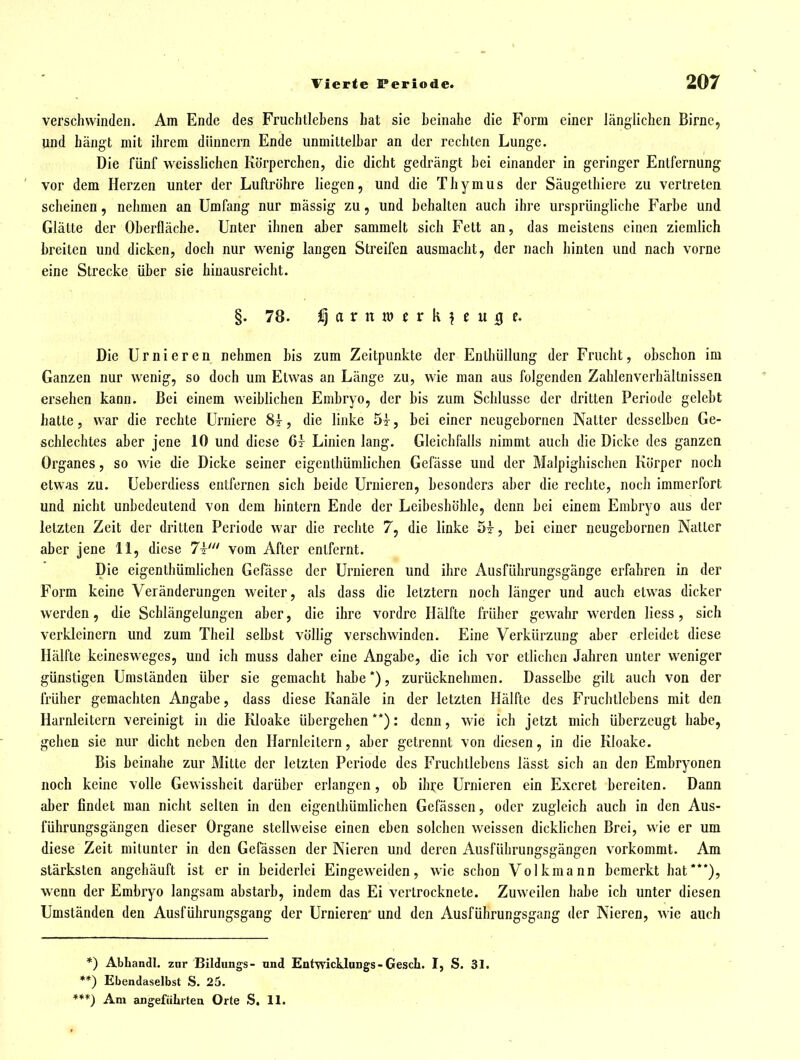 verschwinden. Am Ende des Fruclitlebens hat sie heinahe die Form einer länglichen Birne, und hängt mit ihrem dünnem Ende unmittelbar an der rechten Lunge. Die fünf weisslichen Körperchen, die dicht gedrängt bei einander in geringer Entfernung vor dem Herzen unter der Luftröhre liegen, und die Thymus der Säugethiere zu vertreten scheinen, nehmen an Umfang nur mässig zu, und behalten auch ihre ursprüngliche Farbe und Glätte der Oberfläche. Unter ihnen aber sammelt sich Fett an, das meistens einen ziemlich breiten und dicken, doch nur wenig langen Streifen ausmacht, der nach hinten und nach vorne eine Strecke über sie hiuausreicht. §.78. ^ a V n XV t t k } t u Q Die Urnieren nehmen bis zum Zeitpunkte der Enthüllung der Frucht, obschon im Ganzen nur wenig, so doch um Etwas an Länge zu, wie man aus folgenden Zahlenverhältnissen ersehen kann. Bei einem weiblichen Embryo, der bis zum Schlüsse der dritten Periode gelebt hatte, war die rechte Urniere 81, die linke , bei einer neugebornen Natter desselben Ge- schlechtes aber jene 10 und diese 6y Linien lang. Gleichfalls nimmt auch die Dicke des ganzen Organes, so Avie die Dicke seiner eigenthümlichen Gcfässe und der Malpighischen Körper noch etwas zu. Uebcrdiess entfernen sich beide Urnieren, besonders aber die rechte, noch immerfort und nicht unbedeutend von dem hintern Ende der Leibeshöhle, denn bei einem Embryo aus der letzten Zeit der dritten Periode war die rechte 7, die linke 5t, bei einer neugebornen Natter aber jene 11, diese 71' vom After entfernt. Die eigenthümlichen Gefässe der Urnieren und ihre i\.usführungsgänge erfahren in der Form keine Veränderungen weiter, als dass die letztern noch länger und auch etwas dicker werden, die Schlängelungen aber, die ihre vordre Hälfte früher gewahr werden liess, sich verkleinern und zum Theil selbst völlig verschwinden. Eine Verkürzung aber erleidet diese Hälfte keinesweges, und ich muss daher eine Angabe, die ich vor etlichen Jahren unter weniger günstigen Umständen über sie gemacht habe*), zurücknehmen. Dasselbe gilt auch von der früher gemachten Angabe, dass diese Kanäle in der letzten Hälfte des Fruchtlebens mit den Harnleitern vereinigt in die Kloake übergehen **): denn, wie ich jetzt mich überzeugt habe, gehen sie nur dicht neben den Harnleitern, aber getrennt von diesen, in die Kloake. Bis beinahe zur Mitte der letzten Periode des Fruchtlebens lässt sich an den Embryonen noch keine volle Gewissheit darüber erlangen, ob ihre Urnieren ein Excret bereiten. Dann aber findet man nicht selten in den eigenthümlichen Gefässen, oder zugleich auch in den Aus- führungsgängen dieser Organe stellweise einen eben solchen weissen dicklichen Brei, wie er um diese Zeit mitunter in den Gefässen der Nieren und deren Ausführungsgängen vorkommt. Am stärksten angehäuft ist er in beiderlei Eingeweiden, wie schon Volkmann bemerkt hat***), wenn der Embryo langsam abstarb, indem das Ei vertrocknete. Zuweilen habe ich unter diesen Umständen den Ausführungsgang der Urnieren' und den Ausführungsgang der Nieren, wie auch *) Abhandl. zur Bildungs- und Entwicklungs- Gesch. I, S. 31. *) Ebendaselbst S. 25. *) Am angeführten Orte S. 11.