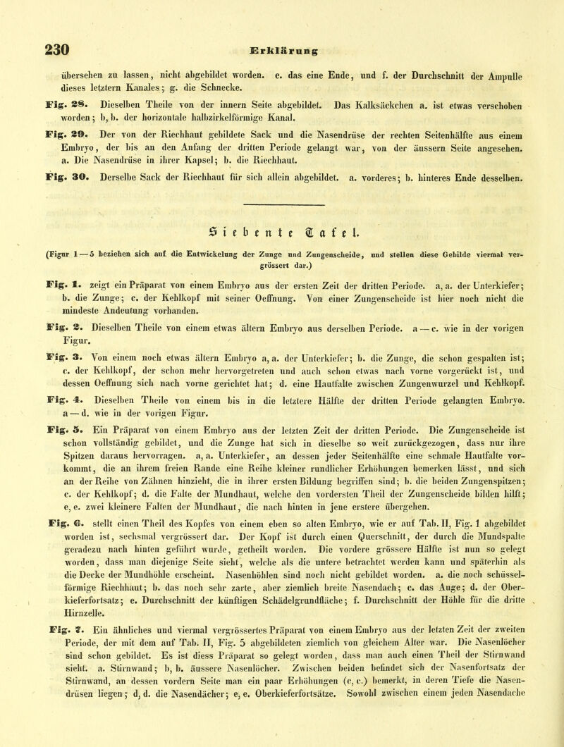 übersehen zu lassen, nicht abgebildet worden, e. das eine Ende, und f. der Durchschnitt der Ampulle dieses letztern Kanales; g. die Schnecke. Fig. 88. Dieselben Theile von der innern Seite abgebildet. Das Kalksückchen a. ist etwas verschoben worden; b, b. der horizontale halbzirkelförinigc Kanal. Fig. 89. Der von der Riechhaut gebildete Sack und die Nasendrüse der rechten Seitenhälfte aus einem Embryo, der bis an den Anfang der dritten Periode gelangt war, von der äussern Seite angesehen, a. Die Nasendrüse in ihrer Kapsel; b. die Riechhaut. Fig. 30. Derselbe Sack der Riechhaut für sich allein abgebildet, a. vorderes; b. hinteres Ende desselben. (Figur 1 — 5 beziehen sich auf die Entwickelung der Zunge und Zungenscheide, und stellen diese Gebilde viermal ver- grössert dar.) Fig. 1. zeigt ein Präparat von einem Embryo aus der ersten Zeit der dritten Periode, a, a. der Unterkiefer; b. die Zunge; c. der Kehlkopf mit seiner Oefihung. Von einer Zungenscheide ist hier noch nicht die mindeste Andeutung vorhanden. Fig. 8. Dieselben Theile von einem etwas altern Embryo aus derselben Periode, a — c. wie in der vorigen Figur. Fig. 3. Von einem noch etwas altern Embryo a, a. der Unterkiefer; b. die Zunge, die schon gespalten ist; c. der Kehlkopf, der schon mehr hervorgetreten und auch schon etwas nacli vorne vorgerückt ist, und dessen Oeffnung sich nach vorne gerichtet hat; d. eine Hautfalte zwischen Zungenwurzel und Kehlkopf. Fig. -t. Dieselben Theile von einem bis in die letztere Hälfte der dritten Periode gelangten Embryo, a — d. wie in der vorigen Figur. Fig. 5. Ein Präparat von einem Embryo aus der letzten Zeit der dritten Periode. Die Zungenscheide ist schon vollständig gebildet, und die Zunge hat sich in dieselbe so weit zurückgezogen, dass nur ihre Spitzen daraus hervorragen, a, a. Unterkiefer, an dessen jeder Seitenhälfte eine schmale Hautfalte vor- kommt, die an ihrem freien Rande eine Reihe kleiner rundlicher Erhöhungen bemerken lässt, und sich an der Reihe von Zähnen hinzieht, die in ihrer ersten Bildung begriffen sind; b. die beiden Zungenspitzen; c. der Kehlkopf; d. die Falte der Mundhaut, welche den vordersten Theil der Zungenscheide bilden hilft; e, e. zwei kleinere Falten der Mundhaut, die nach hinten in jene erstere übergehen. Fig. ©. stellt einen Theil des Kopfes von einem eben so alten Embryo, wie er auf Tab. II, Fig. 1 abgebildet worden ist, sechsmal vergrossert dar. Der Kopf ist durch einen Querschnitt, der durch die Mundspalto geradezu nach hinten geführt wurde, getheilt worden. Die vordere grössere Hälfte ist nun so gelegt worden, dass man diejenige Seite sieht, welche als die untere betrachtet werden kann und späterhin als die Decke der Mundhöhle erscheint. Nasenhölilen sind noch nicht gebildet worden, a. die noch schüssei- förmige Riecliliaut; b. das noch sehr zarte, aber ziemlich breite Nasendach; c. das Auge; d. der Ober- kieferfortsatz; e. Durchschnitt der künftigen Schädelgrundfläche; f. Durchschnitt der Höhle für die dritte Hirnzelle. Fig. ff. Ein ähnliches und viermal vergrössertes Präparat von einem Embryo aus der letzten Zeit der zweiten Periode, der mit dem auf Tab. II, Fig. 5 abgebildeten ziemlich von gleichem Alter war. Die Nasenlöcher sind schon gebildet. Es ist diess Präparat so gelegt worden, dass man aucli einen Theil der Stirnwand sieht, a. Stirnwand; b, b. äussere Nasenlöcher. Zwischen beiden befindet sich der Nasenfortsatz der Stirnwand, an dessen vordem »Seite man ein paar Erhöhungen (c, c.) bemerkt, in deren Tiefe die Nasen- drüsen liegen; d, d. die Nasendächer; e, e. Oberkieferfortsätze. Sowohl zwischen einem jeden Nasendache