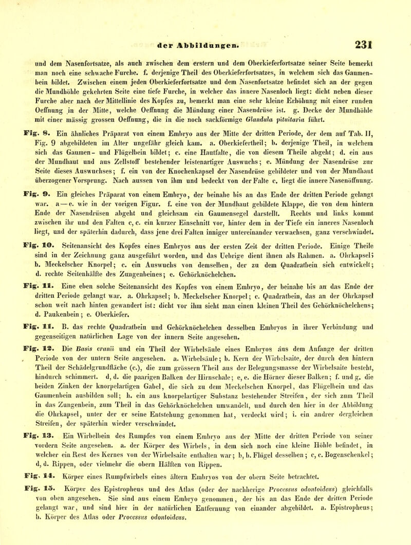 und dem Nasenfortsatze, als auch zwischen dem erstem und dem Oberkieferfortsatze seiner Seite bemerkt man noch eine schwache Furche, f. derjenige Theil des Oberkieferfortsatzes, in welchem sich das Gaumen- bein bildet. Zwischen einem jeden Oberltieferfortsatze und dem Nasenfortsatze befindet sich an der gegen die Mundhöhle gekehrten Seite eine tiefe Furche, in welcher das innere Nasenloch liegt: dicht neben dieser Furche aber nach der Mittellinie des Kopfes zu, bemerkt man eine sehr kleine Erhöhung mit einer runden Oeffnung in der Mitte, welche Oeffnung die Mündung einer Nasendrüse ist. g. Decke der Mundhöhle mit einer massig grossen Oeffnung, die in die noch sackförmige Glandula fUmtaria führt. Fig. 8. Ein ähnliches Präparat von einem Embryo aus der Mitte der dritten Periode, der dem auf Tab. II, Fig. 9 abgebildeten im Alter ungefähr gleich kam. a. Oberkiefertheil; b. derjenige Theil, in welchem sich das Gaumen- und Flügelbein bildet; c. eine Haiitfalte, die von diesem Theile abgeht; d. ein aus der Mundhaut und aus Zellstoff bestehender leistenartiger Auswuchs; c. Mündung der Nasendrüse zur Seite dieses Auswuchses; f. ein von der Knochenkapsel der Nasendrüse gebildeter und von der Mundliaut überzogener Vorsprung. Nach aussen von ihm und bedeckt von der Falte c. liegt die innere Nasenötfnung. Fig. 9. Ein gleiches Präparat von einem Embryo, der beinahe bis an das Ende der dritten Periode gelangt war. a — e. wie in der vorigen Figur, f. eine von der Mundhaut gebildete Klappe, die von dem hintern Ende der Nasendrüsen abgeht und gleichsam ein Gaumensegel darstellt. Rechts und links kommt zwischen ihr und den Falten c, c. ein kurzer Einschnitt vor, liinfer dem in der Tiefe ein inneres Nasenloch liegt, und der späterhin dadurch, dass jene drei Falten inniger untereinander verwachsen, ganz verschwindet. Fig. lO. Seitenansicht des Kopfes eines Embryos aus der ersten Zeit der dritten Periode. Einige Theile sind in der Zeichnung ganz ausgeführt worden, und das Uebrigc dient ihnen als Rahmen, a. Ohrkapsel 5 b. Meclielscher Knorpel; c. ein Auswuchs von demselben, der zu dem Quadratbein sich entwickelt; d. rechte Seitenhälfte des Zungenbeines; e. Gehörknöchelchen. Fig. 11. Eine eben solche Seitenansicht des Kopfes von einem Embryo, der beinahe bis an das Ende der dritten Periode gelangt war. a. Ohrkapsel; b. Meckelscher Knorpel; c. Quadratbein, das an der Ohrkapsel schon weit nach hinten gewandert ist: dicht vor ihm sieht man einen kleinen Theil des Gehörknöchelchens; d. Paukenbein; e. Oberldefer. Fig. 11. B. das rechte Quadratbein und Gehörknöchelchen desselben Embryos in ihrer Verbindung und gegenseitigen natürlichen Lage von der inncrn Seite angesehen. Fig. lÄ. Die Basis cranü und ein Theil der Wirbelsäule eines Embryos aus dem Anfange der dritten Periode von der untern Seite angesehen, a. Wirbelsäule; b. Kern der Wirbelsaite, der durch den hintern Theil der Schädelgrundfläche (c), die zum grössern Theil aus der Belegungsuiasse der Wirbelsaite besteht, hindurch scliimmert. d, d. die paarigen Balken der Hirnschale; e, e. die Hörner dieser Balken; f. und g. die beiden Zinken der knorpelartigen Gabel, die sidi zu dem Meckelschen Knorpel, das Fliigelbein und das Gaumenbein ausbilden soll; h. ein aus knorpelartiger Substanz bestehender Streifen, der sich zum Theil in das Zungenbein, zum Theil in das Gehörknöchelchen umwandelt, und durch den hier in der Abbildung die Ohrkapsel, unter der er seine Entstehung genommen hat, verdeckt wird; i. ein andrer dergleichen Streifen, der späterhin wieder verschwindet. Fig. 13. Ein Wirbelbein des Rumpfes von einem Embryo aus der Mitte der dritten Periode von seiner vordem Seite angeselien. a. der Körper des Wirbels, in dem sich noch eine kleine Höhle befindet, in welcher ein Rest des Kernes von der Wirbelsaite enthalten war; b, b. Flügel desselben ; c, c. BogcnschenkeS; d, d. Rippen, oder vielmehr die obern Hälften von Rippen. Fig. 11. Körper eines Rumpfwirbels eines altern Embryos von der obern Seite betrachtet. Fig. 15. Körper des Epistropheus und des Atlas (oder der nachlierige Processus odontokleus) gleichfalls von oben angesehen. Sie sind aus einem Embryo genommen, der bis an das Ende der dritten Periode gelangt war, und sind hier in der natürlichen Entfernung von einander abgebildet, a. Epistropheus; b. Körper des Atlas oder Processus odontoidcHs.