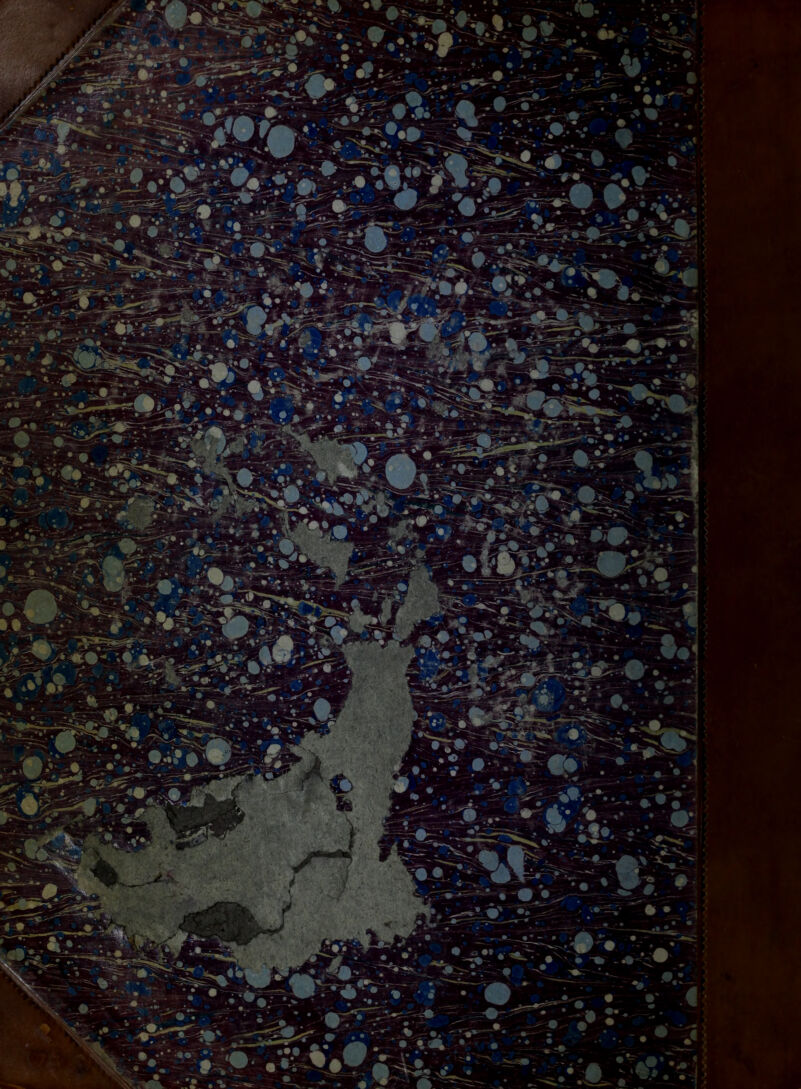 No text description is available for this image