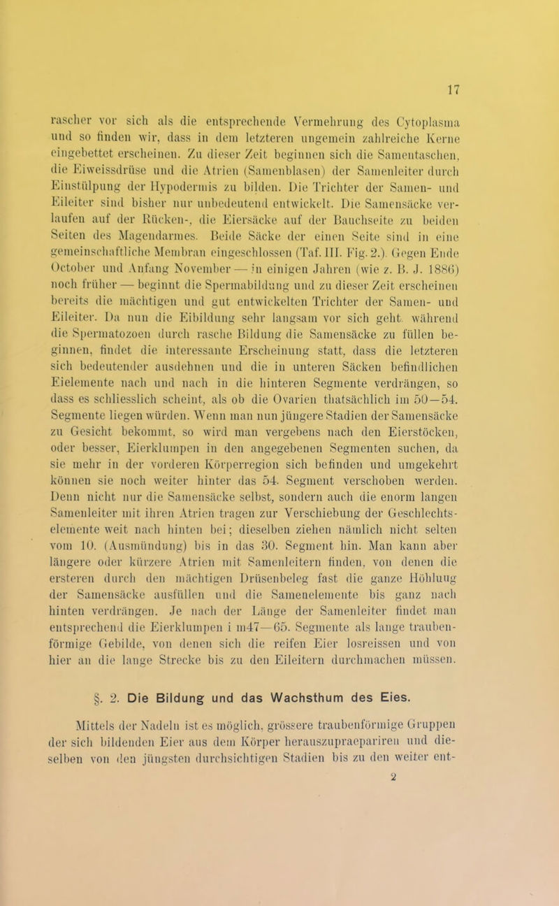 rascher vor sich als die entsprechende Vermehrung des Cytoplasma und so linden wir, dass in dem letzteren ungemein zahlreiche Kerne eingebettet erscheinen. Zu dieser Zeit beginnen sich die Samentaschen, die Eiweissdrüse und die Atrien (Samenblasen) der Samenleiter durch Einstülpung der Hypodermis zu bilden. Die Trichter der Samen- und Eileiter sind bisher nur unbedeutend entwickelt. Die Samensäcke ver- laufen auf der Rücken-, die Eiersäcke auf der Bauchseite zu beiden Seiten des Magendarmes. Beide Säcke der einen Seite sind in eine gemeinschaftliche Membran eingeschlossen (Taf. III. Fig. 2.). Gegen Ende October und Anfang November — in einigen Jahren (wie z. B. J. 188(5) noch früher — beginnt die Spermabildung und zu dieser Zeit erscheinen bereits die mächtigen und gut entwickelten Trichter der Samen- und Eileiter. Da nun die Eibildung sehr langsam vor sich geht, während die Spermatozoen durch rasche Bildung die Samensäcke zu füllen be- ginnen, findet die interessante Erscheinung statt, dass die letzteren sich bedeutender ausdehnen und die in unteren Säcken befindlichen Eielemente nach und nach in die hinteren Segmente verdrängen, so dass es schliesslich scheint, als ob die Ovarien thatsächlich im 50—54. Segmente liegen würden. Wenn man nun jüngere Stadien der Samensäcke zu Gesicht bekommt, so wird man vergebens nach den Eierstöcken, oder besser, Eierklumpen in den angegebenen Segmenten suchen, da sie mehr in der vorderen Körperregion sich befinden und umgekehrt können sie noch weiter hinter das 54. Segment verschoben werden. Denn nicht nur die Samensäcke selbst, sondern auch die enorm langen Samenleiter mit ihren Atrien tragen zur Verschiebung der Geschlechts- elemente weit nach hinten bei; dieselben ziehen nämlich nicht selten vom 10. (Ausmündung) bis in das 30. Segment hin. Man kann aber längere oder kürzere Atrien mit Samenleitern finden, von denen die ersteren durch den mächtigen Drüsenbeleg fast die ganze Höhlung der Samensäcke ausfüllen und die Samenelemente bis ganz nach hinten verdrängen. Je nach der Länge der Samenleiter findet man entsprechend die Eierklumpen i m47—G5. Segmente als lange trauben- förmige Gebilde, von denen sich die reifen Eier losreissen und von hier an die lange Strecke bis zu den Eileitern durchmachen müssen. §. 2. Die Bildung und das Wachsthum des Eies. Mittels der Nadeln ist es möglich, grössere traubenförmige Gruppen der sich bildenden Eier aus dem Körper herauszupraepariren und die- selben von den jüngsten durchsichtigen Stadien bis zu den weiter ent- 2